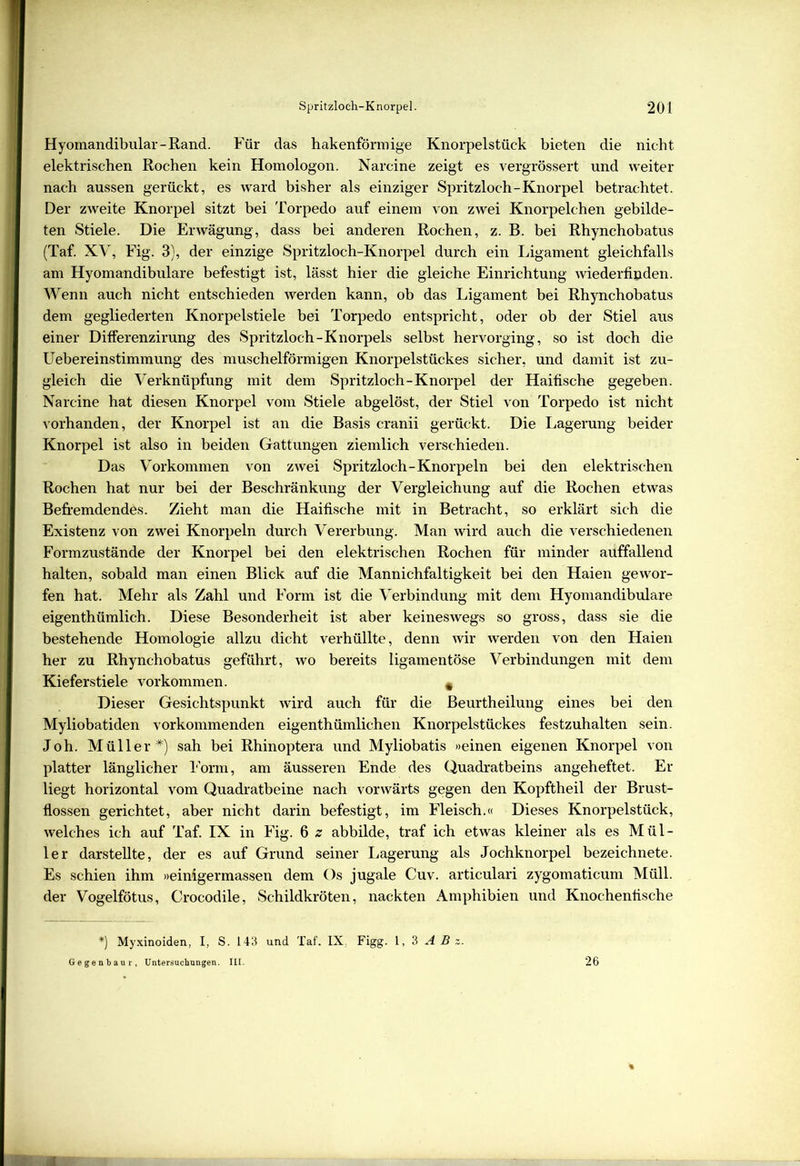 Hyomandibular-Rand. Für das hakenförmige Knorpelstück bieten die nicht elektrischen Rochen kein Homologon. Narcine zeigt es vergrössert und weiter nach aussen gerückt, es ward bisher als einziger Spritzloch-Knorpel betrachtet. Der zweite Knorpel sitzt bei Torpedo auf einem von zwei Knorpelchen gebilde- ten Stiele. Die Erwägung, dass bei anderen Rochen, z. B. bei Rhynchobatus (Taf. XV, Fig. 3), der einzige Spritzloch-Knorpel durch ein Ligament gleichfalls am Hyomandibulare befestigt ist, lässt hier die gleiche Einrichtung wiederfinden. Wenn auch nicht entschieden werden kann, ob das Ligament bei Rhynchobatus dem gegliederten Knorpelstiele bei Torpedo entspricht, oder ob der Stiel aus einer Differenzirung des Spritzloch-Knorpels selbst hervorging, so ist doch die Uebereinstimmung des muschelförmigen Knorpelstückes sicher, und damit ist zu- gleich die Verknüpfung mit dem Spritzloch-Knorpel der Haifische gegeben. Narcine hat diesen Knorpel vom Stiele abgelöst, der Stiel von Torpedo ist nicht vorhanden, der Knorpel ist an die Basis cranii gerückt. Die Lagerung beider Knorpel ist also in beiden Gattungen ziemlich verschieden. Das Vorkommen von zwei Spritzloch-Knorpeln bei den elektrischen Rochen hat nur bei der Beschränkung der Vergleichung auf die Rochen etwas Befremdendes. Zieht man die Haifische mit in Betracht, so erklärt sich die Existenz von zwei Knorpeln durch Vererbung. Man wird auch die verschiedenen Formzustände der Knorpel bei den elektrischen Rochen für minder auffallend halten, sobald man einen Blick auf die Mannichfaltigkeit bei den Haien gewor- fen hat. Mehr als Zahl und Form ist die Verbindung mit dem Hyomandibulare eigenthümlich. Diese Besonderheit ist aber keineswegs so gross, dass sie die bestehende Homologie allzu dicht verhüllte, denn wir werden von den Haien her zu Rhynchobatus geführt, wo bereits ligamentöse Verbindungen mit dem Kieferstiele Vorkommen. c Dieser Gesichtspunkt wird auch für die Beurtheilung eines bei den Myliobatiden vorkommenden eigenthümlichen Knorpelstückes festzuhalten sein. Joh. Müller*) sah bei Rhinoptera und Myliobatis »einen eigenen Knorpel von platter länglicher Form, am äusseren Ende des Quadratbeins angeheftet. Er liegt horizontal vom Quadratbeine nach vorwärts gegen den Kopftheil der Brust- flossen gerichtet, aber nicht darin befestigt, im Fleisch.« Dieses Knorpelstück, welches ich auf Taf. IX in Fig. 6 z abbilde, traf ich etwas kleiner als es Mül- ler darstellte, der es auf Grund seiner Lagerung als Jochknorpel bezeichnete. Es schien ihm »einigermassen dem Os jugale Cuv. articulari zygomaticum Müll, der Vogelfötus, Crocodile, Schildkröten, nackten Amphibien und Knochenfische *) Myxinoiden, I, S. 143 und Taf. IX. Figg. 1, 3 A B z. Gegenbant, Untersuchungen. III. 26