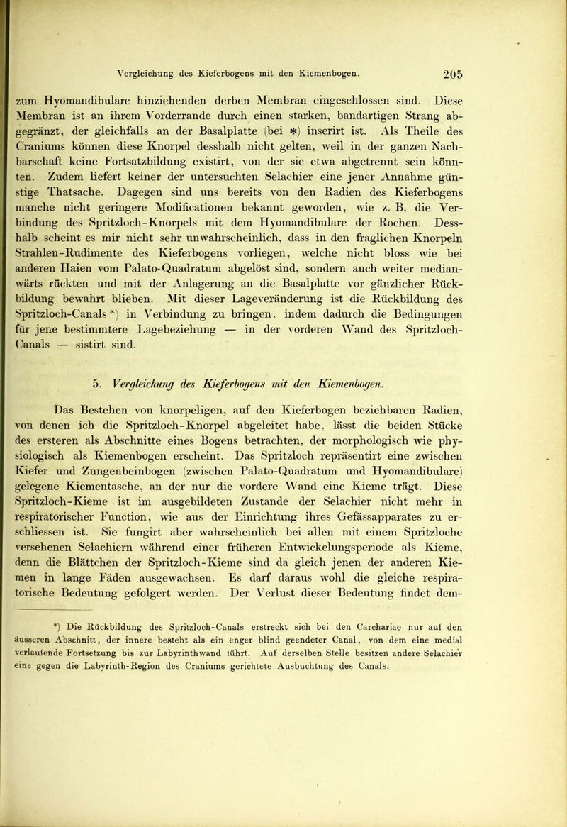 zum Hyomandibulare hinziehenden derben Membran eingeschlossen sind. Diese Membran ist an ihrem Vorderrande durch einen starken, bandartigen Strang ab- gegränzt, der gleichfalls an der Basalplatte (bei *) inserirt ist. Als Theile des Craniums können diese Knorpel desshalb nicht gelten, weil in der ganzen Nach- barschaft keine Fortsatzbildung existirt, von der sie etwa abgetrennt sein könn- ten. Zudem liefert keiner der untersuchten Selachier eine jener Annahme gün- stige Thatsache. Dagegen sind uns bereits von den Radien des Kieferbogens manche nicht geringere Modificationen bekannt geworden, wie z. B, die Ver- bindung des Spritzloch-Knorpels mit dem Hyomandibulare der Rochen. Dess- halb scheint es mir nicht sehr unwahrscheinlich, dass in den fraglichen Knorpeln Strahlen-Rudimente des Kieferbogens vorliegen, welche nicht bloss wie bei anderen Haien vom Palato-Quadratum abgelöst sind, sondern auch weiter median- wärts rückten und mit der Anlagerung an die Basalplatte vor gänzlicher Rück- bildung bewahrt blieben. Mit dieser Lageveränderung ist die Rückbildung des Spritzloch-Canals *) in Verbindung zu bringen, indem dadurch die Bedingungen für jene bestimmtere Lagebeziehung — in der vorderen Wand des Spritzloch- Canals — sistirt sind. 5. Vergleichung des Kieferbogens mit den Kiemenbogen. Das Bestehen von knorpeligen, auf den Kieferbogen beziehbaren Radien, von denen ich die Spritzloch-Knorpel abgeleitet habe, lässt die beiden Stücke des ersteren als Abschnitte eines Bogens betrachten, der morphologisch wie phy- siologisch als Kiemenbogen erscheint. Das Spritzloch repräsentirt eine zwischen Kiefer und Zungenbeinbogen (zwischen Palato-Quadratum und Hyomandibulare) gelegene Kiementasche, an der nur die vordere Wand eine Kieme trägt. Diese Spritzloch-Kieme ist im ausgebildeten Zustande der Selachier nicht mehr in respiratorischer Function, wie aus der Einrichtung ihres Gefässapparates zu er- schliessen ist. Sie fungirt aber wahrscheinlich bei allen mit einem Spritzloche versehenen Selachiern während einer früheren Entwickelungsperiode als Kieme, denn die Blättchen der Spritzloch-Kieme sind da gleich jenen der anderen Kie- men in lange Fäden ausgewachsen. Es darf daraus wohl die gleiche respira- torische Bedeutung gefolgert werden. Der Verlust dieser Bedeutung findet dem- *) Die Rückbildung des Spritzloch-Canals erstreckt sich bei den Carchariae nur auf den äusseren Abschnitt, der innere besteht als ein enger blind geendeter Canal, von dem eine medial verlaufende Fortsetzung bis zur Labyrinthwand führt. Auf derselben Stelle besitzen andere Selachier eine gegen die Labyrinth-Region des Craniums gerichtete Ausbuchtung des Canals.