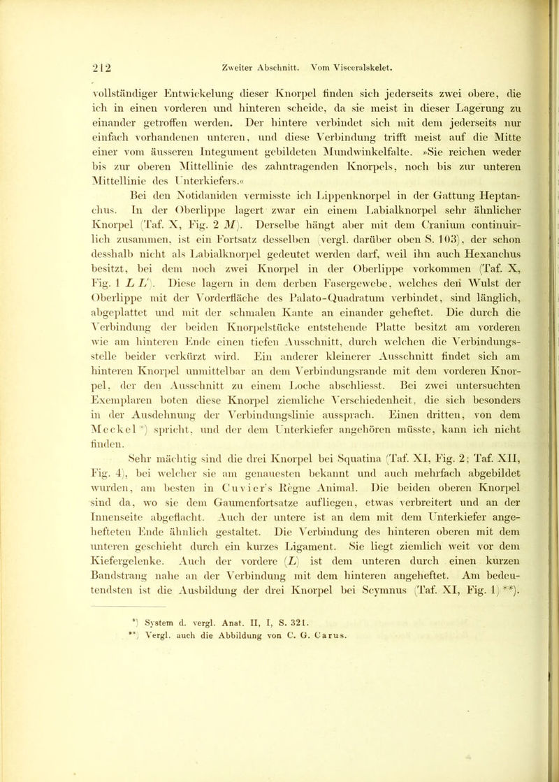vollständiger Entwickelung dieser Knorpel finden sich jederseits zwei obere, die ich in einen vorderen und hinteren scheide, da sie meist in dieser Lagerung zu einander getroffen werden. Der hintere verbindet sich mit dem jederseits nur einfach vorhandenen unteren, und diese Verbindung trifft meist auf die Mitte einer vom äusseren Integument gebildeten Mundwinkelfalte. »Sie reichen weder bis zur oberen Mittellinie des zahn tragenden Knorpels, noch bis zur unteren Mittellinie des Unterkiefers.« Bei den Notidaniden vermisste ich Lippenknorpel in der Gattung Heptan- chus. In der Oberlippe lagert zwar ein einem Labialknorpel sehr ähnlicher Knorpel (Taf. X, Fig. 2 M). Derselbe hängt aber mit dem Cranium continuir- lich zusammen, ist ein Fortsatz desselben vergl. darüber oben S. 103), der schon desshalb nicht als Labialknorpel gedeutet werden darf, weil ihn auch Hexanchus besitzt, bei dem noch zwei Knorpel in der Oberlippe Vorkommen (Taf. X, Fig. 1 L L). Diese lagern in dem derben Fasergewebe, welches den Wulst der Oberlippe mit der Vorderfläche des Palato-Quadratum verbindet, sind länglich, abgeplattet und mit der schmalen Kante an einander geheftet. Die durch die Verbindung der beiden Knorpelstücke entstehende Platte besitzt am vorderen wie am hinteren Ende einen tiefen Ausschnitt, durch welchen die Verbindungs- stelle beider verkürzt wird. Ein anderer kleinerer Ausschnitt findet sich am hinteren Knorpel unmittelbar an dem Verbindungsrande mit dem vorderen Knor- pel, der den Ausschnitt zu einem Loche abschliesst. Bei zwei untersuchten Exemplaren boten diese Knorpel ziemliche Verschiedenheit, die sich besonders in der Ausdehnung der Verbindungslinie aussprach. Einen dritten, von dem Meckel } spricht, und der dem Unterkiefer angehören müsste, kann ich nicht finden. Sehr mächtig sind die drei Knorpel bei Squatina (Taf. XI, Fig. 2; Taf. XII, Fig. 4), bei welcher sie am genauesten bekannt und auch mehrfach abgebildet wurden, am besten in Cuvier’s Regne Animal. Die beiden oberen Knorpel -sind da, wo sie dem Gaumenfortsatze auf liegen, etwas verbreitert und an der Innenseite abgeflacht. Auch der untere ist an dem mit dem Unterkiefer ange- hefteten Ende ähnlich gestaltet. Die Verbindung des hinteren oberen mit dem unteren geschieht durch ein kurzes Ligament. Sie liegt ziemlich weit vor dem Kiefergelenke. Auch der vordere (L) ist dem unteren durch einen kurzen Bandstrang nahe an der Verbindung mit dem hinteren angeheftet. Am bedeu- tendsten ist die Ausbildung der drei Knorpel bei Scymnus (Taf. XI, Fig. 1 j ##). *) System d. vergl. Anat. II, I, S. 321. **; Vergl. auch die Abbildung von C. G. Caru
