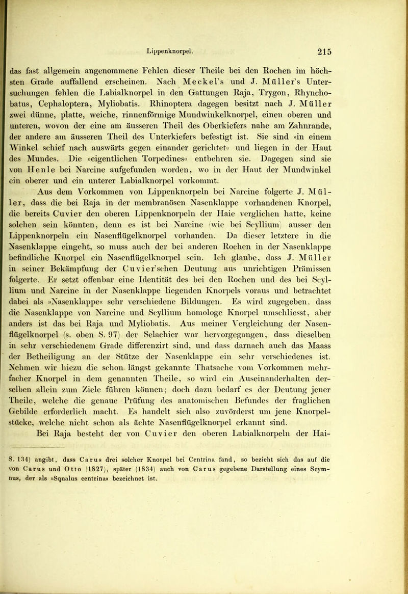 das fast allgemein angenommene Fehlen dieser Theile bei den Rochen im höch- sten Grade auffallend erscheinen. Nach Meckel’s und J. Müller’s Unter- suchungen fehlen die Labialknorpel in den Gattungen Raja, Trygon, Rhyncho- batus, Cephaloptera, Myliohatis. Rhinoptera dagegen besitzt nach J. Müller zwei dünne, platte, weiche, rinnenförmige Mundwinkelknorpel, einen oberen und unteren, wovon der eine am äusseren Theil des Oberkiefers nahe am Zahnrande, der andere am äusseren Theil des Unterkiefers befestigt ist. Sie sind »in einem Winkel schief nach auswärts gegen einander gerichtet« und liegen in der Haut des Mundes. Die »eigentlichen Torpedines« entbehren sie. Dagegen sind sie von He nie bei Narcine aufgefunden worden, wo in der Haut der Mundwinkel ein oberer und ein unterer Labialknorpel vorkommt. Aus dem Vorkommen von Lippenknorpeln bei Narcine folgerte J. Mül- ler, dass die bei Raja in der membranösen Nasenklappe vorhandenen Knorpel, die bereits Cuvier den oberen Lippenknorpeln der Haie verglichen hatte, keine solchen sein könnten, denn es ist bei Narcine (wie bei Scyllium) ausser den Lippenknorpeln ein Nasenflügelknorpel vorhanden. Da dieser letztere in die Nasenklappe eingeht, so muss auch der bei anderen Rochen in der Nasenklappe befindliche Knorpel ein Nasenflügelknorpel sein. Ich glaube, dass J. Müller in seiner Bekämpfung der Cu vier’sehen Deutung aus unrichtigen Prämissen folgerte. Er setzt offenbar eine Identität des bei den Rochen und des hei Scyl- lium und Narcine in der Nasenklappe liegenden Knorpels voraus und betrachtet dabei als »Nasenklappe« sehr verschiedene Bildungen. Es wird zugegeben, dass die Nasenklappe von Narcine und Scyllium homologe Knorpel umschliesst, aber anders ist das bei Raja und Myliobatis. Aus meiner Vergleichung der Nasen- flügelknorpel (s. oben S. 97) der Selachier war hervorgegangen, dass dieselben in sehr verschiedenem Grade differenzirt sind, und dass darnach auch das Maass der Betheiligung an der Stütze der Nasenklappe ein sehr verschiedenes ist. Nehmen wir hiezu die schon längst gekannte Thatsache vom Vorkommen mehr- facher Knorpel in dem genannten Theile, so wird ein Auseinanderhalten der- selben allein zum Ziele führen können; doch dazu bedarf es der Deutung jener Theile, welche die genaue Prüfung des anatomischen Befundes der fraglichen Gebilde erforderlich macht. Es handelt sich also zuvörderst um jene Knorpel- stücke, welche nicht schon als ächte Nasenflügelknorpel erkannt sind. Bei Raja besteht der von Cuvier den oberen Labialknorpeln der Hai- S. 134) angibt, dass Carus drei solcher Knorpel bei Centrina fand, so bezieht sich das auf die von Carus und Otto (1827), später (1834) auch von Carus gegebene Darstellung eines Scym- nus, der als »Squalus centrina« bezeichnet ist.