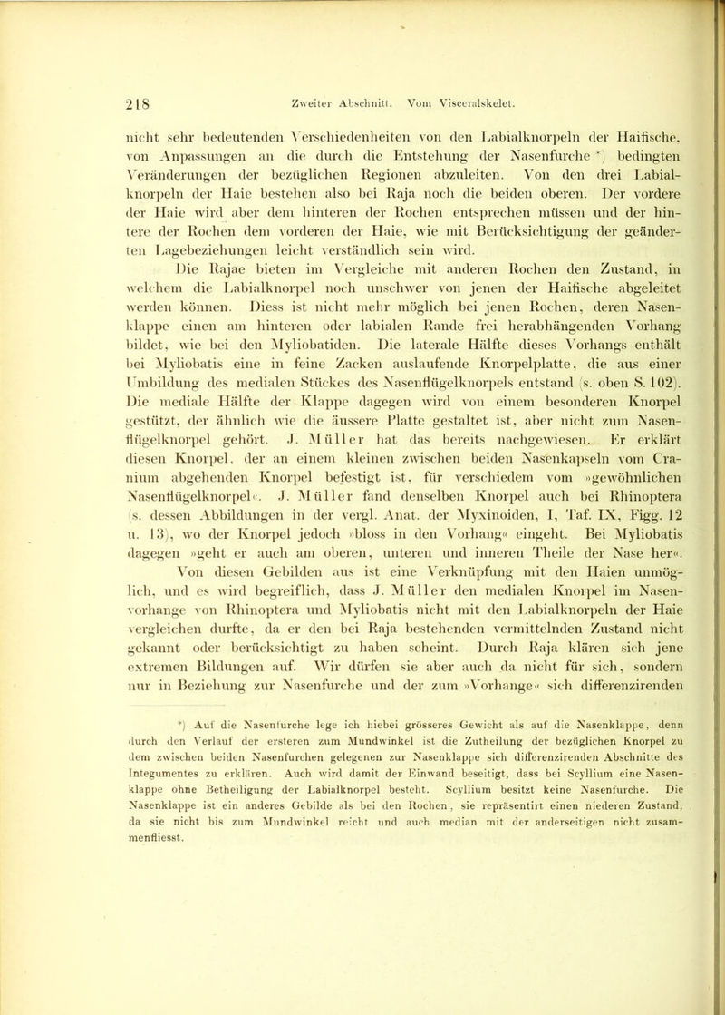 nicht sehr bedeutenden Verschiedenheiten von den Labialknorpeln der Haifische, von Anpassungen an die durch die Entstehung der Nasenfurche#) bedingten Veränderungen der bezüglichen Regionen abzuleiten. Von den drei Labial- knorpeln der Haie bestehen also bei Raja noch die beiden oberen. Der vordere der Haie wird aber dem hinteren der Rochen entsprechen müssen und der hin- tere der Rochen dem vorderen der Haie, wie mit Berücksichtigung der geänder- ten Lagebeziehungen leicht verständlich sein wird. Die Rajae bieten im Vergleiche mit anderen Rochen den Zustand, in welchem die Labialknorpel noch unschwer von jenen der Haifische abgeleitet werden können. Diess ist nicht mehr möglich bei jenen Rochen, deren Nasen- klappe einen am hinteren oder labialen Rande frei herabhängenden Vorhang bildet, wie bei den Myliobatiden. Die laterale Hälfte dieses Vorhangs enthält bei Myliobatis eine in feine Zacken auslaufende Knorpelplatte, die aus einer Umbildung des medialen Stückes des Nasenflügelknorpels entstand (s. oben S. 102). Die mediale Hälfte der Klappe dagegen wird von einem besonderen Knorpel gestützt, der ähnlich wie die äussere Platte gestaltet ist, aber nicht zum Nasen- flügelknorpel gehört. J. Müller hat das bereits nachgewiesen. Er erklärt diesen Knorpel, der an einem kleinen zwischen beiden Nasenkapseln vom Cra- nium abgehenden Knorpel befestigt ist, für verschiedem vom »gewöhnlichen Nasenflügelknorpel«. J. Müller fand denselben Knorpel auch bei Rhinoptera (s. dessen Abbildungen in der vergl. Anat. der Myxinoiden, I, Taf. IX, Figg. 12 u. 13), wo der Knorpel jedoch »bloss in den Vorhang« eingeht. Bei Myliobatis dagegen »geht er auch am oberen, unteren und inneren Theile der Nase her«. Von diesen Gebilden aus ist eine Verknüpfung mit den Haien unmög- lich, und es wird begreiflich, dass J. Müller den medialen Knorpel im Nasen- vorhange von Rhinoptera und Myliobatis nicht mit den Labialknorpeln der Haie vergleichen durfte, da er den bei Raja bestehenden vermittelnden Zustand nicht gekannt oder berücksichtigt zu haben scheint. Durch Raja klären sich jene extremen Bildungen auf. Wir dürfen sie aber auch da nicht für sich, sondern nur in Beziehung zur Nasenfurche und der zum »Vorhänge« sich differenzirenden *) Auf die Nasenfurche lege ich hiebei grösseres Gewicht als auf die Nasenklappe, denn durch den Verlauf der ersteren zum Mundwinkel ist die Zutheilung der bezüglichen Knorpel zu dem zwischen beiden Nasenfurchen gelegenen zur Nasenklappe sich differenzirenden Abschnitte des Integumentes zu erklären. Auch wird damit der Einwand beseitigt, dass bei Scyllium eine Nasen- klappe ohne Betheiligung der Labialknorpel besteht. Scyllium besitzt keine Nasenfurche. Die Nasenklappe ist ein anderes Gebilde als bei den Rochen , sie repräsentirt einen niederen Zustand, da sie nicht bis zum Mundwinkel reicht und auch median mit der anderseitigen nicht zusam- menfliesst.