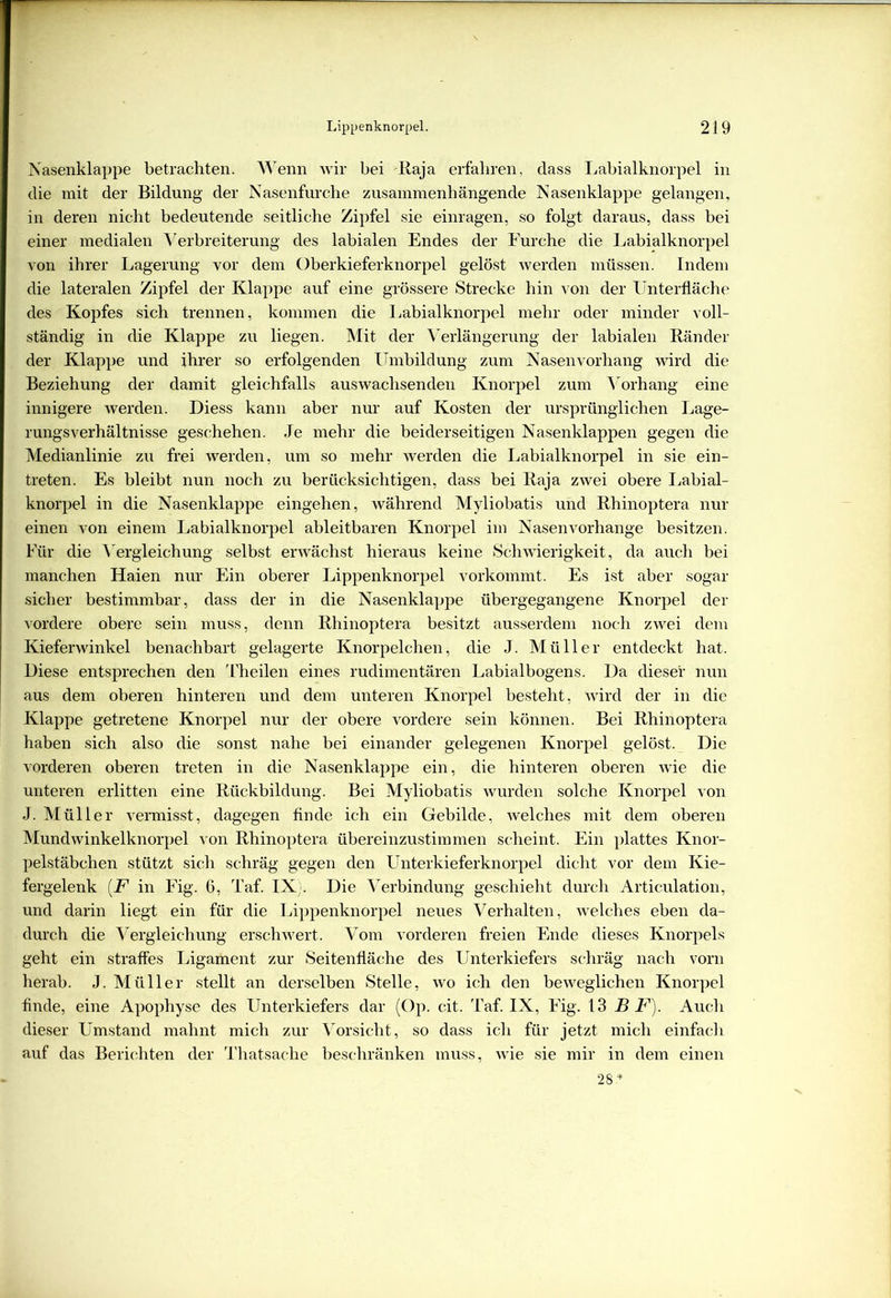 Nasenklappe betrachten. Wenn wir bei -Raja erfahren, dass Labialknorpel in die mit der Bildung der Nasenfurche zusammenhängende Nasenklappe gelangen, in deren nicht bedeutende seitliche Zipfel sie einragen, so folgt daraus, dass bei einer medialen Verbreiterung des labialen Endes der Furche die Labialknorpel von ihrer Lagerung vor dem Oberkieferknorpel gelöst werden müssen. Indem die lateralen Zipfel der Klappe auf eine grössere Strecke hin von der Unterfläche des Kopfes sich trennen, kommen die Labialknorpel mehr oder minder voll- ständig in die Klappe zu liegen. Mit der Verlängerung der labialen Ränder der Klappe und ihrer so erfolgenden Umbildung zum Nasen Vorhang wird die Beziehung der damit gleichfalls auswachsenden Knorpel zum Vorhang eine innigere werden. Diess kann aber nur auf Kosten der ursprünglichen Lage- rungsverhältnisse geschehen. Je mehr die beiderseitigen Nasenklappen gegen die Medianlinie zu frei werden, um so mehr werden die Labialknorpel in sie ein- treten. Es bleibt nun noch zu berücksichtigen, dass bei Raja zwei obere Labial- knorpel in die Nasenklappe eingehen, während Myliobatis und Rhinoptera nur einen von einem Labialknorpel ableitbaren Knorpel im Nasen vorhange besitzen. Für die Vergleichung selbst erwächst hieraus keine Schwierigkeit, da auch bei manchen Haien nur Ein oberer Lippenknorpel vorkommt. Es ist aber sogar sicher bestimmbar, dass der in die Nasenklappe übergegangene Knorpel der vordere obere sein muss, denn Rhinoptera besitzt ausserdem noch zwei dem Kieferwinkel benachbart gelagerte Knorpelchen, die J. Müller entdeckt hat. Diese entsprechen den Theilen eines rudimentären Labialbogens. Da dieser nun aus dem oberen hinteren und dem unteren Knorpel besteht, wird der in die Klappe getretene Knorpel nur der obere vordere sein können. Bei Rhinoptera haben sich also die sonst nahe bei einander gelegenen Knorpel gelöst. Die vorderen oberen treten in die Nasenklappe ein, die hinteren oberen wie die unteren erlitten eine Rückbildung. Bei Myliobatis wurden solche Knorpel von J. Müller vermisst, dagegen finde ich ein Gebilde, welches mit dem oberen Mundwinkelknorpel von Rhinoptera übereinzustimmen scheint. Ein plattes Knor- pelstäbchen stützt sich schräg gegen den Unterkieferknorpel dicht vor dem Kie- fergelenk [F in Fig. 6, Taf. IX;. Die Verbindung geschieht durch Articulation, und darin liegt ein für die Lippenknorpel neues Verhalten, welches eben da- durch die Vergleichung erschwert. Vom vorderen freien Ende dieses Knorpels geht ein straffes Ligament zur Seitenfläche des Unterkiefers schräg nach vorn herab. J. Müller stellt an derselben Stelle, wo ich den beweglichen Knorpel finde, eine Apophyse des Unterkiefers dar (Op. cit. Taf. IX, Fig. 13 BF). Auch dieser Umstand mahnt mich zur Vorsicht, so dass ich für jetzt mich einfach auf das Berichten der Thatsache beschränken muss, wie sie mir in dem einen 28 *