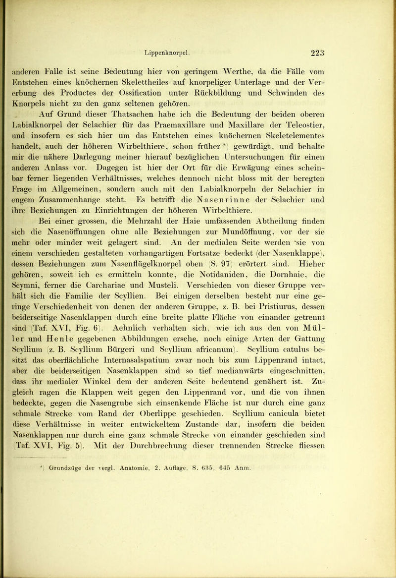 anderen Falle ist seine Bedeutung hier von geringem Werthe, da die Fälle vom Entstehen eines knöchernen Skelettheiles auf knorpeliger Unterlage und der Ver- erbung des Productes der Ossification unter Rückbildung und Schwinden des Knorpels nicht zu den ganz seltenen gehören. Auf Grund dieser Thatsachen habe ich die Bedeutung der beiden oberen Labialknorpel der Selachier für das Praemaxillare und Maxillare der Teleostier, und insofern es sich hier um das Entstehen eines knöchernen Skeletelementes handelt, auch der höheren Wirbelthiere, schon früher*) gewürdigt, und behalte mir die nähere Darlegung meiner hierauf bezüglichen Untersuchungen für einen anderen Anlass vor. Dagegen ist hier der Ort für die Erwägung eines schein- bar ferner liegenden Verhältnisses, welches dennoch nicht bloss mit der heregten Frage im Allgemeinen, sondern auch mit den Labialknorpeln der Selachier in engem Zusammenhänge steht. Es betrifft die Nasen rinne der Selachier und ihre Beziehungen zu Einrichtungen der höheren Wirbelthiere. Bei einer grossen, die Mehrzahl der Haie umfassenden Abtheilung finden sich die Nasenöffnungen ohne alle Beziehungen zur M undöffnung, vor der sie mehr oder minder weit gelagert sind. An der medialen Seite werden ‘sie von einem verschieden gestalteten vorhangartigen Fortsatze bedeckt (der Nasenklappe), dessen Beziehungen zum Nasenflügelknorpel oben (S. 97) erörtert sind. Hieher gehören, soweit ich es ermitteln konnte, die Notidaniden, die Dornhaie, die Scymni, ferner die Carchariae und Musteli. Verschieden von dieser Gruppe ver- hält sich die Familie der Scyllien. Bei einigen derselben besteht nur eine ge- ringe Verschiedenheit von denen der anderen Gruppe, z. B. bei Pristiurus, dessen beiderseitige Nasenklappen durch eine breite platte Fläche von einander getrennt sind (Taf. XVI, Fig. 6). Aehnlich verhalten sich, wie ich aus den von Mül- ler und He nie gegebenen Abbildungen ersehe, noch einige Arten der Gattung Scyllium (z. B. Scyllium Bürgeri und Scyllium africanum). Scyllium catulus be- sitzt das oberflächliche Internasalspatium zwar noch bis zum Lippenrand intact, aber die beiderseitigen Nasenklappen sind so tief medianwärts eingeschnitten, dass ihr medialer Winkel dem der anderen Seite bedeutend genähert ist. Zu- gleich ragen die Klappen weit gegen den Lippenrand vor, und die von ihnen bedeckte, gegen die Nasengrube sich einsenkende Fläche ist nur durch eine ganz schmale Strecke vom Rand der Oberlippe geschieden. Scyllium canicula bietet diese Verhältnisse in weiter entwickeltem Zustande dar, insofern die beiden Nasenklappen nur durch eine ganz schmale Strecke von einander geschieden sind Taf. XVI, Fig. 5). Mit der Durchbrechung dieser trennenden Strecke fliessen *) Grundzüge der vergl. Anatomie, 2. Auflage, S. 635, 645 Anm.