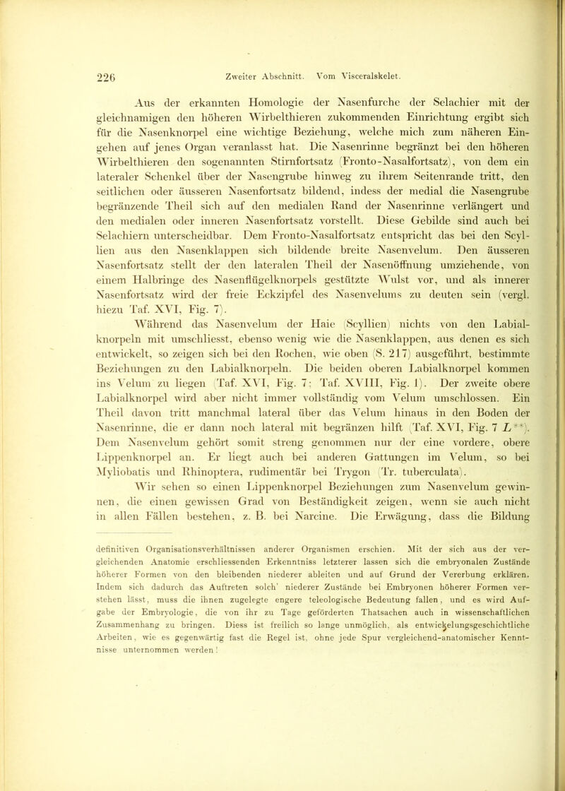 Aus der erkannten Homologie der Nasenfurche der Selachier mit der gleichnamigen den höheren Wirbelthieren zukommenden Einrichtung ergibt sich für die Nasenknorpel eine wichtige Beziehung, welche mich zum näheren Ein- gehen auf jenes Organ veranlasst hat. Die Nasenrinne begränzt hei den höheren Wirbelthieren den sogenannten Stirnfortsatz (Fronto-Nasalfortsatz), von dem ein lateraler Schenkel über der Nasengrube hinweg zu ihrem Seitenrande tritt, den seitlichen oder äusseren Nasenfortsatz bildend, indess der medial die Nasengrube begränzende Theil sich auf den medialen Band der Nasenrinne verlängert und den medialen oder inneren Nasenfortsatz vorstellt. Diese Gebilde sind auch bei Selachiern unterscheidbar. Dem Fronto-Nasalfortsatz entspricht das bei den Scyl- lien aus den Nasenklappen sich bildende breite Nasenvelum. Den äusseren Nasenfortsatz stellt der den lateralen Theil der Nasenöffnung umziehende, von einem Halbringe des Nasenflügelknorpels gestützte Wulst vor, und als innerer Nasenfortsatz wird der freie Eckzipfel des Nasenvelum s zu deuten sein (vergl. hiezu Taf. XVI, Fig. 7). Während das Nasenvelum der Haie (Scyllien) nichts von den Labial- knorpeln mit umscliliesst, ebenso wenig wie die Nasenklappen, aus denen es sich entwickelt, so zeigen sich bei den Kochen, wie oben (S. 217) ausgeführt, bestimmte Beziehungen zu den Labialknorpeln. Die beiden oberen Labialknorpel kommen ins Velum zu liegen (Taf. XVI, Fig. 7: Taf. XVIII, Fig. 1). Der zweite obere Labialknorpel wird aber nicht immer vollständig vom Velum umschlossen. Ein Theil davon tritt manchmal lateral über das Velum hinaus in den Boden der Nasenrinne, die er dann noch lateral mit begränzen hilft (Taf. XVI, Fig. 7 L . Dem Nasenvelum gehört somit streng genommen nur der eine vordere, obere Lippenknorpel an. Er liegt auch bei anderen Gattungen im Velum, so bei Myliobatis und Rhinoptera, rudimentär bei Trygon Tr. tuberculata). Wir sehen so einen Lippenknorpel Beziehungen zum Nasenvelum gewin- nen, die einen gewissen Grad von Beständigkeit zeigen, wenn sie auch nicht in allen Fällen bestehen, z. B. bei Narcine. Die Erwägung, dass die Bildung definitiven Organisationsverhältnissen anderer Organismen erschien. Mit der sich aus der ver- gleichenden Anatomie erschliessenden Erkenntniss letzterer lassen sich die embryonalen Zustände höherer Formen von den bleibenden niederer ableiten und auf Grund der Vererbung erklären. Indem sich dadurch das Auftreten solch’ niederer Zustände bei Embryonen höherer Formen ver- stehen lässt, muss die ihnen zugelegte engere teleologische Bedeutung fallen, und es wird Auf- gabe der Embryologie, die von ihr zu Tage geförderten Thatsachen auch in wissenschaftlichen Zusammenhang zu bringen. Diess ist freilich so lange unmöglich, als entwicljelungsgeschichtliche Arbeiten, wie es gegenwärtig fast die Regel ist, ohne jede Spur vergleichend-anatomischer Kennt- nisse unternommen werden!