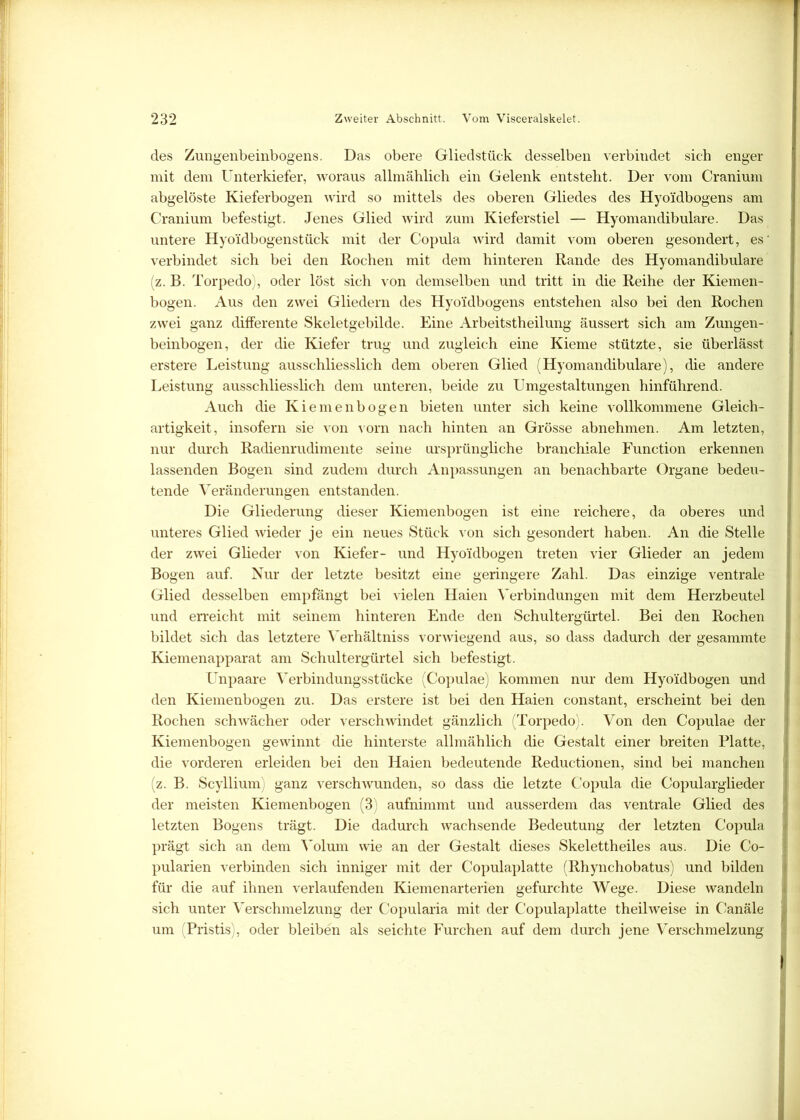 des Zungenbeinbogens. Das obere Gliedstück desselben verbindet sich enger mit dem Unterkiefer, woraus allmählich ein Gelenk entsteht. Der vom Cranium abgelöste Kieferbogen wird so mittels des oberen Gliedes des Hyo'idbogens am Cranium befestigt. Jenes Glied wird zum Kieferstiel — Hyomandibulare. Das untere Hyoidbogenstiick mit der Copula wird damit vom oberen gesondert, es' verbindet sich bei den Rochen mit dem hinteren Rande des Hyomandibulare (z. B. Torpedo), oder löst sich von demselben und tritt in die Reihe der Kiemen- bogen. Aus den zwei Gliedern des Hyo'idbogens entstehen also bei den Rochen zwei ganz differente Skeletgebilde. Eine Arbeitstheilung äussert sich am Zungen- beinbogen, der die Kiefer trug und zugleich eine Kieme stützte, sie überlässt erstere Leistung ausschliesslich dem oberen Glied (Hyomandibulare), die andere Leistung ausschliesslich dem unteren, beide zu Umgestaltungen hinführend. Auch die Kiemenbogen bieten unter sich keine vollkommene Gleich- artigkeit, insofern sie von vorn nach hinten an Grösse abnehmen. Am letzten, nur durch Radienrudimente seine ursprüngliche branchiale Function erkennen lassenden Bogen sind zudem durch Anpassungen an benachbarte Organe bedeu- tende Veränderungen entstanden. Die Gliederung dieser Kiemenbogen ist eine reichere, da oberes und unteres Glied wieder je ein neues Stück von sich gesondert haben. An die Stelle der zwei Glieder von Kiefer- und Hyoidbogen treten vier Glieder an jedem Bogen auf. Nur der letzte besitzt eine geringere Zahl. Das einzige ventrale Glied desselben empfängt bei vielen Haien Verbindungen mit dem Herzbeutel und erreicht mit seinem hinteren Ende den Schultergürtel. Bei den Rochen bildet sich das letztere Verhältnis vorwiegend aus, so dass dadurch der gesammte Kiemenapparat am Schultergürtel sich befestigt. Unpaare Verbindungsstücke (Copulae) kommen nur dem Hyoidbogen und den Kiemenbogen zu. Das erstere ist bei den Haien constant, erscheint bei den Rochen schwächer oder verschwindet gänzlich (Torpedo). Von den Copulae der Kiemenbogen gewinnt die hinterste allmählich die Gestalt einer breiten Platte, die vorderen erleiden bei den Haien bedeutende Reductionen, sind bei manchen (z. B. Scyllium) ganz verschwunden, so dass die letzte Copula die Copularglieder der meisten Kiemenbogen (3) aufnimmt und ausserdem das ventrale Glied des letzten Bogens trägt. Die dadurch wachsende Bedeutung der letzten Copula prägt sich an dem Volum wie an der Gestalt dieses Skelettheiles aus. Die Co- pularien verbinden sich inniger mit der Copulaplatte (Rhynchobatus) und bilden für die auf ihnen verlaufenden Kiemenarterien gefurchte Wege. Diese wandeln sich unter Verschmelzung der Copularia mit der Copulaplatte theilweise in Canäle um (Pristis), oder bleiben als seichte Furchen auf dem durch jene Verschmelzung