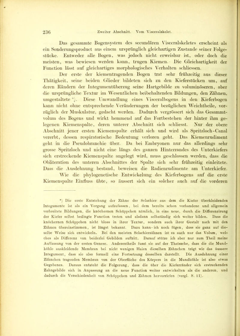 Das gesammte Bogensystem des secundären Visceralskeletes erscheint als ein Sonderungsproduct aus einem ursprünglich gleichartigen Zustande seiner Folge- stücke. Entweder alle Bogen, was jedoch nicht erweisbar ist, oder doch die meisten, was bewiesen werden kann, trugen Kiemen. Die Gleichartigkeit der Function lässt auf gleichartiges morphologisches Verhalten schliessen. Der erste der kiementragenden Bogen trat sehr frühzeitig aus dieser Thätigkeit, seine beiden Glieder bildeten sich zu den Kieferstücken um, auf deren Bändern der Integumentüberzug seine Hartgebilde zu voluminöseren, aber die ursprüngliche Textur im Wesentlichen beibehaltenden Bildungen, den Zähnen, umgestaltete *). Diese Umwandlung eines Visceralbogens in den Kieferbogen kann nicht ohne entsprechende Veränderungen der bezüglichen Weichtheile, vor- züglich der Muskulatur, gedacht werden. Dadurch vergrössert sich das Gesammt- volum des Bogens und wirkt hemmend auf das Fortbestehen der hinter ihm ge- legenen Kiemenspalte, deren unterer Abschnitt sich schliesst. Nur der obere Abschnitt jener ersten Kiemenspalte erhält sich und wird als Spritzloch-Canal vererbt, dessen respiratorische Bedeutung verloren geht. Das Kiemenrudiment geht in die Pseudobranchie über. Da bei Embryonen nur das allerdings sehr grosse Spritzloch und nicht eine längs des ganzen Hinterrandes des Unterkiefers sich erstreckende Kiemenspalte angelegt wird, muss geschlossen werden, dass die Obliteration des unteren Abschnittes der Spalte sich sehr frühzeitig einleitete. Dass die Ausdehnung bestand, beweisen die Radienrudimente am Unterkiefer. Wie die phylogenetische Entwickelung des Kieferbogens auf die erste Kiemenspalte Einfluss übte, so äussert sich ein solcher auch auf die vorderen *) Die erste Entstehung der Zähne der Selachier aus dem die Kiefer überkleidenden Integumente ist als ein Vorgang aufzufassen, bei dem bereits schon vorhandene und allgemein verbreitete Bildungen, die knöchernen Schüppchen nämlich, in eine neue, durch die Differenzirung der Kiefer selbst bedingte Function treten und alsdann selbständig sich weiter bilden. Dass die knöchernen Schüppchen nicht bloss in ihrer Textur, sondern auch ihrer Gestalt nach mit den Zähnen übereinstimmen, ist längst bekannt. Dazu kann» ich noch fügen, dass sie ganz auf die- selbe Weise sich entwickeln. Bei den meisten Selachierzähnen ist es auch nur das Volum, wel- ches als Differenz von beiderlei Gebilden auftritt. Darauf stütze ich aber nur zum Theil meine Auffassung von der ersten Genese. Anderentheils fusst sie auf der Thatsache, dass die die Mund- höhle auskleidende Membran bei nicht wenigen Haien dieselben Zähnchen trägt wie das äussere Integument, dass sie also formell eine Fortsetzung desselben darstellt. Die Ausdehnung einer Zähnchen tragenden Membran von der Oberfläche des Körpers in die Mundhöhle ist also etwas Gegebenes. Daraus entsteht die Folgerung, dass die über die Kieferränder sich erstreckenden Zahngebilde sich in Anpassung an die neue Function weiter entwickelten als die anderen, und dadurch die Verschiedenheit von Schüppchen und Zähnen hervorriefen (vergl. S. 11).