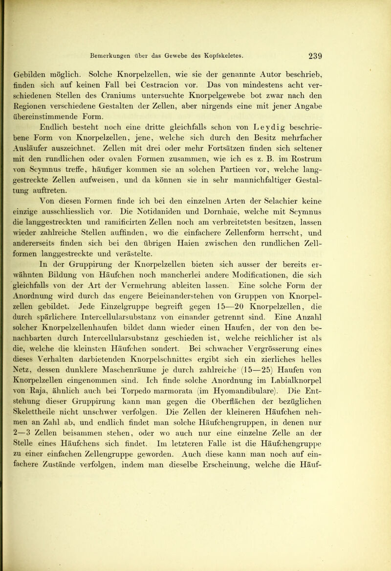 Gebilden möglich. Solche Knorpelzellen, wie sie der genannte Autor beschrieb, finden sich auf keinen Fall bei Cestracion vor. Das von mindestens acht ver- schiedenen Stellen des Craniums untersuchte Knorpelgewebe bot zwar nach den Regionen verschiedene Gestalten der Zellen, aber nirgends eine mit jener Angabe übereinstimmende Form. Endlich besteht noch eine dritte gleichfalls schon von Leydig beschrie- bene Form von Knorpelzellen, jene, welche sich durch den Besitz mehrfacher Ausläufer auszeichnet. Zellen mit drei oder mehr Fortsätzen finden sich seltener mit den rundlichen oder ovalen Formen zusammen, wie ich es z. B. im Bostrum von Scymnus treffe, häufiger kommen sie an solchen Partieen vor, welche lang- gestreckte Zellen aufweisen, und da können sie in sehr mannichfaltiger Gestal- tung auftreten. Von diesen Formen finde ich bei den einzelnen Arten der Selachier keine einzige ausschliesslich vor. Die Notidaniden und Dornhaie, welche mit Scymnus die langgestreckten und ramificirten Zellen noch am verbreitetsten besitzen, lassen wieder zahlreiche Stellen auffinden, wo die einfachere Zellenform herrscht, und andererseits finden sich bei den übrigen Haien zwischen den rundlichen Zell- formen langgestreckte und verästelte. In der Gruppirung der Knorpelzellen bieten sich ausser der bereits er- wähnten Bildung von Häufchen noch mancherlei andere Modificationen, die sich gleichfalls von der Art der Vermehrung ableiten lassen. Eine solche Form der Anordnung wird durch das engere Beieinanderstehen von Gruppen von Knorpel- zellen gebildet. Jede Einzelgruppe begreift gegen 15—20 Knorpelzellen, die durch spärlichere. Intercellularsubstanz von einander getrennt sind. Eine Anzahl solcher Knorpelzellenhaufen bildet dann wieder einen Haufen, der von den be- nachbarten durch Intercellularsubstanz geschieden ist, welche reichlicher ist als die, welche die kleinsten Häufchen sondert. Bei schwacher Vergrösserung eines dieses Verhalten darbietenden Knorpelschnittes ergibt sich ein zierliches helles Netz, dessen dunklere Maschenräume je durch zahlreiche (15—25) Haufen von Knorpelzellen eingenommen sind. Ich finde solche Anordnung im Labialknorpel von Raja, ähnlich auch bei Torpedo marmorata (im Hyomandibulare). Die Ent- stehung dieser Gruppirung kann man gegen die Oberflächen der bezüglichen Skelettheile nicht unschwer verfolgen. Die Zellen der kleineren Häufchen neh- men an Zahl ab, und endlich findet man solche Häufchengruppen, in denen nur 2—3 Zellen beisammen stehen, oder wo auch nur eine einzelne Zelle an der Stelle eines Häufchens sich findet. Im letzteren Falle ist die Häufchengruppe zu einer einfachen Zellengruppe geworden. Auch diese kann man noch auf ein- fachere Zustände verfolgen, indem man dieselbe Erscheinung, welche die Häuf-