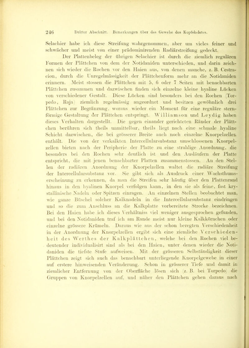 Selachier habe ich diese Streifung wahrgenommen, aber um vieles feiner und schwächer und meist von einer prädominirenden Radiärstreifung gedeckt. Der Plattenbeleg der übrigen Selachier ist durch die ziemlich regulären Formen der Plättchen von dem der Notidaniden unterschieden, und darin zeich- nen sich wieder die Rochen vor den Haien aus, von denen manche, z. B. Cestra- cion, durch die Unregelmässigkeit der Plättchenform mehr an die Notidaniden erinnern. Meist stossen die Plättchen mit 5, 6 oder 7 Seiten mit benachbarten Plättchen zusammen und dazwischen finden sich einzelne kleine hyaline Lücken von verschiedener Gestalt. Diese Lücken sind besonders bei den Rochen (Tor- pedo, Raja) ziemlich regelmässig angeordnet und besitzen gewöhnlich drei Plättchen zur Begränzung, woraus wieder ein Moment für eine reguläre stern- förmige Gestaltung der Plättchen entspringt. Williamson und Leydig haben dieses Verhalten dargestellt. Die gegen einander gerichteten Ränder der Plätt- chen berühren sich theils unmittelbar, theils liegt noch eine schmale hyaline Schicht dazwischen, die bei grösserer Breite auch noch einzelne Knorpelzellen enthält. Die von der verkalkten Intercellularsubstanz umschlossenen Knorpel- zellen bieten nach der Peripherie der Platte zu eine strahlige Anordnung, die besonders bei den Rochen sehr deutlich ist und den Ausläufern der Platte entspricht, die mit jenen benachbarter Platten zusammenstossen. An den Stel- len der radiären Anordnung der Knorpelzellen waltet die radiäre Streifung der Intercellularsubstanz vor. Sie gibt sich als Ausdruck einer Wachsthums- erscheinung zu erkennen, da man die Streifen sehr häufig über den Plattenrand hinaus in den hyalinen Knorpel verfolgen kann, in den sie als feine, fast kry- stallinische Nadeln oder Spitzen einragen. An einzelnen Stellen beobachtet man, wie ganze Büschel solcher Kalknadeln in die Intercellularsubstanz eindringen und so die zum Anschluss an die Kalkplatte vorbereitete Strecke bezeichnen. Bei den Haien habe ich dieses Yerhältniss viel weniger ausgesprochen gefunden, und bei den Notidaniden traf ich am Rande meist nur kleine Kalkkörnchen oder einzelne grössere Krümeln. Daraus wie aus der schon beregten Verschiedenheit in der Anordnung der Knorpelzellen ergibt sich eine ziemliche Verschieden- heit des Werthes der Kalkplättchen, welche bei den Rochen viel be- deutender individualisirt sind als bei den Haien, unter denen wieder die Noti- I daniden die tiefste Stufe aufweisen. Mit der grösseren Selbständigkeit dieser Plättchen zeigt sich auch das benachbart unterliegende Knorpelgewebe in einer auf erstere hinweisenden Veränderung. Schon in grösserer Tiefe und damit in ziemlicher Entfernung von der Oberfläche lösen sich (z. B. bei Torpedo) die 1 Gruppen von Knorpelzellen auf, und näher den Plättchen gehen daraus nach I