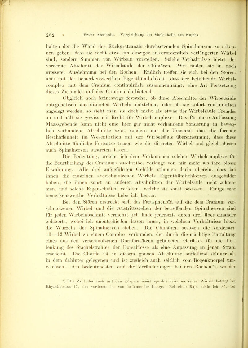 halten der die Wand des Rückgratcanals durchsetzenden Spinalnerven zu erken- nen geben, dass sie nicht etwa ein einziger ausserordentlich verlängerter Wirbel sind, sondern Summen von Wirbeln vorstellen. Solche Verhältnisse bietet der vorderste Abschnitt der Wirbelsäule der Chimären. Wir finden sie in noch grösserer Ausdehnung bei den Rochen. Endlich treffen sie sich bei den Stören, aber mit der bemerkenswerthen Eigenthümlichkeit, dass der betreffende Wirbel- complex mit dem Cranium continuirlich zusammenhängt, eine Art Fortsetzung dieses Zustandes auf das Cranium darbietend. Obgleich noch keineswegs feststeht, ob diese Abschnitte der Wirbelsäule ontogenetisch aus discreten Wirbeln entstehen, oder ob sie sofort continuirlich angelegt werden, so sieht man sie doch nicht als etwas der Wirbelsäule Fremdes an und hält sie gewiss mit Recht für Wirbelcomplexe. Das für diese Auffassung Maassgebende kann nicht eine hier gar nicht vorhandene Sonderung in beweg- lich verbundene Abschnitte sein, sondern nur der Umstand, dass die formale Beschaffenheit im Wesentlichen mit der Wirbelsäule übereinstimmt, dass diese Abschnitte ähnliche Fortsätze tragen wie die discreten Wirbel und gleich diesen auch Spinalnerven austreten lassen. Die Bedeutung, welche ich dem Vorkommen solcher Wirbelcomplexe für die Beurtheilung des Graniums zuschreibe, verlangt von mir mehr als ihre blosse Erwähnung. Alle drei aufgeführten Gebilde stimmen darin überein, dass bei ihnen die einzelnen »verschmolzenen Wirbel« Eigentümlichkeiten ausgebildet haben, die ihnen sonst an anderen Abschnitten der Wirbelsäule nicht zukom- men, und solche Eigenschaften verloren, welche sie sonst besassen. Einige sehr bemerkenswerte Verhältnisse hebe ich hervor. Bei den Stören erstreckt sich das Paraspheno'id auf die dem Cranium ver- schmolzenen Wirbel und die Aüstrittsstellen der betreffenden Spinalnerven sind für jeden Wirbelabschnitt vermehrt (ich finde jederseits deren drei über einander gelagert, wobei ich unentschieden lassen muss, in welchem Verhältnisse hiezu die Wurzeln der Spinalnerven stehen. Die Chimären besitzen die vordersten 10—12 Wirbel zu einem Complex verbunden, der durch die mächtige Entfaltung eines aus den verschmolzenen Dornfortsätzen gebildeten Gerüstes für die Ein- lenkung des Stachelstrahles der Dorsalflosse als eine Anpassung an jenen Strahl erscheint. Die Chorda ist in diesem ganzen Abschnitte auffallend dünner als in dem dahinter gelegenen und ist zugleich auch seitlich vom Bogenknorpel um- wachsen. Am bedeutendsten sind die Veränderungen bei den Rochen *), wo der r Die Zahl der auch mit den Körpern meist spurlos verschmolzenen Wirbel beträgt bei Rhynchobatus 17. der vorderste ist von bedeutender Länge. Bei einer Raja zähle ich 35, bei