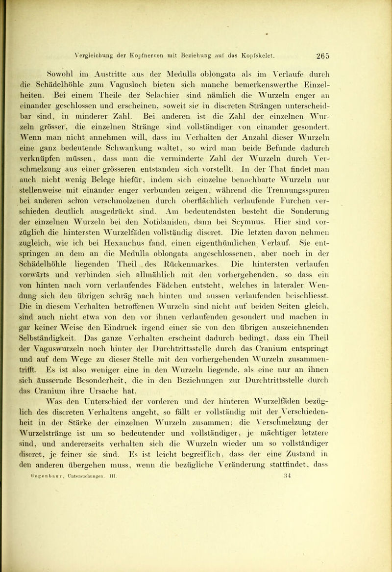 Sowohl im Austritte aus der Medulla oblongata als im Verlaufe durch die Schädelhöhle zum Yagusloeh bieten sich manche bemerkenswerthe Einzel- heiten. Bei einem Theile der Selachier sind nämlich die Wurzeln enger an einander geschlossen und erscheinen, soweit sie' in discreten Strängen unterscheid- bar sind, in minderer Zahl. Bei anderen ist die Zahl der einzelnen Wur- zeln grösser, die einzelnen Stränge sind vollständiger von einander gesondert. Wenn man nicht annehmen will, dass im Verhalten der Anzahl dieser Wurzeln eine ganz bedeutende Schwankung waltet, so wird man beide Befunde dadurch verknüpfen müssen, dass man die verminderte Zahl der Wurzeln durch Ver- schmelzung aus einer grösseren entstanden sich vorstellt. In der That findet man auch nicht wenig Belege hiefür, indem sich einzelne benachbarte Wurzeln nur stellenweise mit einander enger verbunden zeigen, während die Trennungsspuren bei anderen schon verschmolzenen durch oberflächlich verlaufende Furchen ver- schieden deutlich ausgedrückt sind. Am bedeutendsten besteht die Sonderung der einzelnen Wurzeln bei den Notidaniden, dann bei Scymnus. Hier sind vor- züglich die hintersten Wurzelfäden vollständig discret. Die letzten davon nehmen zugleich, wie ich bei Hexanchus fand, einen eigentümlichen Verlauf. Sie ent- springen an dem an die Medulla oblongata angeschlossenen, aber noch in der Schädelhöhle liegenden Theil des Rückenmarkes. Die hintersten verlaufen vorwärts und verbinden sich allmählich mit den vorhergehenden, so dass ein von hinten nach vorn verlaufendes Fädchen entsteht, welches in lateraler Wen- dung sich den übrigen schräg nach hinten und aussen verlaufenden beischliesst. Die in diesem Verhalten betroffenen Wurzeln sind nicht auf beiden Seiten gleich, sind auch nicht etwa von den vor ihnen verlaufenden gesondert und machen in gar keiner Weise den Eindruck irgend einer sie von den übrigen auszeichnenden Selbständigkeit. Das ganze Verhalten erscheint dadurch bedingt, dass ein Theil der Vaguswurzeln noch hinter der Durchtrittsstelle durch das Cranium entspringt und auf dem Wege zu dieser Stelle mit den vorhergehenden Wurzeln zusammen- trifft. Es ist also weniger eine in den Wurzeln liegende, als eine nur an ihnen sich äussernde Besonderheit, die in den Beziehungen zur Durchtrittsstelle durch das Cranium ihre Ursache hat. Was den Unterschied der vorderen und der hinteren Wurzelfäden bezüg- lich des discreten Verhaltens angeht, so fällt er vollständig mit der Verschieden- heit in der Stärke der einzelnen Wurzeln zusammen; die Verschmelzung der Wurzelstränge ist um so bedeutender und vollständiger, je mächtiger letztere sind, und andererseits verhalten sich die Wurzeln wieder um so vollständiger discret, je feiner sie sind. Es ist leicht begreiflich, dass der eine Zustand in den anderen übergehen muss, wenn die bezügliche Veränderung stattfindet, dass Gegenbaur, Untersuchungen. III. 34