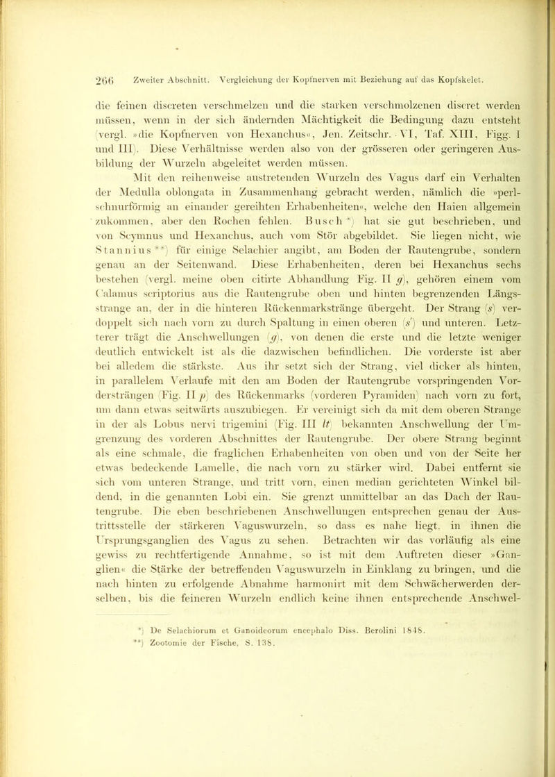 die feinen discreten verschmelzen und die starken verschmolzenen discret werden müssen, wenn in der sich ändernden Mächtigkeit die Bedingung dazu entsteht (vergl. »die Kopfnerven von Hexanchus«, Jen. Zeitschr. ■ VI, Taf. XIII, Figg. I und III . Diese Verhältnisse werden also von der grösseren oder geringeren Aus- bildung der Wurzeln abgeleitet werden müssen. Mit den reihenweise austretenden Wurzeln des Vagus darf ein Verhalten der Medulla oblongata in Zusammenhang gebracht werden, nämlich die »perl- sehnurförmig an einander gereihten Erhabenheiten«, welche den Haien allgemein zukommen, aber den Rochen fehlen. Busch *) hat sie gut beschrieben, und von Scymnus und Hexanchus, auch vom Stör abgebildet. Sie liegen nicht, wie Stannius**) für einige Selachier angibt, am Boden der Rautengrube, sondern genau an der Seitenwand. Diese Erhabenheiten, deren bei Hexanchus sechs bestehen (vergl. meine oben citirte Abhandlung Fig. II g), gehören einem vom Calamus scriptorius aus die Rautengrube oben und hinten begrenzenden Längs- strange an, der in die hinteren Rückenmarkstränge übergeht. Der Strang (s) ver- doppelt sich nach vorn zu durch Spaltung in einen oberen (s) und unteren. Letz- terer trägt die Anschwellungen (g), von denen die erste und die letzte weniger deutlich entwickelt ist als die dazwischen befindlichen. Die vorderste ist aber bei alledem die stärkste. Aus ihr setzt sich der Strang, viel dicker als hinten, in parallelem Verlaufe mit den am Boden der Rautengrube vorspringenden Vor- dersträngen (Fig. II p) des Rückenmarks (vorderen Pyramiden) nach vorn zu fort, um dann etwas seitwärts auszubiegen. Er vereinigt sich da mit dem oberen Strange in der als Lobus nervi trigemini (Fig. III It bekannten Anschwellung der Um- grenzung des vorderen Abschnittes der Rautengrube. Der obere Strang beginnt als eine schmale, die fraglichen Erhabenheiten von oben und von der Seite her etwas bedeckende Lamelle, die nach vorn zu stärker wird. Dabei entfernt sie sich vom unteren Strange, und tritt vorn, einen median gerichteten Winkel bil- dend, in die genannten Lobi ein. Sie grenzt unmittelbar an das Dach der Rau- tengrube. Die eben beschriebenen Anschwellungen entsprechen genau der Aus- trittsstelle der stärkeren Vagus wurzeln, so dass es nahe liegt, in ihnen die Ursprungsganglien des Vagus zu sehen. Betrachten wir das vorläufig als eine gewiss zu rechtfertigende Annahme, so ist mit dem Auftreten dieser »Gan- glien« die Stärke der betreffenden Vaguswurzeln in Einklang zu bringen, und die nach hinten zu erfolgende Abnahme harmonirt mit dem Schwächerwerden der- selben, bis die feineren Wurzeln endlich keine ihnen entsprechende Anschwel- *) De Selachiorum et Ganoideorum encephalo Diss. Berolini 1845. **) Zootomie der Fische, S. 138.