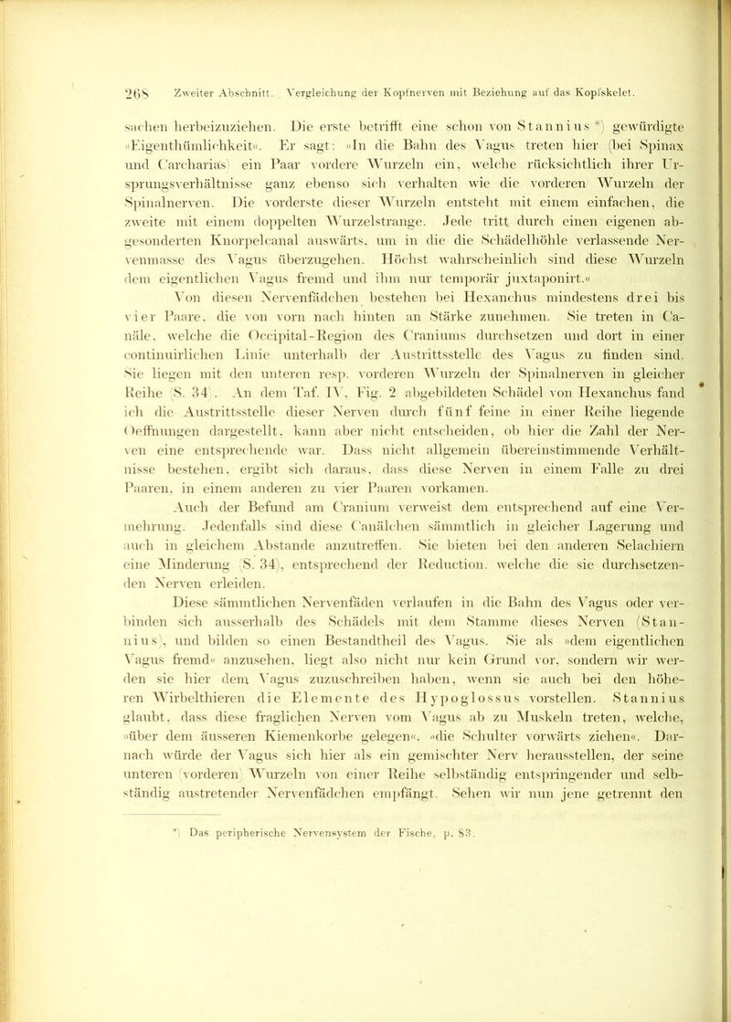 Sachen herbeizuziehen. Die erste betrifft eine schon von Stannius#) gewürdigte »Eigentümlichkeit«. Er sagt: »In die Bahn des Vagus treten hier (bei Spinax und Carcharias ein Paar vordere Wurzeln ein, welche rücksichtlich ihrer Ur- sprungsverhältnisse ganz ebenso sich verhalten wie die vorderen Wurzeln der Spinalnerven. Die vorderste dieser Wurzeln entsteht mit einem einfachen, die zweite mit einem doppelten Wurzelstrange. Jede tritt durch einen eigenen ab- gesonderten Knorpelcanal auswärts, um in die die Schädelhöhle verlassende Ner- venmasse des Vagus überzugehen. Höchst tvahrscheinlich sind diese Wurzeln dem eigentlichen Vagus fremd und ihm nur temporär juxtaponirt.« Von diesen Nervenfädchen bestehen bei Hexanchus mindestens drei bis vier Paare, die von vorn nach hinten an Stärke zunehmen. Sie treten in Ca- näle, welche die Occipital-Region des Craniums durchsetzen und dort in einer continuirlichen Linie, unterhalb der Austrittsstelle des Vagus zu finden sind. Sie liegen mit den unteren resp. vorderen Wurzeln der Spinalnerven in gleicher Reihe 'S. 34 . An dem Taf. IV, Eig. 2 abgebildeten Schädel von Hexanchus fand ich die Austrittsstelle dieser Nerven durch fünf feine in einer Reihe liegende Oeffnungen dargestellt, kann aber nicht entscheiden, ob hier die Zahl der Ner- ven eine entsprechende war. Dass nicht allgemein übereinstimmende Verhält- nisse bestehen, ergibt sich daraus, dass diese Nerven in einem Falle zu drei Paaren, in einem anderen zu vier Paaren vorkamen. Auch der Befund am Cranium verweist dem entsprechend auf eine Ver- mehrung. Jedenfalls sind diese Canälchen sämmtlich in gleicher Lagerung und auch in gleichem Abstande anzutreffen. Sie bieten bei den anderen Selachiern eine Minderung 'S. 34), entsprechend der Reduction. welche die sie durchsetzen- den Nerven erleiden. Diese sämmtlichen Nervenfäden verlaufen in die Bahn des Vagus oder ver- binden sich ausserhalb des Schädels mit dem Stamme dieses Nerven (Stan- nius , und bilden so einen Bestandteil des Vagus. Sie als »dem eigentlichen Vagus fremd« anzusehen, liegt also nicht nur kein Grund vor, sondern wir wer- den sie hier dem Vagus zuzuschreiben haben, wenn sie auch bei den höhe- ren Wirbeltieren die Elemente des Hypoglossus vorstellen. Stannius glaubt, dass diese fraglichen Nerven vom Vagus ab zu Muskeln treten, welche, »über dem äusseren Kiemenkorbe gelegen«, »die Schulter vorwärts ziehen«. Dar- nach würde der Vagus sich hier als ein gemischter Nerv herausstellen, der seine unteren vorderen Wurzeln von einer Reihe selbständig entspringender und selb- ständig austretender Nervenfädchen empfängt. Sehen wir nun jene getrennt den f) Das peripherische Nervensystem der Fische, p. 83.