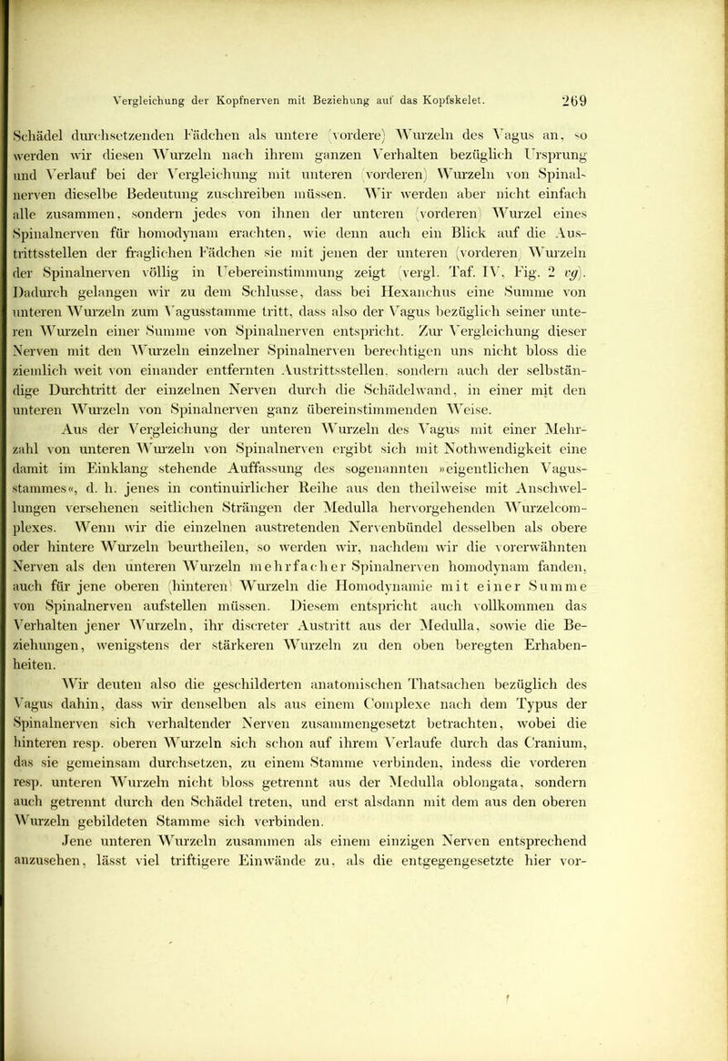 Schädel durchsetzenden Fädchen als untere 'vordere) Wurzeln des Vagus an, so werden wir diesen Wurzeln nach ihrem ganzen Verhalten bezüglich Ursprung und Verlauf bei der Vergleichung mit unteren vorderen) Wurzeln von Spinal- nerven dieselbe Bedeutung zuschreiben müssen. Wir werden aber nicht einfach alle zusammen, sondern jedes von ihnen der unteren (vorderen) Wurzel eines Spinalnerven für homodynam erachten, wie denn auch ein Blick auf die Aus- trittsstellen der fraglichen Fädchen sie mit jenen der unteren (vorderen; Wurzeln der Spinalnerven völlig in Uebereinstimmung zeigt (vergl. Taf. IV, Fig. 2 vg). Dadurch gelangen wir zu dem Schlüsse, dass bei Hexanchus eine Summe von unteren Wurzeln zum Vagusstamme tritt, dass also der Vagus bezüglich seiner unte- ren Wurzeln einer Summe von Spinalnerven entspricht. Zur Vergleichung dieser Nerven mit den Wurzeln einzelner Spinalnerven berechtigen uns nicht bloss die ziemlich weit von einander entfernten Austrittsstellen, sondern auch der selbstän- dige Durchtritt der einzelnen Nerven durch die Schädelwand, in einer mit den unteren Wurzeln von Spinalnerven ganz übereinstimmenden Weise. Aus der Vergleichung der unteren Wurzeln des Vagus mit einer Mehr- zahl von unteren Wurzeln von Spinalnerven ergibt sich mit Nothwendigkeit eine damit im Einklang stehende Auffassung des sogenannten »eigentlichen Vagus- stammes«, d. h. jenes in continuirlicher Reihe aus den theilweise mit Anschwel- lungen versehenen seitlichen Strängen der Medulla hervorgehenden Wurzelcom- plexes. Wenn wir die einzelnen austretenden Nervenbündel desselben als obere oder hintere Wurzeln beurtheilen, so werden wir, nachdem wir die vorerwähnten Nerven als den unteren Wurzeln mehrfacher Spinalnerven homodynam fanden, auch für jene oberen (hinteren; Wurzeln die Homodynamie mit einer Summe von Spinalnerven aufstellen müssen. Diesem entspricht auch vollkommen das Verhalten jener Wurzeln, ihr discreter Austritt aus der Medulla, sowie die Be- ziehungen, wenigstens der stärkeren Wurzeln zu den oben beregten Erhaben- heiten. Wir deuten also die geschilderten anatomischen Thatsachen bezüglich des Vagus dahin, dass wir denselben als aus einem Complexe nach dem Typus der Spinalnerven sich verhaltender Nerven zusammengesetzt betrachten, wobei die hinteren resp. oberen Wurzeln sich schon auf ihrem Verlaufe durch das Cranium, das sie gemeinsam durchsetzen, zu einem Stamme verbinden, indess die vorderen resp. unteren Wurzeln nicht bloss getrennt aus der Medulla oblongata, sondern auch getrennt durch den Schädel treten, und erst alsdann mit dem aus den oberen Wurzeln gebildeten Stamme sich verbinden. Jene unteren Wurzeln zusammen als einem einzigen Nerven entsprechend anzusehen, lässt viel triftigere Ein wände zu, als die entgegengesetzte hier vor- f