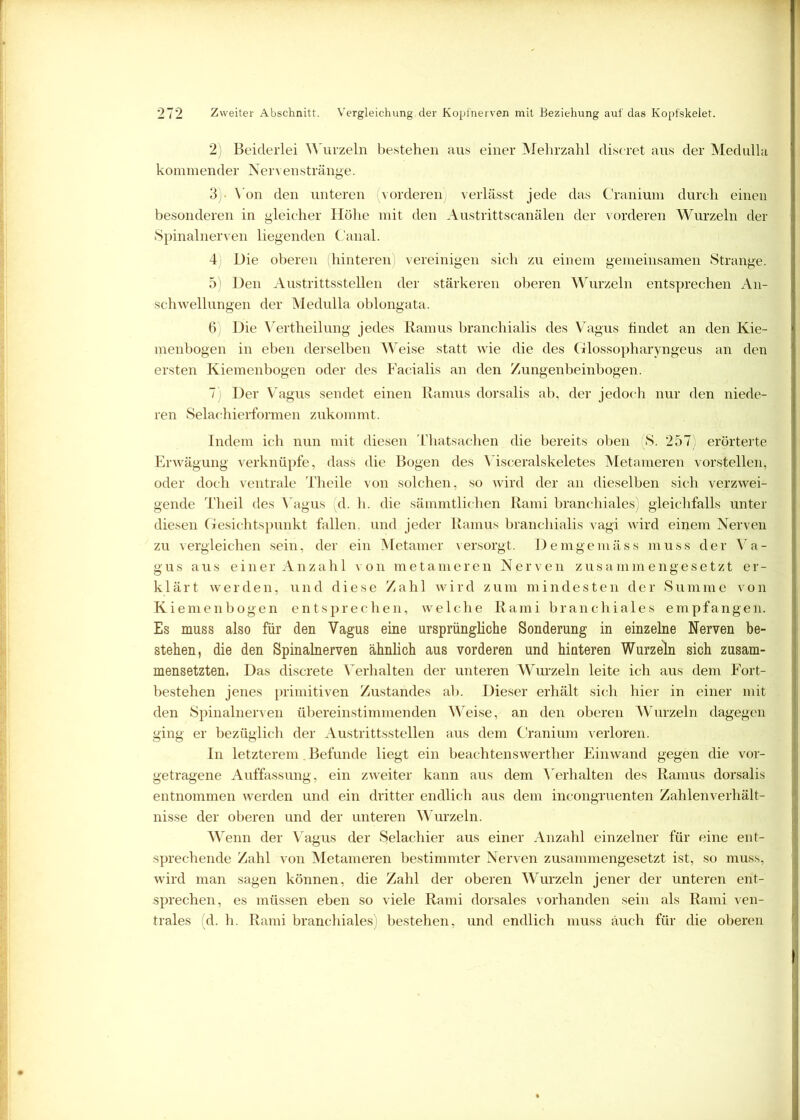 2) Beiderlei Wurzeln bestehen aus einer Mehrzahl discret aus der Medulla kommender Nervenstränge. 3) - V on den unteren (vorderen verlässt jede das Cranium durch einen besonderen in gleicher Höhe mit den Austrittscanälen der vorderen Wurzeln der Spinalnerven liegenden Canal. 4 Die oberen (hinteren) vereinigen sich zu einem gemeinsamen Strange. 5) Den Austrittsstellen der stärkeren oberen Wurzeln entsprechen An- schwellungen der Medulla oblongata. 6, Die Vertheilung jedes Ramus branchialis des Vagus findet an den Kie- menbogen in eben derselben Weise statt wie die des Glossopharyngeus an den ersten Kiemenbogen oder des Facialis an den Zungenbeinbogen. 7) Der Vagus sendet einen Ramus dorsalis ab, der jedoch nur den niede- ren Selachierformen zukommt. Indem ich nun mit diesen Tliatsachen die bereits oben (S. 257) erörterte Erwägung verknüpfe, dass die Bogen des Visceralskeletes Metameren vorstellen, oder doch ventrale Theile von solchen, so wird der an dieselben sich verzwei- gende Theil des Vagus (d. h. die sämmtlichen Rami branchiales) gleichfalls unter diesen Gesichtspunkt fallen, und jeder Ramus branchialis vagi wird einem Nerven zu vergleichen sein, der ein Metamer versorgt. Demgemäss muss der Va- gus aus einer Anzahl von metameren Nerven zusammengesetzt er- klärt werden, und diese Zahl wird zum mindesten der Summe von Kiemenbogen entsprechen, welche Rami branchiales empfangen. Es muss also für den Vagus eine ursprüngliche Sonderung in einzelne Nerven be- stehen, die den Spinalnerven ähnlich aus vorderen und hinteren Wurzeln sich zusam- mensetzten. Das discrete V erhalten der unteren Wurzeln leite ich aus dem Fort- bestehen jenes primitiven Zustandes ab. Dieser erhält sich hier in einer mit den Spinalnerven übereinstimmenden Weise, an den oberen Wurzeln dagegen ging er bezüglich der Austrittsstellen aus dem Cranium verloren. In letzterem. Befunde liegt ein beachtenswerther Einwand gegen die vor- getragene Auffassung, ein zweiter kann aus dem Verhalten des Ramus dorsalis entnommen werden und ein dritter endlich aus dem incongruenten Zahlenverhält- nisse der oberen und der unteren Wurzeln. Wenn der V agus der Selachier aus einer Anzahl einzelner für eine ent- sprechende Zahl von Metameren bestimmter Nerven zusammengesetzt ist, so muss, wird man sagen können, die Zahl der oberen Wurzeln jener der unteren ent- sprechen, es müssen eben so viele Rami dorsales vorhanden sein als Rami ven- trales (d. h. Rami branchiales) bestehen, und endlich muss auch für die oberen