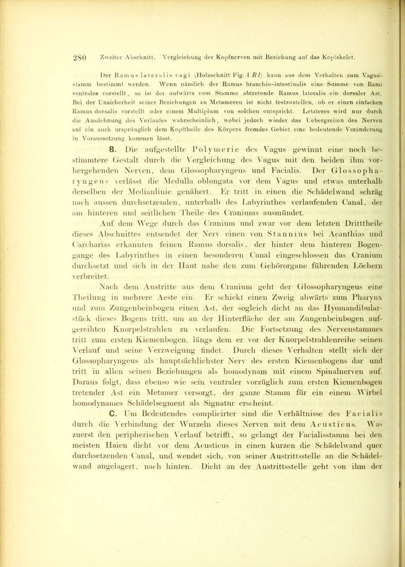 Der Ramus lateralis vagi (Holzschnitt Fig. 4 Rl) kann aus dem Verhalten zum Vagus- stamm bestimmt werden. Wenn nämlich der Ramus branchio-intestinalis eine Summe von Rami ventrales vorstellt, so ist der aufwärts vom Stamme abtretende Ramus lateralis ein dorsaler Ast. Bei der Unsicherheit seiner Beziehungen zu Metameren ist nicht festzustellen, ob er einen einfachen Ramus dorsalis vorstellt oder einem Multiplum von solchen entspricht. Letzteres wird nur durch die Ausdehnung des Verlaufes wahrscheinlich, wobei jedoch wieder das Uebergreijen des Nerven anf ein auch ursprünglich dem Kopftheile des Körpers fremdes Gebiet eine bedeutende Veränderung in Voraussetzung kommen lässt. B. Die aufgestellte Polymerie des Vagus gewinnt eine noch be- stimmtere Gestalt durch die Vergleichung des Vagus mit den beiden ihm vor- hergehenden Nerven, dem Glossopharyngeus und Facialis. Der Glossopha- ryngeus verlässt die Medulla oblongata vor dem Vagus und etwas unterhalb derselben der Medianlinie genähert. Er tritt in einen die Schädelwand schräg nach aussen durchsetzenden, unterhalb des Labyrinthes verlaufenden Canal, der am hinteren und seitlichen Theile des Craniums ausmündet. Auf dem Wege durch das Cranium und zwar vor dem letzten Dritttheile dieses Abschnittes entsendet der Nerv einen von Stannius bei Acanthias und Oarcharias erkannten feinen Ramus dorsalis. der hinter dem hinteren Bogen- gänge des Labyrinthes in einen besonderen Canal eingeschlossen das Cranium durchsetzt und sich in der Haut nahe den zum Gehörorgane führenden Löchern verbreitet. Nach dem Austritte aus dem Cranium geht der Glossopharyngeus eine Theilung in mehrere Aeste ein. Er schickt einen Zweig abwärts zum Pharynx und zum Zungenbeinbogen einen Ast, der sogleich dicht an das Hyomandibular- stück dieses Bogens tritt, um an der Hinterfläche der am Zungenbeinbogen auf- gereihten Knorpelstrahlen zu verlaufen. Die Fortsetzung des Nervenstammes tritt zum ersten Kiemenbogen, längs dem er vor der Knorpelstrahlenreihe seinen Verlauf und seine Verzweigung findet. Durch dieses Verhalten stellt sich der Glossopharyngeus als hauptsächlichster Nerv des ersten Kiemenbogens dar und tritt in allen seinen Beziehungen als homodynam mit einem Spinalnerven auf. Daraus folgt, dass ebenso wie sein ventraler vorzüglich zum ersten Kiemenbogen tretender Ast ein Metamer versorgt, der ganze Stamm für ein einem Wirbel homodynames Schädelsegment als Signatur' erscheint. C. Um Bedeutendes complicirter sind die Verhältnisse des Facialis durch die Verbindung der Wurzeln dieses Nerven mit dem Acusticus. Was zuerst den peripherischen Verlauf betrifft, so gelangt der Facialisstamm bei den meisten Haien dicht vor dem Acusticus in einen kurzen die Schädelwand quer durchsetzenden Canal, und wendet sich, von seiner Austrittsstelle an die Schädel- wand angelagert, nach hinten. Dicht an der Austrittsstelle geht von ihm der