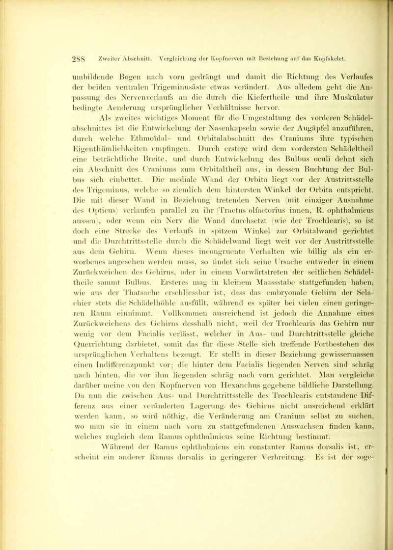 umbildende Bogen nach vorn gedrängt und damit die Richtung des Verlaufes der beiden ventralen Trigeminusäste etwas verändert. Aus alledem geht die An- passung des Nerven Verlaufs an die durch die Kiefertheile und ihre Muskulatur bedingte Aenderung ursprünglicher Verhältnisse hervor. Als zweites wichtiges Moment für die Umgestaltung des vorderen Schädel- abschnittes ist die Entwickelung der Nasenkapseln sowie der Augäpfel anzuführen, durch welche Ethmoidal- und Orbitalabschnitt des Craniums ihre typischen Eigenthümlichkeiten empfingen. Durch erstere wird dem vordersten Schädeltheil eine beträchtliche Breite, und durch Entwickelung des Bulbus oculi dehnt sich ein Abschnitt des Craniums zum Orbitaltheil aus, in dessen Buchtung der Bul- bus sich einbettet. Die mediale Wand der Orbita liegt vor der Austrittsstelle des Trigeminus, welche so ziemlich dem hintersten Winkel der Orbita entspricht. Die mit dieser Wand in Beziehung tretenden Nerven (mit einziger Ausnahme des Opticus) verlaufen parallel zu ihr (Tractus olfactorius innen, R. ophthalmicus aussen), oder wenn ein Nerv die Wand durchsetzt (wie der Trochlearis), so ist doch eine Strecke des Verlaufs in spitzem Winkel zur Orbitalwand gerichtet und die Durchtrittsstelle durch die Schädel wand liegt weit vor der Austrittsstelle aus dem Gehirn. Wenn dieses incongruente Verhalten Avie billig als ein er- worbenes angesehen werden muss, so findet sich seine Ursache entweder in einem Zurück weichen des Gehirns, oder in einem Vorwärtstreten der seitlichen Schädel- theile sammt Bulbus. Ersteres mag in kleinem Maassstabe stattgefunden haben, Avie aus der Thatsache erschliessbar ist, dass das embryonale Gehirn der Sela- chier stets die Schädelhöhle ausfüllt, während es später bei vielen einen geringe- ren Raum einnimmt. Vollkommen ausreichend ist jedoch die Annahme eines Zurückweichens des Gehirns desshalb nicht, Aveil der Trochlearis das Gehirn nur wenig vor dem Facialis verlässt, welcher in Aus- und Durchtrittsstelle gleiche Querrichtung darbietet, somit das für diese Stelle sich treffende Fortbestehen des ursprünglichen Verhaltens bezeugt. Er stellt in dieser Beziehung gewissermassen einen Indifferenzpunkt vor; die hinter dem Facialis liegenden Nerven sind schräg nach hinten, die vor ihm liegenden schräg nach vorn gerichtet. Man vergleiche darüber meine von den Kopfnerven von Hexanchus gegebene bildliche Darstellung. Da nun die zwischen Aus- und Durchtrittsstelle des Trochlearis entstandene Dif- ferenz aus einer veränderten Lagerung, des Gehirns nicht ausreichend erklärt werden kann, so wird nöthig, die Veränderung am Cranium selbst zu suchen, avo man sie in einem nach vorn zu stattgefundenen Auswachsen finden kann, Avelches zugleich dem Ramus ophthalmicus seine Richtung bestimmt. Während der Ramus ophthalmicus ein constanter Ramus dorsalis ist, er- scheint ein anderer Ramus dorsalis in geringerer Verbreitung. Es ist der söge-
