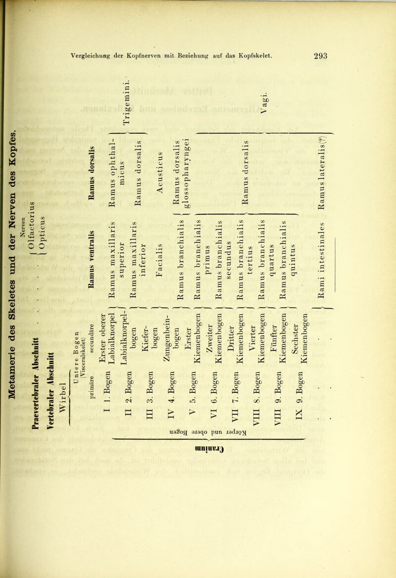 ui JD ft o M £ ü d g u « h * 45 '■£ 0 ( PH •ü o o *0 § ui o o o 02 ■ ( eö tn «2 'gj qq bß 02 ,d cö <c ce d CÖ rü 02 a> fti ü 05 k- H ET o, d ° 2 O T* a? rS «Ö ^ d5 o rö 3 a US 2 05 p_, g C CO 2 a S <! d «2 g 05 a cö CÖ pq cö o pq bß cö pq X 3 x o 2 * d .0) öC^oj o öS PO Tn I d Ö d 92 d O) tu gl , -rt oß u bß bß gd id^d _§ Ö o £ g d o d d o) -ps -2 ^ ^ S iS g S? § — ö .«? ^ M rQ °PrO pq s ■3 u « ö ■'S h-2 §P PQ bß o pq £3 bß o pq N3 d CD bß o pq d D bß O pq d a> bß o pq 4 * H B B * uoSog a.iaqo pun .ladio^j IIIIIIIIIM)