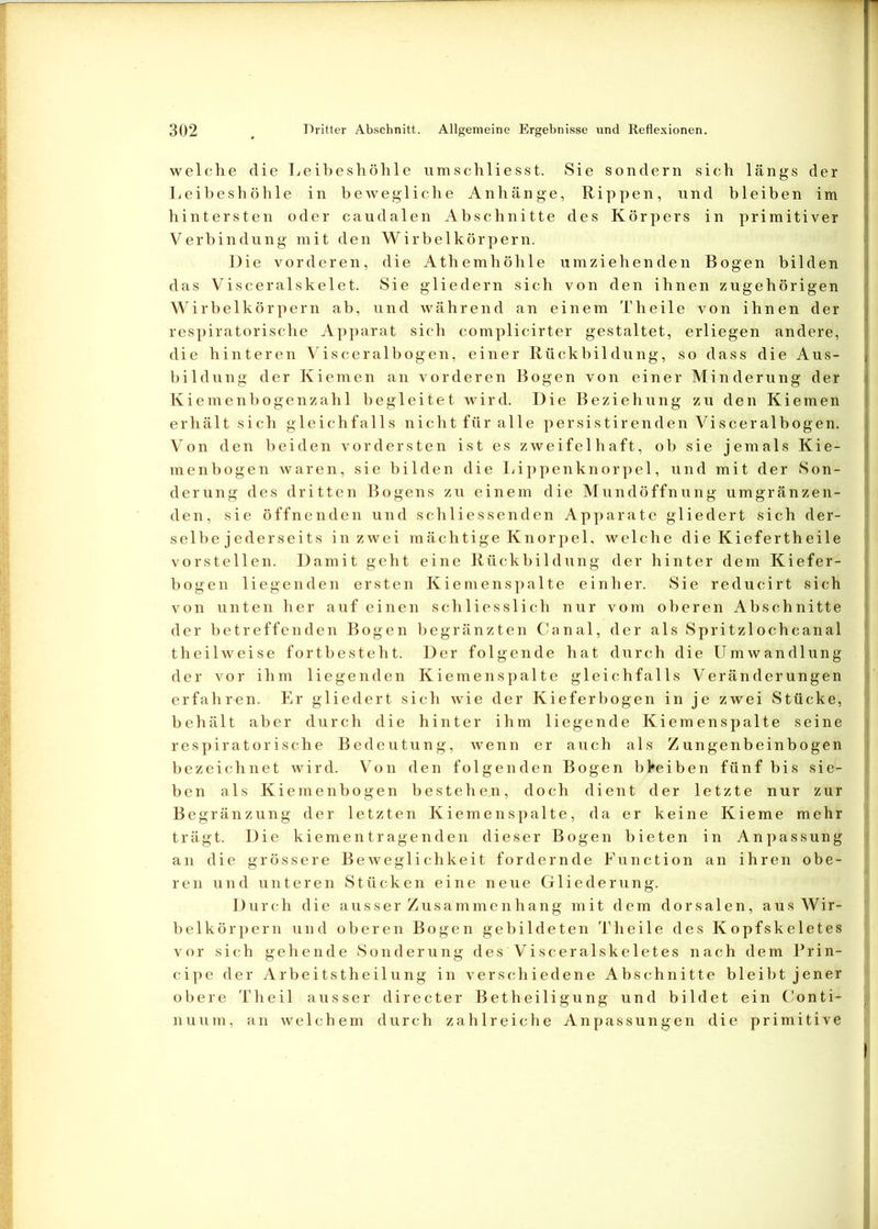 welche die Leibeshöhle umschliesst. Sie sondern sich längs der Leibeshöhle in bewegliche Anhänge, Hippen, und bleiben im hintersten oder caudalen Abschnitte des Körpers in primitiver Verbindung mit den Wirbelkörpern. Die vorderen, die Athemhöhle umziehenden Bogen bilden das Visceralskelet. Sie gliedern sich von den ihnen zugehörigen Wirbelkörpern ab, und während an einem Theile von ihnen der respiratorische Apparat sich complicirter gestaltet, erliegen andere, die hinteren Visceralbogen, einer Rückbildung, so dass die Aus- bildung der Kiemen an vorderen Bogen von einer Minderung der Kiemenbogenzahl begleitet wird. Die Beziehung zu den Kiemen erhält sich gleichfalls nicht für alle persistirenden Visceralbogen. Von den beiden vordersten ist es zweifelhaft, ob sie jemals Kie- menbogen waren, sie bilden die Lippenknorpel, und mit der Son- derung des dritten Bogens zu einem die Mundöffnung umgränzen- den, sie öffnenden und schliessenden Apparate gliedert sich der- selbe j ederseits in zwei mächtige Knorpel, welche die Kiefertheile vorstellen. Damit geht eine Rückbildung der hinter dem Kiefer- bogen liegenden ersten Kiemenspalte einher. Sie reducirt sich von unten her auf einen schliesslich nur vom oberen Abschnitte der betreffenden Bogen begränzten Canal, der als Spritzlochcanal theilweise fortbesteht. Der folgende hat durch die Umwandlung der vor ihm liegenden Kiemenspalte gleichfalls Veränderungen erfahren. Er gliedert sich wie der Kieferbogen in je zwei Stücke, behält aber durch die hinter ihm liegende Kiemenspalte seine respiratorische Bedeutung, wenn er auch als Zungenbeinbogen bezeichnet wird. Von den folgenden Bogen blfeiben fünf bis sie- ben als Kiemenbogen bestehe.n, doch dient der letzte nur zur Begränzung der letzten Kiemenspalte, da er keine Kieme mehr trägt. Die kiementragenden dieser Bogen bieten in Anpassung an die grössere Beweglichkeit fordernde Function an ihren obe- ren und unteren Stücken eine neue Gliederung. Durch die ausser Zusammenhang mit dem dorsalen, aus Wir- belkörpern und oberen Bogen gebildeten Theile des Kopfskeletes vor sich gehende Sonderung des Visceralskeletes nach dem Prin- cipe der Arbeitstheilung in verschiedene Abschnitte bleibt jener obere Theil ausser directer Betheiligung und bildet ein Conti- , nuum, an welchem durch zahlreiche Anpassungen die primitive