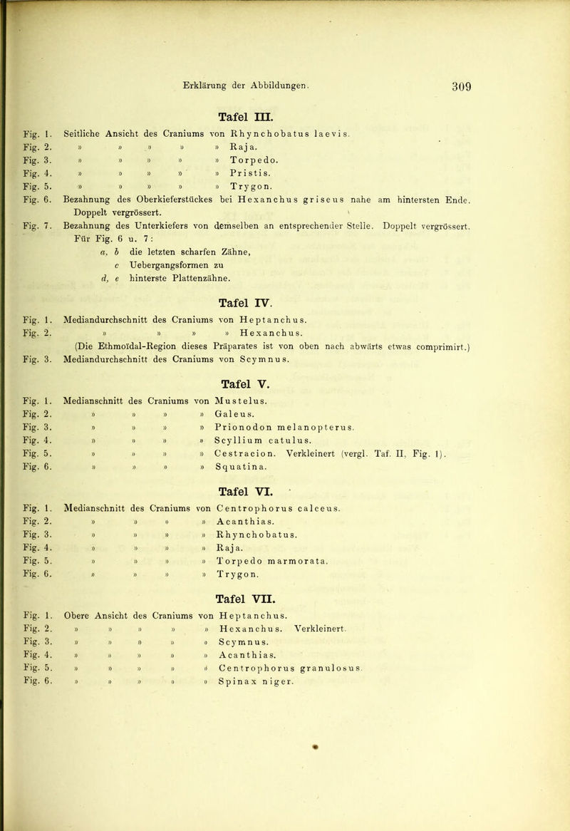 Fig. l. Fig. 2. Fig. 3. Fig. 4. Fig. 5. Fig. 6. Fig. 7. Fig. 1. Fig. 2. Fig. 3. Fig. 1. Fig- 2. Fig. 3. Fig. 4. Fig. 5. Fig. 6. Fig. 1. Fig. 2. Fig. 3. Fig. 4. Fig. 5. Fig. 6. Fig. 1 Fig. 2. Fig. 3. Fig. 4. Fig. 5. Fig. 6. Tafel III. Seitliche Ansicht des Craniums von Rhynchobatus laevis. » » _» » » Raja. » » » » » Torpedo. » » » » ' » Pristis. ■» » » » » Trygon. Bezahnung des Oberkieferstückes bei Hexanchus griseus nahe am hintersten Ende. Doppelt vergrössert. Bezahnung des Unterkiefers von demselben an entsprechender Stelle. Doppelt vergrössert. Für Fig. 6 u. 7 : a, b die letzten scharfen Zähne, c Uebergangsformen zu d, e hinterste Plattenzähne. Tafel IV. Mediandurchschnitt des Craniums von Heptanchus. » » » » Hexanchus. (Die Ethmol'dal-Region dieses Präparates ist von oben nach abwärts etwas comprimirt.) Mediandurchschnitt des Craniums von Scymnus. Tafel V. Medianschnitt des Craniums von Mustelus. » » » » Gal e us. » » » » Prionodon melanopterus. » » » » Scylliumcatulus. » » » » Cestracion. Verkleinert (vergl. Taf. II, Fig. 1). » » » » S q u a t i n a. Tafel VI. Medianschnitt des Craniums von Centrophorus calceus » » » » Acanthias. » » » » Rhynchobatus. » » » » Raja. » » » » Torpedo marmorata. » » » » Trygon. Tafel VII. Obere Ansicht des Craniums von Heptanchus. » » » » » Hexanchus. Verkleinert. » » » » o Scymnus. » » » » »Acanthias. » » » » >t Centrophorus granulosus. » » » » » Spinax niger.