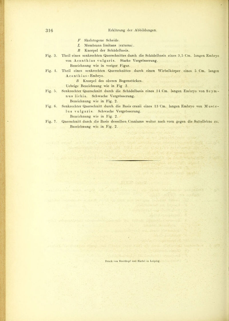 Fig. 3. Fig. 4. Fig. 5. Fig. 6. Fig. 7. F Skeletogene Scheide. L Membrana limitans (externa). B Knorpel der Schädelbasis. Theil eines senkrechten Querschnittes durch die Schädelbasis eines 3,5 Cm. langen Embryo von Acanthias vulgaris. Starke Vergrösserung. Bezeichnung wie in voriger Figur. Theil eines senkrechten Querschnittes durch einen Wirbelkörper eines 5 Cm. langen Acanthias - Embryo. B Knorpel des oberen Bogenstückes. Uebrige Bezeichnung wie in Fig 2. Senkrechter Querschnitt durch die Schädelbasis eines 14 Cm. langen Embryo vonScym- nus lichia. Schwache Vergrösserung. Bezeichnung wie in Fig. 2. Senkrechter Querschnitt durch die Basis cranii eines 13 Cm. langen Embryo von Muste- lus vulgaris. Schwache Vergrösserung. Bezeichnung wie in Fig. 2. Querschnitt durch die Basis desselben Craniums weiter nach vorn gegen die Sattellehne zu. Bezeichnung wie in Fig. 2. Druck Breitkopf und Härtel in Leipzig.