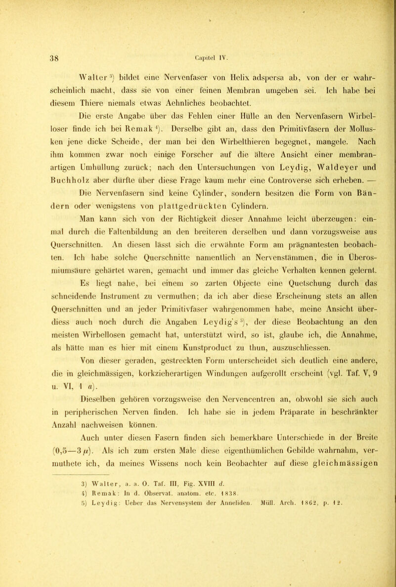 Walter3) bildet eine Nervenfaser von Helix adspersa ab, von der er wahr- scheinlich macht, dass sie von einer feinen Membran umgeben sei. Ich habe bei diesem Thiere niemals etwas Aehnliches beobachtet. Die erste Angabe über das Fehlen einer Hülle an den Nervenfasern Wirbel- loser finde ich bei Remak4). Derselbe gibt an, dass den Primitivfasern der Mollus- ken jene dicke Scheide, der man bei den Wirbelthieren begegnet, mangele. Nach ihm kommen zwar noch einige Forscher auf die ältere Ansicht einer membran- artigen Umhüllung zurück; nach den Untersuchungen von Leydig, Waldeyer und Buchholz aber dürfte über diese Frage kaum mehr eine Controverse sich erheben. — Die Nervenfasern sind keine Cylinder, sondern besitzen die Form von Bän- dern oder wenigstens von plattgedrückten Cylindern. Man kann sich von der Richtigkeit dieser Annahme leicht überzeugen: ein- mal durch die Faltenbildung an den breiteren derselben und dann vorzugsweise aus Querschnitten. An diesen lässt sich die erwähnte Form am prägnantesten beobach- ten. Ich habe solche Querschnitte namentlich an Nervenstämmen, die in Überos- miumsäure gehärtet waren, gemacht und immer das gleiche Verhalten kennen gelernt. Es liegt nahe, bei einem so zarten Objecte eine Quetschung durch das schneidende Instrument zu vermuthen; da ich aber diese Erscheinung stets an allen Querschnitten und an jeder Primitivfaser wahrgenommen habe, meine Ansicht über- diess auch noch durch die Angaben Leydig’s5), der diese Beobachtung an den meisten Wirbellosen gemacht hat, unterstützt wird, so ist, glaube ich, die Annahme, als hätte man es hier mit einem Kunstproduct zu thun, auszuschliessen. Von dieser geraden, gestreckten Form unterscheidet sich deutlich eine andere, die in gleichmässigen, korkzieherartigen Windungen aufgerollt erscheint (vgl. Taf. V, 9 u. VI, 1 a). Dieselben gehören vorzugsweise den Nervencentren an, obwohl sie sich auch in peripherischen Nerven finden. Ich habe sie in jedem Präparate in beschränkter Anzahl nachweisen können. Auch unter diesen Fasern finden sich bemerkbare Unterschiede in der Breite (0,5—3 fi). Als ich zum ersten Male diese eigenthümlichen Gebilde wahrnahm, ver- muthete ich, da meines Wissens noch kein Beobachter auf diese gleichmässigen 3) Walter, a. a. 0. Taf. III, Fig. XVIII dt. 4) Remak: In d. Observat. anatom. etc. 1 838. 5) Leydig: Ueber das Nervensystem der Anneliden. Müll. Arch. 1 862, p. 12.