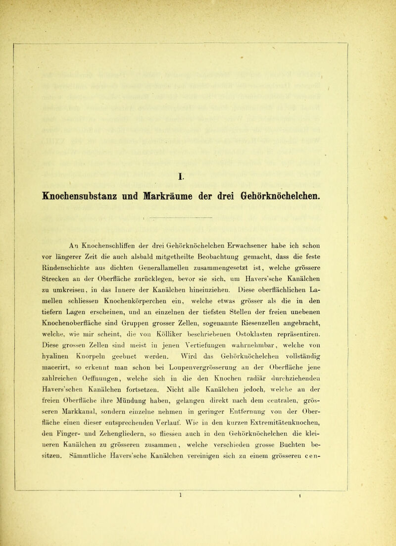 Knocbensuhstanz und Markräume der drei Gehörknöchelchen. Au Knochenschliffen der drei Gehörknöchelchen Erwachsener habe ich schon vor längerer Zeit die auch alsbald mitgetheilte Beobachtung gemacht, dass die feste Rindenschichte aus dichten Generallamellen zusammengesetzt ist, welche grössere Strecken an der Oberfläche zurücklegen, bevor sie sich, um Havers’sche Kanälchen zu umkreisen, in das Innere der Kanälchen hineinziehen. Diese oberflächlichen La- mellen schliessen Knochenkörperchen ein, welche etwas grösser als die in den tiefem Lagen erscheinen, und an einzelnen der tiefsten Stellen der freien unebenen Knochenoberfläche sind Gruppen grosser Zellen, sogenannte Riesenzellen angebracht, welche, wie mir scheint, die von Kölliker beschriebenen Ostoklasten repräsentiren. Diese grossen Zellen sind meist in jenen Vertiefungen wahrnehmbar, welche von hyalinen Knorpeln geebnet werden. Wird das Gehörknöchelchen vollständig macerirt, so erkennt man schon bei Loupenvergrösserung an der Oberfläche jene zahlreichen Oeffnungen, welche sich in die den Knochen radiär durchziehenden Havers’schen Kanälchen fortsetzen. Nicht alle Kanälchen jedoch, welche an der freien Oberfläche ihre Mündung haben, gelangen direkt nach dem centralen, grös- seren Markkanal, sondern einzelne nehmen in geringer Entfernung von der Ober- fläche einen dieser entsprechenden Verlauf. Wie in den kurzen Extremitätenknochen, den Finger- und Zehengliedern, so fliessen auch in den Gehörknöchelchen die klei- neren Kanälchen zu grösseren zusammen, welche verschieden grosse Buchten be- sitzen. Sämmtliche Havers’sche Kanälchen vereinigen sich zu einem grösseren een-