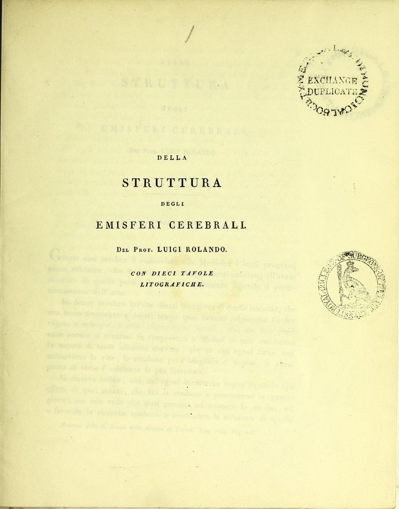 DELLA STRUTTURA DEGLI EMISFERI CEREBRALI. Del Prof. LUIGI ROLANDO. CON DIECI TAVOLE LITOGRAFICHE. t“>UPLIOATi^ ■Vnv>-