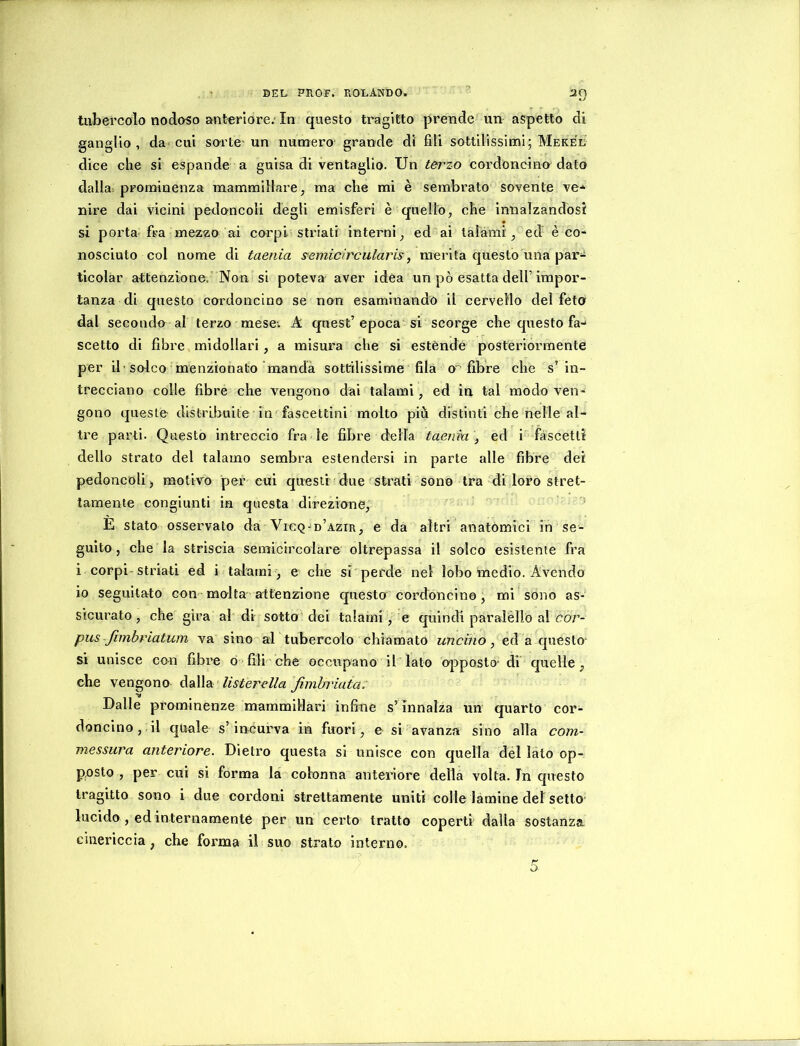 tubercolo nodoso anteriore. In questo tragitto prende un aspetto di ganglio, da' cui sorte un numero grande di fili sottilissimi; Mekel dice che si espande a guisa di ventaglio. Un terzo cordoncino dato dalla: prominenza mammillare, ma che mi è sembrato sovente ve* nire dai vicini pedoncoli degli emisferi è quello, che innalzandosi si porta'fra mezzo ai corpi striati interni, ed ai lalàmi, ed è co- nosciuto col nome di taenia semicircularis^ merita questo una par- ticolar attenzione.'Non si poteva aver idèa un pò esatta dell’impor- tanza di questo cordoncino se non esamlnandn il cervello del feto dal secondo al terzo mese-. A quest’ epoca' si scorge che questo fa- scette di fibre, midollari, a misura che si estènde posteriormente per il'solco menzionato manda sottilissime fila o'-fibre che s’in- trecciano colle fibre che vengono dai talami, ed in tal modo ven- gono queste distribuite in fascettini molto più distinti che nelle al- tre parti. Questo intreccio fra le fibre della taenia \ ed i fascetti dello strato del talamo sembra estendersi in parte alle fibre dei pedoncoli, motivo per cui questi due strati sono tra di loro stret- tamente congiunti in questa direzione, ’ E stato osservato da Vigq-d’azir, e da altri anatòmici in se- guito, che la striscia semicircolare oltrepassa il solco esistente fra i corpi-striati ed i talami', e che si perde nel lobo medio. Avendo io seguitato con molta attenzione questa cordoncino, mi sono as- sicurato , che gira al di sotto dei talami, e quindi paraléllo al cor- pus funhrìatum va sino al tubercolo chiamato uncino, ed a questo* si unisce con fibre ò fili che occupano il lato ojDposto-di quelle, che vengono àdWsL • listerella fimh'iata: Dalle pi’ominenze mammillari infine s’innalza un quarto cor- doncino, il quale s’incurva in fuori, e si avanza sino alla com- messura anteriore. Dietro questa si unisce con quella del lato op- posto , per cui si forma la colonna anteriore della volta. In questo tragitto sono i due cordoni strettamente uniti colle lamine del setto lucido , ed internamente per un certo tratto coperti dalla sostanza cinericcia, che forma il suo strato interno.