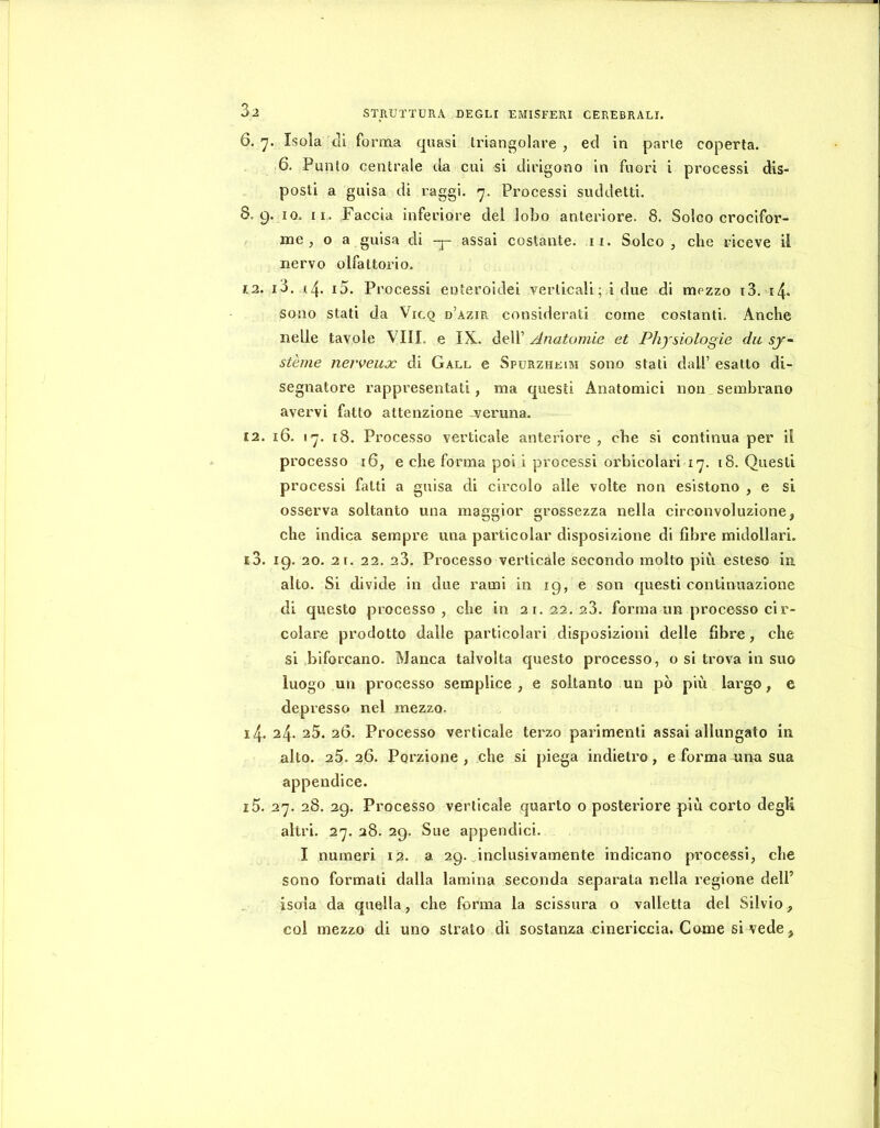 6. 7. Isola eli forma quasi triangolare , ed in parie coperta. 6. Punto centrale da cui si dirigono in fuori i processi dis- posti a guisa di raggi. 7. Processi suddetti. 8.9. IO. II.. Paccia inferiore del lobo anteriore. 8. Solco crocifor- ine , o a guisa di -j- assai costante. 11. Solco, che riceve il nervo olfattorio. 12. i3. (4. i5. Pi ’ocessi enteroidei verticali ; i due di mezzo i3. r4* sono stati da Vicq d’azir considerati come costanti. Anche nelle tavole Vili, e IX.. à^W Anatomie et Phybiologie du sj~ stèrne nerveux di Gall e Spurzheim sono stati dall’ esalto di- segnatore rappresentati, ma questi Anatomici non sembrano avervi fatto attenzione veruna. £2. 16. 17. i8. Processo verticale anteriore , che si continua per il processo 16, e che forma poi i processi orbicolari 17. 18. Questi processi fatti a guisa di circolo alle volte non esistono , e si osserva soltanto una maggior grossezza nella circonvoluzione, che indica sempre una particolar disposizione di fibre midollari. 13. 19. 20. 21. 22. 23. Processo verticale secondo molto più esteso in alto. Si divide in due rami in 19, e son cjuesti continuazione di questo processo, che in 21.22. 23. forma un processo ci r- colare prodotto dalle particolari disposizioni delle fibre, che si biforcano. Manca talvolta questo processo, o si trova in suo luogo un processo semplice, e soltanto un pò più largo, e depresso nel mezzo. 14. 24. 25. 26. Processo verticale terzo parimenti assai allungato in alto. 25.26. Porzione, che si piega indietro, e forma una sua appendice. 15. 27. 28. 29. Processo verticale quarto o posteriore più corto degli altri. 27. 28. 29. Sue appendici. I numeri 12. a 29. inclusivamente indicano processi, che sono formati dalla lamina seconda separata nella regione delP isola da quella, che forma la scissura o vailetta del Silvio, col mezzo di uno strato di sostanza cinericcia. Come si vede,