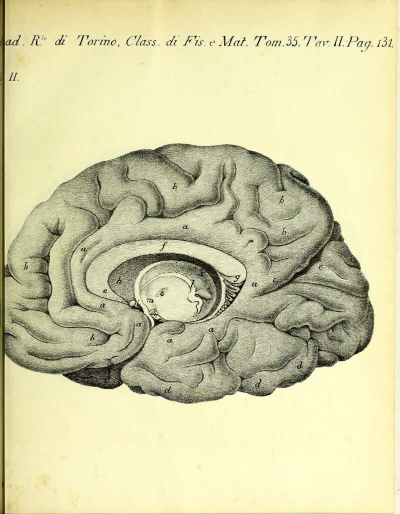 Tot me. Class. di jCis. e Mal. Tom.55, l^av. IL Pag. lòl. ad. di