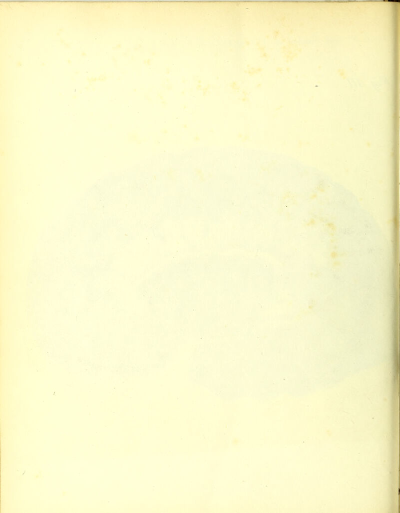 Hi-.: . j'fj—, . À'i X IP ”ll .Étr