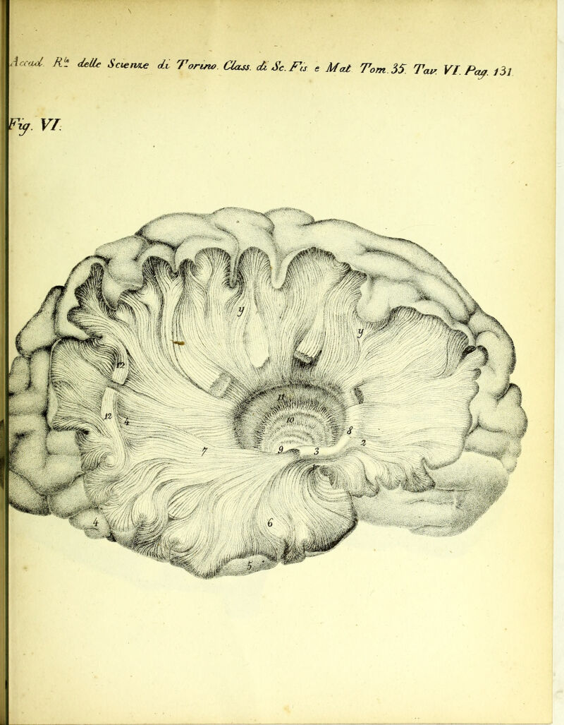 AccaA. Ri (ielle Scteme dv Toruw Claus <à Se. Tis e Mot Tom ÌS TV Yl.Paf. iìl Fy. vr
