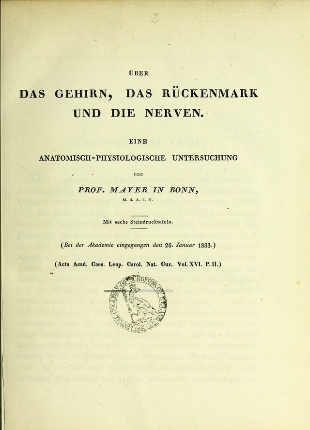 digitised image 2