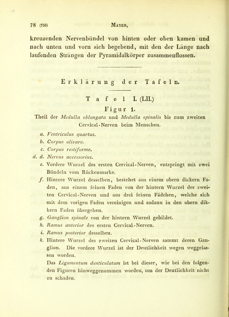 kreuzenden Nervenbündel von hinten oder oben kamen und nach unten und vorn sich begebend, mit den der Länge nach laufenden Strängen der Pyramidalkörper zusammenflossen. Erklärung der Tafeln. Tafel I. (LII.) Figur 1. Theil der Medulla oblongata und Medulla spinalis bis zum zweiten Cervical-Nerven beim Menschen. a. Ventriculus quartus. b. Corpus olivare. c. Corpus restiforme, d. d. Nervus accessorius. e. Vordere Wurzel des ersten Cervical-Nerven, entspringt mit zwei Bündeln vom Rückenmarke. f. Hintere Wurzel desselben, bestehet aus einem obern dickern Fa- den, aus einem feinen Faden von der hintern Wurzel des zwei- ten Cervical-Nerven und aus drei feinen Fädchen, welche sich mit dem vorigen Faden vereinigen und sodann in den obern dik- kern Faden übergehen. g. Ganglion spinale von der hintern Wurzel gebildet. h. Ramus anterior des ersten Cervical-Nerven. i. Ramus posterior desselben. k. Hintere Wurzel des zweiten Cervical-Nerven sammt deren Gan- glion. Die vordere Wurzel ist der Deutlichkeit wegen weggelas- sen worden. Das Ligamentum denticulatum ist bei dieser, wie bei den folgen- den Figuren hinweggenommen worden, um der Deutlichkeit nicht zu schaden.