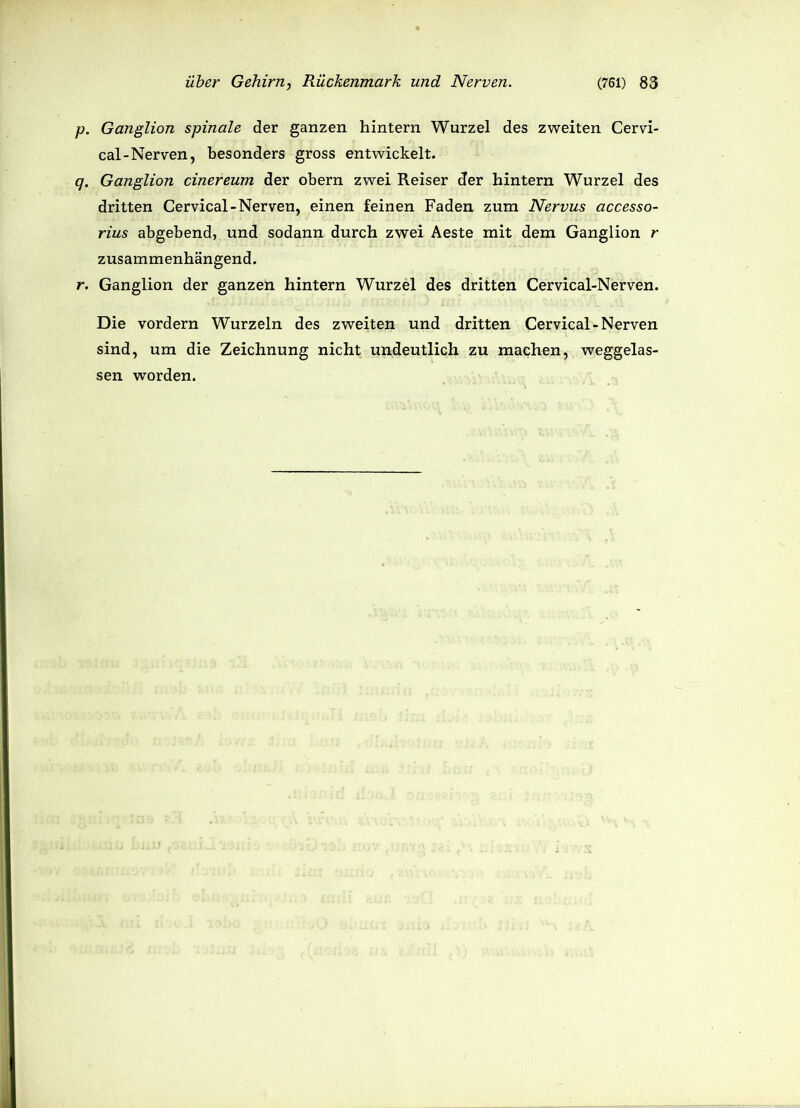 p. Ganglion spinale der ganzen hintern Wurzel des zweiten Cervi- cal-Nerven, besonders gross entwickelt. q. Ganglion einereum der obern zwei Reiser der hintern Wurzel des dritten Cervical-Nerven, einen feinen Faden zum Nervus accesso- rius abgebend, und sodann durch zwei Aeste mit dem Ganglion r zusammenhängend. r. Ganglion der ganzen hintern Wurzel des dritten Cervical-Nerven. Die vordem Wurzeln des zweiten und dritten Cervical-Nerven sind, um die Zeichnung nicht undeutlich zu machen, weggelas- sen worden.