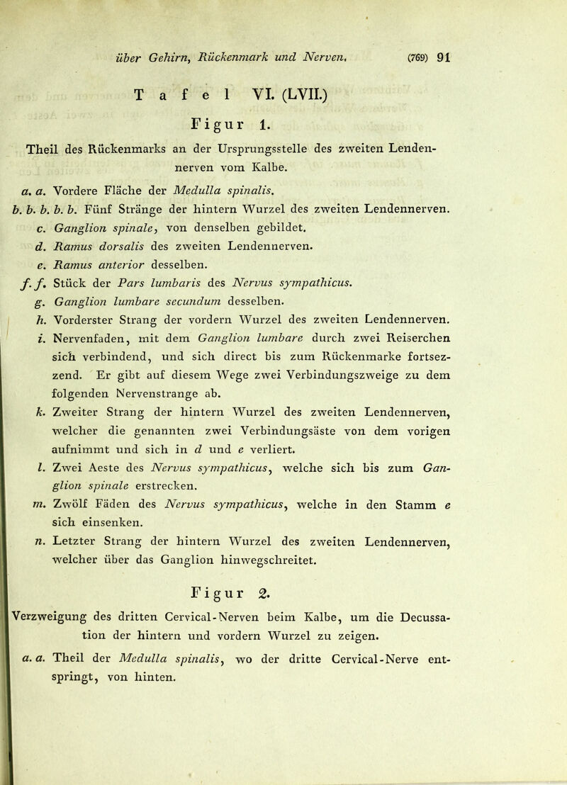 Tafel VI. (LVII.) Figur 1. Theil des Rückenmarks an der Ursprungsstelle des zweiten Lenden- nerven vom Kalbe. a. a. Vordere Fläche der Medulla spinalis. b. b. b. b. b. Fünf Stränge der hintern Wurzel des zweiten Lendennerven. c. Ganglion spinale, von denselben gebildet. d. Ramus dorsalis des zweiten Lendennerven. e. Ramus anterior desselben. f. f. Stück der Pars lumbaris des Nervus sympathicus. g. Ganglion lumbare secundum desselben. h. Vorderster Strang der vordem Wurzel des zweiten Lendennerven. i. Nervenfaden, mit dem Ganglion lumbare durch zwei Reiserchen sich verbindend, und sich direct bis zum Rückenmarke fortsez- zend. Er gibt auf diesem Wege zwei Verbindungszweige zu dem folgenden Nervenstränge ab. k. Zweiter Strang der hintern Wurzel des zweiten Lendennerven, welcher die genannten zwei Verbindungsäste von dem vorigen aufnimmt und sich in d und e verliert. l. Zwei Aeste des Nervus sympathicus, welche sich bis zum Gan- glion spinale erstrecken. m. Zwölf Fäden des Nervus sympathicus, welche in den Stamm e sich einsenken. n. Letzter Strang der hintern Wurzel des zweiten Lendennerven, welcher über das Ganglion hinwegschreitet. Figur 2. Verzweigung des dritten Cervical-Nerven beim Kalbe, um die Decussa- tion der hintern und vordem Wurzel zu zeigen. a.a. Theil der Medulla spinalis, wo der dritte Cervical-Nerve ent- springt, von hinten.