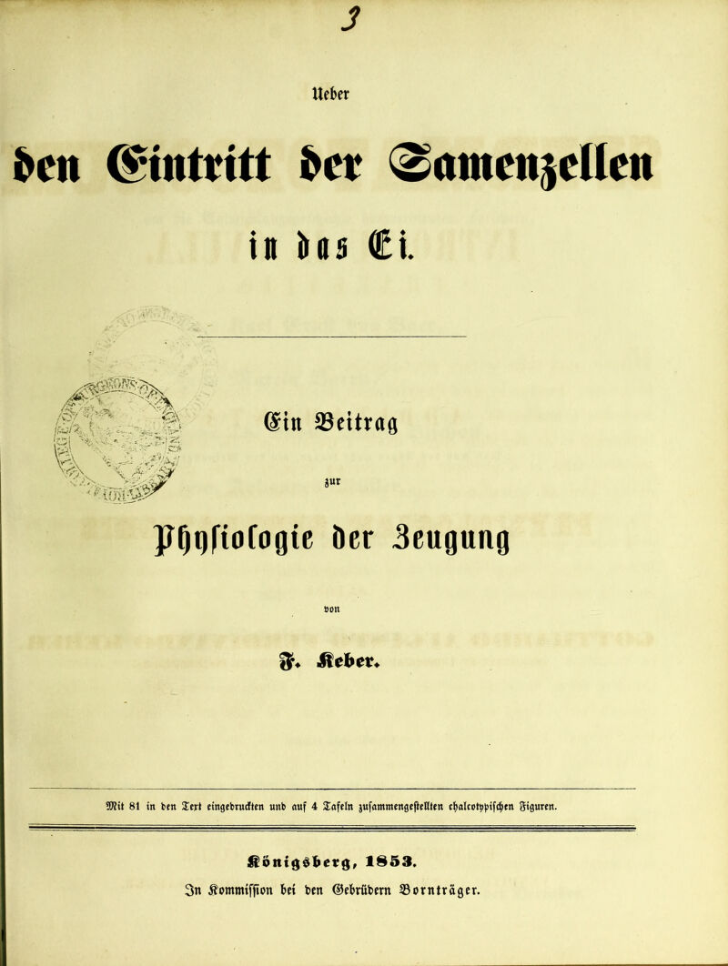 Uekr ^en ^tntdtt det <Satnett$dlen ttt Nb €l @itt 33ettrag Jur jrOqftotogte der 3eugung 50?it 81 in ben SText eingebrwiften unb auf 4 lafeln jufantmengefienteit Siguren. 1853. 3n Äommiflton Bet Ben ©eBrübern S3ornträger.