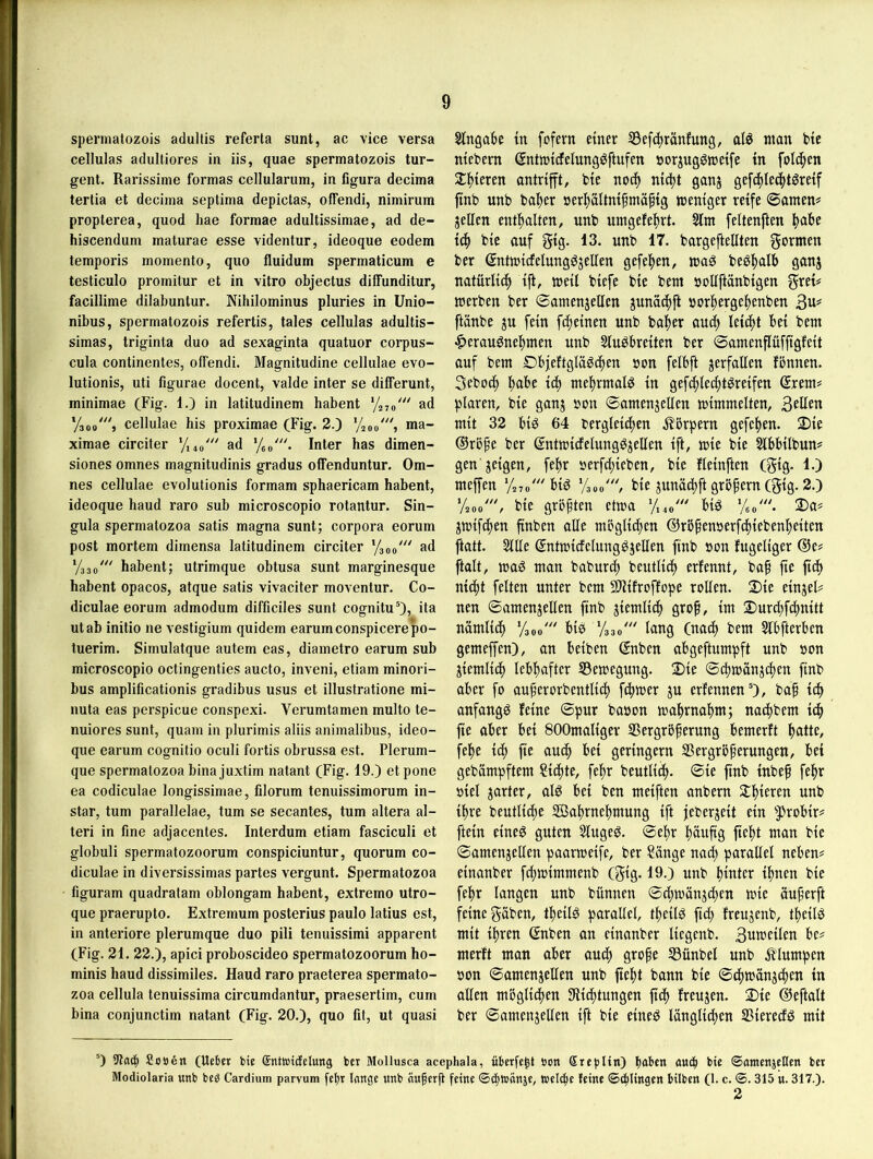 spernialozois adultis referta sunt, ac vice versa cellulas adulliores in iis, quae spermatozois tur- gent. Rarissime fortnas cellularum, in figura decima tertia et decima septima depictas, ofTendi, nimirum propterea, quod hae formae adultissimae, ad de- hiscendum maturae esse videntur, ideoque eodem temporis momento, quo fluidum spermaticum e testiculo promitur et in vitro objectus diffunditur, facillime dilabuntur. Nihilominus pluries in Unio- nibus, spermatozois refertis, tales cellulas adultis- simas, triginta duo ad sexaginta quatuor corpus- cula continentes, offendi. Magnitudine cellulae evo- lutionis, uti figurae docent, valde inter se differunt, minimae (Fig. 1.) in latitudinem habent ‘/270''' ad Vsoo', cellulae bis proximae (Fig. 2.) Yaoo', ma- ximae circiter y,4o' ad '/eo'. Inter has dimen- siones omnes magnitudinis gradus offenduntur. Om- nes cellulae evolutionis formam sphaericam habent, ideoque haud raro sub microscopio rotantur. Sin- gula spermatozoa satis magna sunt; corpora eorum post mortem dirnensa latitudinem circiter '/aoo''' ad Yaso''' habent; utrimque obtusa sunt marginesque habent opacos, atque satis vivaciter moventur. Co- diculae eorum admodum difficiles sunt cognitu^, ita utab initio ne vestigium quidem earumconspicerepo- tuerim. Simulatque autem eas, diametro earum sub microscopio octingenlies aucto, inveni, etiam minori- bus amplificationis gradibus usus et illustratione mi- nuta eas perspicue conspexi. Verumtamen multo te- nuiores sunt, quam in plurimis aliis animalibus, ideo- que earum cognitio oculi fortis obrussa est. Plerum- que spermatozoa bina juxtim natant (Fig. 19.) et pone ea codiculae longissimae, filorum tenuissimorum in- star, tum parallelae, tum se secantes, tum altera al- ten in fine adjacentes. Interdum etiam fasciculi et globuli spermatozoorum conspiciuntur, quorum co- diculae in diversissimas partes vergunt. Spermatozoa figuram quadratam oblongam habent, extremo utro- que praerupto. Extremum posterius paulo latius est, in anteriore plerumque duo pili tenuissimi apparent (Fig. 21. 22.), apici proboscideo spermatozoorum ho- minis haud dissimiles. Haud raro praeterea spermato- zoa cellula tenuissima circumdantur, praesertim, cum bina conjunctim natant (Fig. 20.), quo fit, ut quasi 0 9ta(^ 2o»en Eingabe in fofern einer 53efd>ranfung, al^ ntan btc niebem ©ntjuidfelungöftufen »orjugöroeife in folc^en SEbieren antrifft, bie nod) nicfit ganj gefcfde^töreif ftnb unb baber »erbältnifmäpig weniger reife ©amen# jellen enthalten, unb umgefebrt. SIm feltenften i(b bie auf gig. 13. unb 17. bargeftellten formen ber (Sntwicfelungöjellen gefeben, wag begbalb gdtij natürli(^ ift, weil biefe bie bem »oUftänbigen grei# werben ber ©amenjellen gunätbft »orbergebenben 3«=^ ftänbe ju fein [feinen unb baber au(^ leicbt bei bem -Ctcraugnebmen unb Slugbreiten ber ©amenflüffigfeit auf bem Dbjeftglägcben non felbft verfallen fönnen. Sebodb bft^e f^b mebrmalg in gefcblecptgreifen ®rem# plaren, bie ganj 5Mjn ©amenjellen wimmelten, Sollen mit 32 big 64 hergleicben .Körpern gefeben. 2)ie ®rbpe ber (JntwicfelunggjeEen ift, wie bie Slbbilbun# gen'jeigen, febr »erf^ieben, bie fleinften (gig. 1.) meffen %7o'big %oo'/ bie junacpft grbpem (gig. 2.) ‘Aoo', bie grbpten etwa Yiio big Veo'. ®a# jwifcben finben alle mbglicben ©röpen»erfd)iebenbeiten ftatt. Sille Sntwidelunggjellen ftnb non fugeliger @e# ftalt, wag man baburd; beutlicb erfennt, bap jte f[cb nicpt feiten unter bem Sliifroffope rollen. 2)ie einjel# nen ©amenjellen ftnb jiemlicb grop, im Durcbfcbnitt nämlicb ‘/aoo' big Ysao' lang (natb bem Slbfterben gemeffen), an beiben (Jnben abgeftumpft unb non jiemlicb lebhafter S3ewegung. 2)ie ©d)wänjcben ftnb aber fo aupcrorbentlieh ftbwer ju erfennen), bap iep anfangg feine ©pur banon wabrnabm; naepbem ich fie aber bei SOOmaliger SSergrbperung bemerft fepe ich f[e auep bei geringem SSergrbperungen, bei gebämpftem Siipte, fepr beutlicp. ©ie ftnb inbep fepr niel jarter, alg bei ben meiften anbern 2:bieren unb ipre beutlicpe Sabrnepmung ift jeberjeit ein ftein eineg guten Slugeg. ©epr päupg fiept man bie ©amenjellen paarweife, ber Sänge nat^ parallel neben# einanber fd;wimmenb (gig. 19.) unb pinter ipnen bie fepr langen unb bünnen ©d;wänjd;en wie äuperft feine gäben, tpeilg parallel, tpeilg ftd; freujenb, tpeilg mit ipren (Jnben an einanber liegenb. Buweilen be# merft man aber auep grope S3ünbel unb ^llumpen non ©amenjellen unb fiept bann bie ©^wänjtpen in aden mbgli^en dütptungen ft^ freujen. 2)ie ©eftalt ber ©amenjellen ift bie eineg länglicpen SSieredg mit (Ueber bie ßntoidelung ber Mollusca acephala, überfep öon Sreplin) I)öben öueb bie ©amenjellen ber Modiolaria unb beg Cardium parvum jelir lange unb nuperfl feine ©eptvönje, welcpc feine ©cplingen bilben (1. c. ©. 315 u. 317.). 2