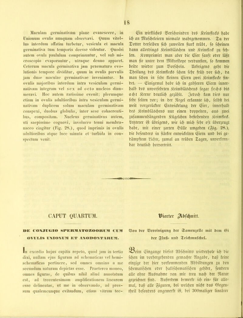 IS Maciikm germinativam plane evanescere, in ünionnin ovnlis nunquam observavi. Quinn vitel- lus interduin affalim tiirbetur, vesicula et macula germinativa tum tempoi’is deesse videntur. Quodsi autein ovuIa pauliiluin coinprimiintur, vel sub mi- croscopio evaporantiir, iilraque denuo apparet. Ceteruin niacula germinativa jam praeinaturo evo- lutionis tempore dividitur, quum in ovulis parvulis jam dnae maculae germinativae inveniantur. In ovulis majoribus interduin intra vesiculam germi- nativam integram vel sex ad octo nucleos dinu- meravi. Hoc autem rarissime evenit; plerumque etiam in ovulis adultioribus intra vesiculam germi- nativam duplicem solum maculam germinativam conspexi, duobus globulis, inter sese cohaerenti- bus, compositam. Nucleus germinativus autem, uti saepissime cognovi, involiicro tenui membra- naceo cingitur (Fig. 28.), quod imprimis in ovulis adultioribus atque luce minuta et turbida in con- spectum venit. Sin SSevfdtnnut'en be§ ftabe td) an 5Diufd)elctern nicmak ma^rgcnommcn. 2)a Per 2)otter tevfelben ftd) jumctlen ftarf trübt, fo fd^einen bann altcvbingg J?'etmbläöd;cn unb ^Ictmflcd jn fcp len. J^omprimlrt man aber bte (Sier fanft ober läft man fte unter bem SDltfroffope »erbunften, fo fommen beibe mteber jum Sor[d;e{n. Uebrigenö ge()t bte 2:i)e{(ung beö Jlelmficdß fd)on feltr frül; »or fid), ba man fdion tn fel;r fleinen Giern ^met ^lelmflede fin* bet. — Glmgemal (;abe td) ln grbferen Giern inner? l;alb beö unoerfel;rten ifeimblägd;end fogar fed;ö big ad)t i?'erne beutiid; gejäl;It. 3ebod) fam bieg nur fel)r feiten »or; in ber 3tegel erfanntc id;, felbft bei meit oorgerücfter Gntmidelung ber Gier, innerhalb beg ^leimblägd;eng nur einen hoppelten, aug jmei jnfammenl;ängenben itügeld;en beftel;enben Äeimfled. ?e^terer ift nbrigeng, mie id) mid; feltr oft überzeugt l)abe, mit einer jarten >t>ülle umgeben (gig- 28.), bie befonberg in ftärfer entmidelten Giern unb bei ge? bümpftem Sid;te, jumal an trüben Xagen, nnoerfenn? bar beutlicl) Iteroortritt. CAPUT QUARTUM. I»E COXJEGIO SPER^ATOKOOKl'^l ClIM OAAXIS lAIOAlTM ET AAOUOATAR1JR. In exordio hujus capitis repelo, quod jam in tertio dixi, nullam ejus figuram ad schematicas vel hemi- schematlcas pertinere, sed omnes omnino a me secundum naturam depictas esse. Praeterea moneo, omnes figuras, de quibus nihil aliud annotatum est, ad trecentesimam amplificationem linearem esse delineatas, et me in observando, ad pres- sum qualemcunque evitandum, etiam vitrum tec- tJicrtfr 23on ber ©erettttgung ber <$omeujcttc mit bem @t ber unb IScii^mufcbcI. 33eim Gingangc biefeg 5lbfc|nittg mieberl;ole id) bie fd;on im »or^erge^enben gemad^te Eingabe, baf’ feine einzige ber l)ier oorfommenben 3lbbilbungen ju ben fcf»ematifd)en ober ^albfd;ematifd;en gcl;brt, fonbern alle oltne Slugna^me oon mir treu nad) ber Statur gejeid;net finb. Sluperbem bemerfc id; ein? für alle? mal, baf alle S^Ö^ten, bei meieren nid;t bag ©egen? tfteil befonberg angemerft ift, bei .SOOmaliger linearer