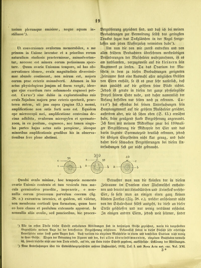 lorium plerumque omisisse, neque aquam in- stillasse ')• Ut conversiones ovulorum memorabiles, a me primum in Unione inventae et a prioribus rerum naturalium studiosis praetermissae, animadvertan- tur, necesse est minora eorum potissimum spec- tare. Quum ovaria Unionum tempore, ad has ob- servationes idoneo, ovula magnitudinis diversissi- mae abunde contineant, non mirum est, majora eorum prae ceteris animadverti. Attamen in bis actus physiologicus jamjam ad finem vergit, ideo- que ejus exordium raro solummodo cognosci pot- est. CarusO sine dubio in explorationibus suis ovula Najadum majora prae ceteris spectavit, prae- terea autem, uti jam supra (pagina 13.) monui, amplificatione non satis forti usus est. Equidem ope microscopii mei, amplificatione centesima de- cima adhibila, ovulorum micropylen et Spermato- zoon, in ea positum, cognosco, nec tarnen singu- las partes hujus actus satis perspicue, ideoque minoribus amplificationis gradibus bis in observa- tionibus fere plane abstinui. S3ergv5ferung gejetc^net ftnb, ttnb baf tcf) bet weinen 53eobad;tungen jur SSermetbung felbft beö gevingften 3)rucfeö fcgar ba^ Secfgläöc^en in ber Siegel fortge# laffen unb jeben SÖafferpfa^ »ermieben l^abeO« Uw nun bie pon wir guerft entbecften unb »on allen frül;ern SSeobac^tern überfel^enen werfwürbigen SSeränberungen ber S)iufcf)eleier wal^rjune^wen, tft e^ aw ratbfawften, porjugdweife auf bie Heinern fein 3tugenwerf ju lenfen. 2)a baö Dpartuw ber 3)iu# fifjeln in bew ju biefen ißecbac^tungen geeigneten Beitrauwe ftetö eine 2lu^wa|)i aller wöglid;en ©rbjjen pon Siern entf)ält fo ift eg jwar fel)r natürlich, ba^ wan junädjft auf bie gröpern feine ©liefe ridjtet. 3ebp(^ ift gerabe in biefen ber ganje pl)i)ftDlDgifc^e 5)rojef feinew @nbe na^e, unb bal)er nawentlid; ber Anfang beffelben nur feiten nod^ ju erfennen. Sa^ rugO l;at offenbar bei feinen Unterfud)ungen fein ■^auptaugenwerf auf bie grb^ern 9)iufd)eleier gerid^tet, au^erbew aber, wie id; fd;on oben (®. 13.) erwäf>nt ^abe, feine genügenb ftarfe ©ergrbperitng angewanbt. 3d; fann wit weinew Sliifroffope jwar bei llOwali? ger Vergrößerung bie Viifropple ber ßier unb bag barin liegenbe ©perwatojoib beutlicß erfennen, jebod) bie übrigen ßinjelbeiten nid;t flar genug, unb ßabe baßer biefe fd;wacßen Vergrößerungen bei biefen Un« terfud;ungen faßt gar nießf gebrainßt. Ouodsi ovula minima, hoc temporis momento ovario Unionis contenta et tum vesicula tum ma- cula germinativa praedita, inspexeris, e non- nullis eorum processum parvulum coecum (fig. 38. c.) exeuntem invenies, et quidem, uti videtur, non membrana corticali ipsa formatum, quum haec eo loco clausa et paululum extenuata appareat. In nonnullis aliis ovulis, sed paucioribus, hic proces- Vetrarßtet wan nun bie fleinften ber in biefew Beitrauwe iw ©pariuw einer glußwufeßel entßalte^ nen unb bereitg witileiwblägd;en unb i^eiwffed perfeße^ ßier, fo fteßt wan an einigen einen ganj fleinen blinben gortfab (5t3- 38. c.), weld;er anfeßeinenb nidjt Pon ber ©d;alenßaut felbft auggeßt, ba biefe an biefer ©teUe gefd;loffen unb nur wenig perbünnt erfeßeint. 3n einigen anbern ©iern, jebod; weit feltener, ßnbet ') Sitte tm crßen 3;t)eite btefet entt)attcnen StbHIbungert ftnb in berjenigen @rüße gejeidjnet, worin bie bavgeftettten ©egenftänbe meinem Singe bei ber betreffenben SSergrößerung erfc{;ienen. SBetonntlid; ßnben in biefet C>inftd}i fetir erßeblii^e llnterfcfiiebe unter fonft guten Singen ftatt. Stu^ onriiren bie cinjelnen ÜJtufcfieleier in einem nnb bemfelben ©tabium nießt Wenig in ißrer ©rbße. Sßegen ber SSebeutung ber Figuren nnb ber, bei alten ubereinftimmenben, einjelnen SSncltftaben oerweife td), foweit biefelbe nid;t aug bem Sexte erßetlt, auf bie, am Snbe biefer ©^rift gegebene, andfüßrlidje &flarung ber Slbbilbungen. 0 Stcue Unterfneßungen über bie ®ntwidelungggefcf)ici;te unferer glußmufeßel, 1832, Saf. I. unb Nova Acta nat. cur. Vol. XVI. 3’'^