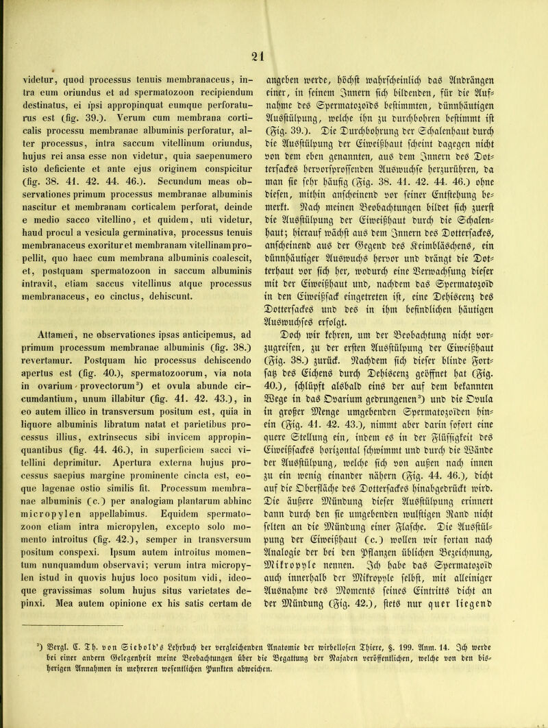 videtur, quod processus teniiis inembranaceiis, in- tra eum oriundiis et ad Spermatozoon recipiendum destinatus, ei ipsi appi'opinquat eumque perforatu- nis est (fig. 39.)- Verum cum membrana corti- calis processu membranae albuminis perforatur, al- ter processus, intra saccum vitellinum oriundus, liujus rei ansa esse non videtur, quia saepenumero isto deficiente et ante ejus originem conspicitur (fig. 38. 41. 42. 44. 46.). Secundum meas ob- servationes primum processus membranae albuminis nascitur et membranam corticalem perforat, deinde e medio sacco vitellino, et quidem, uti videtur, haud procul a vesicula germinativa, processus tenuis inembranaceus exorituret membranam vitellinampro- pellit, quo haec cum membrana albuminis coalescit, et, postquam Spermatozoon in saccum albuminis intravit, etiam saccus vitellinus atque processus inembranaceus, eo cinctus, dehiscunt. Attamen, ne observationes ipsas anticipemus, ad pi’imum processum membranae albuminis (fig. 38.) revertarnur. Postquam hic processus dehiscendo apertus est (fig. 40.), spermatozoorum, via nota in ovarium' provectorum®) et ovula abunde cir- cumdantium, unum illabitur (fig. 41. 42. 43.), in eo autem illico in transversum positum est, quia in liquore albuminis libratum natat et parietibus pro- cessus illius, extrinsecus sibi invicem appropin- quantibus (fig. 44. 46.), in superficiem sacci vi- tellini deprimitur. Apertura externa hujus pro- cessus saepius margine prominente cincla est, eo- que lagenae ostio similis fit. Processum membra- nae albuminis (c.) per analogiam plantarum abhinc micropylen appellabimus. Equidem Spermato- zoon etiam intra micropylen, excepto solo mo- mento introitus (fig. 42.), semper in transversum positum conspexi. Ipsum autem introitus momen- tum nunquamdum observavi; verum intra micropy- len istud in quovis hujus loco positum vidi, ideo- que gravissimas solum hujus situs varietates de- pinxi. Mea autem opinione ex bis satis certam de angeben »erbe, ttsa^rfc^einltc^ bag 51nbrängen einer, in feinem 3nnern fic^ Bilbenben, für bie 2iuf= na^me beg ©permatojoib^ Beftimmten, bünnitäutigen Sfu^ftülpung, mlä)t iitn jn bnrcftBoltren Beftimmt tft (gig. 39.). Sie Sur^Boi^rung ber ©t^alen^aut bnrd^ bie 5fu^ftülpung ber Simeifl^aut fdteint bagegen nidBt non bem eBen genannten, auö bem 3nnern be^ Sot# terfacteö Berttorfproffenben aingmucljfe fterjurn^ren, ba man fie fe^r !^äuftg (gig. 38. 41. 42. 44. 46.) o^ne biefen, mithin anfefteinenb nor feiner ©ntfteftnng Be? merft. S'iab^ meinen SeoBadttungen Bilbet fic^ juerft bie Sln^ftülpung ber ßimeif^ant burt^ bie ©cftalen? l^aut; ftieranf mädtft au^ bem 3nnern be^ Sotterfade^, anfe^teinenb aug ber ©egenb beö .feimBIä^d^en^, ein bünn^autiger ^eröor unb brangt bie Sot? ter^ant »or fieft moburtft eine 25ermac^fung biefer mit ber ©meif^ant unb, nadtbem bag ©permatojoib in ben ©meiffad eingetreten ift, eine Se^i^cenj beg Sotterfade^ unb beg in i^m Beftnblidten häutigen Slu^mudtfeg erfolgt. Soef) mir feltren, um ber 58eoBad)tung nic^t oor? jugreifen, ju ber erften ^u^ftülpung ber ©meif^aut (§ig. 38.) jurüd. ^iatftbem fidt biefer Blinbe gort? fa^ be^ ©d^en^ burd^ Sefti^cenj geöffnet Itat (gig. 40.), fc^lüpft al^Balb einö ber auf bem Befannten 2Bege tu baö Doarium gebrungenenO unb bie Ooula in grofer Siüenge umgeBenben ©permatojoiben ^in? ein (gig. 41. 42. 43.), nimmt aBer barin fofort eine quere ©tellung ein, inbem eö in ber glüffigfeit be^ ©meiffade^ Itorijontal fd^mimmt unb burel) bie 5Bänbe ber Slu^ftülpung, mel^e fit^ oon au^en nac() innen ^u ein menig einanber näl^ern (gig. 44. 46.), bidl)t auf bie £)BerfIad)e beg Sotterfadeö ftinaBgebrüdt mirb. Sie äupere 91iünbung biefer Slugftülpung erinnert bann bureft ben fie umgeBenben mulftigen 5ianb nicltt feiten an bie ailünbung einer glafdte. Sie Sludftül? pung ber ©meif^ant (c.) mollen mir fortan nad^ 5tnalogie ber Bei ben §3flcmjen üBli^en SSejeic^nung, Slliifropple nennen. 3d) ^aBe ba^ ©permatojoib aud) innerltalB ber Slliifropple felBft, mit alleiniger Sluönaltme be^ SUomentg feinet ©ntrittö bidit an ber 31iünbung (gig. 42.), ftetö nur quer liegenb ®) SScvgl. ®. 2:t). öott (Sicbotb’g bet bcrgleti^cnbett Slnatomie ber wirbellofeu §• 199- 3lm«. 14. 3($ werbe bet einer anbern OelegenBeit meine SeobacBtungen über bie SSegattung ber 5tajnben »erbffentlicBen, welche non ben berigen Einnahmen in mehreren wefenttiiben fünften obweicben.