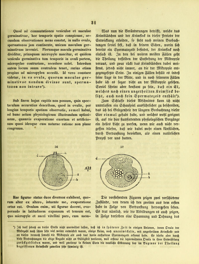 Quod ad commutationes vesiculae et maculae germinativae, hoc temporis spalio conspicuas, se- cundum observationes meas constat, in nullo ovulo, spermatozoa jam continente, unicam maculam ger- minativam inveniri. Plerumque macula germinativa dividitur, priusquarn micropyle nascitur, et quidem vesicula germinativa tum temporis in ovuli partem, micropylae contrariam, secedere solet. Interdum autem locum suum centralem tenet, rarius etiam propius ad raicropylen accedit. Id vero constare videtur, in ea ovula, quorum maculae ger- minativae nondum divisae sunt, sperma- tozoa non intrare*). Sub fmem hujus capitis non possum, quin spec- taculum accuratius describam, quod in ovulis, per longius temporis spatium observatis, semel habui, ad hunc actum physiologicum illustrandum aptissi- mum, quamvis evaporatione exortum et artificio- sum quasi ideoque cum naturae ratione non plane congruum. 56 Hae figurae Status duos diversos exhibent, quo- rum alter ex altero, intuente me, evaporatione ortus est. Ovulum enim, uti figurae docent, eva- porando in latitudinem expansum et tensum est, quo micropyle et sacci vitellini pars, cum mem- nun btc SSeranberungen betrifft, nselc^e baö £eimbläö(f)en unb ber ^ctntflerf in biefer ^eriobe ber (Sntiüicflung erleiben, fo fteftt nad) meinen S3eobacf|s tungen foöiel feft, ba§ in feinem ©d^en, morin ftd^ bereite ein ©permatojoib befinbet, ber ^eimfled nod^ einfad^ ift. 3n ben bei meitem meiften fallen geftt bie 2!^ei(ung beffelben ber (5ntfte|)ung ber Slfifropple »orau^, unb gmar rücft ba^ Äeimblä^i^en babei meU ften^, febod^ nid)t immer, an bie ber SOfifropplc ent? gegengefe^te ©eite. 3n einigen pllen bel)ä(t eö inbe^ feine ?age in ber 3)iitte, nnb in nod^ feltenern pUen ^abe ic^ e^ fogar bicftt an ber Mfropple gefe^en. ©oöiel fd^eint aber fonftant ju fein, baf ein ßi, meld^e^ nod^ einen ungetf)eilten Äeimflecf be? fi^t, au(^ nod^ fein ©permatojoib entl^ältO. 3um ©d^luffe biefe^ Slbfdltnitteö fann iä) nic^t unterlaffen ein ©t^aufpiel auöfü^rlid^er ju befcftreiben, baö icf) bei ©elegen^eit ber langem Beobachtung biefer ©er einmal gehabt höbe, unb melc^e^ mohl geeignet ift, auf bie hier ftattfinbenben phpftölogif<h^tt Borgänge ein hellet Sicht ju merfen, menn mir auch nicht oer? geffen bürfen, baf mir babei mehr einen fünftlichen, burdh Berbunftung bemirften, al^ einen natürlichen ^roje^ oor un^ hötten. 57 2)ie »orftehenben giguren jeigen jmei »erfchiebene 3uftänbe, »on benen ich ben jmeiten auö bem erften habe in golge oon Berbunftung her^orgehen fehen. trat nämlich, mie bie ^bbilbungen e^ auch jeigen, in golge berfelben eine ©pannung unb SDehnung be^ *) 34» barf jebo^ an biefer ©teile nii^t unertoäiint laffen, bag ic| in fpäterer 3eit in einißen Unionen, beren Donia bet ?We{)tja^l noc^ fc^on feftr biel weiter entwicfelt waren, einige fleine, nod^ unentwiefeite, mit ungetiieütem ÄeimfiedEe unb an biefen bennoc^ fowofii bie ?Wifro()bIe afö auc| baö barin entl)altene ©permatojoib erfannt fmbe. (5g bürfte aber bureft biefe ißeoba^tungen bie obige Slngabe nidfit an ©ültigfeit berlieren. Weil erjteng bie ie^terwäljnten Doula in ibrer Sntwidelung jutücigeblieben waren, unb weil jweiteng in «einen eiern bie beutli^e erfennung beg im iBeginne ber ^fieilung begriffenen Äeimflecfg juweihn f^wietig ijt.