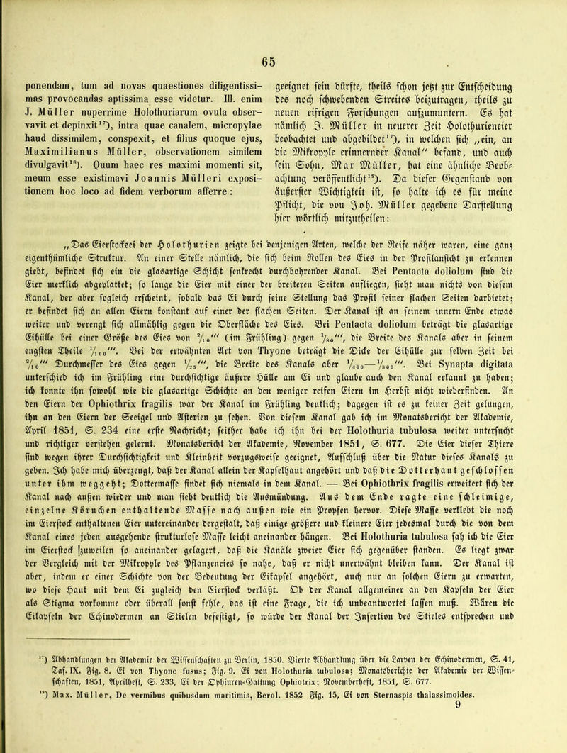 geeignet fein bürfte, t|)e{(g f(|on je^t jur (^ntfc^eibung be^ no^ fc^raebenben ©tretteö betjutragen, ju neuen eifrigen f^orfc^ungen aufjumuntern. ^at nämlich 3- SD^üUer in neuerer 3eit l>olotf)urieneier beobaö)tet unb abgebilbet'O/ in tt)elct)en fid) „ein, an bie S^HfroppIe erinnernbe’r ^?anal befanb, unb aui^ fein ©o^n, 3)^ar StMiner, t)at eine ä^nlid^e S5eob# ad;tung öeröffentlid)t*®). 2)a biefer ©egenftanb öon äufcrfter SÖic^tigfeit ift, fo ^alte id) eö für meine 5)f[id;t, bie non 3of). fOHtller gegebene Sarftellung l^ier mbrtlic^) mitjutf)eilen: „Das StcrflodSet ber ^olotburien geigte bet benfemgen 2lrten, toet<^e ber Steife nafier loaren, eine gang eigentbümti^e ©trnftur. 2tn einer ©tetle namli^, bie fi(b beim Stollen beS SieS in ber ^^roftlanficbt gu erfennen giebt, befinbet fid) ein bie glasartige @(bid)t fenfred)t bur(bbobrenber ^anal. Sei Pentacta doliolutn finb bie Sier merflicb abgei>lattet; fo lange bie Sier mit einer ber breiteren ©eiten aufliegen, pel)t man ni^ts oon biefem .Kanal, ber aber fogleicb erfd)eint, fobalb bas (£i burd) feine ©tellung bas ^Jroftl feiner flachen ©eiten barbietet; er befinbet p(b an allen Siern lonftant auf einer ber flauen ©eiten. Der Kanal ift an feinem innern Snbe etmaS weiter unb oerengt fub aümäblig gegen bie Dberflä(be beS (SieS. Sei Pentacta doliolum beträgt bie glasartige @if)ütle bei einer @röfe beS SieS oon Yio' (im grül)ting) gegen '/so'/ bie Sreite beS Kanals aber in feinem cngjten D^eile Yico'''- Sei ber erwarten Slrt oon Thyone beträgt bie Dide ber Si^ülle gur felben 3eit bei y,o' Dur(bmeffer beS SieS gegen '/js', bie Sreite bes Kanals aber '/joo—Vsoo'- Sei Synapta digitata unterf^ieb i^ im eine burc^fu^tige äufere .^üüe am ®i unb glaube aud) ben Kanal erfannt gu :^aben; ic^ fonnte i^n foWol)l wie bie glasartige ©c^id)te an ben weniger reifen Siern im J^erbft ni^t wieberftnben. Sin ben (Siern ber Ophiothrix fragilis war ber Kanal im grüftling beutli^; bagegen ift eS gu feiner 3eit gelungen, i^n an ben @iern ber ©eeigel unb Slfterien gu fe'^en. Son biefem Kanal gab i(^ im 9)tonatsberi(bt ber Slfabemie, Sljiril 1851, ©. 234 eine er^e Sta(^ri(bt; feit'^er '^abe i^ ilin bei ber Holothuria tubulosa weiter unterfud)t unb richtiger oer^efien gelernt. SJtonatSbericft ber Slfabemie, Stooember 1851, ©. 677. Die Sier biefer Spiere ftnb wegen i'^rer Durcbfi^tigfeit unb Kleinljeit oorgugsweife geeignet, Sluff(^lup über bie Statur biefes Kanals gu geben. 3<^ fmbe mi^ übergeugt, ba^ ber Kanal aüein ber Kapfel^ut ange'^ört unb baf bie Dotterbaut gefi^loffen unter i^m weggel)t; Dottermaffe finbet niemals in bem Kanal. — Sei Ophiothrix fragilis erweitert fub ber Kanal na(b aufen wieber unb man jtebt beutlicb bie Slusmünbung. SluS bem Snbe ragte eine f(bleimige, eingclne Körnd)en entbaltenbe SJtaffe natb aupen wie ein ^Jropfen beroor. Diefe Sltajfe oerflebt bie no^ im gierftod enthaltenen gier untereinanber bergeftalt, baf einige größere unb Heinere gier jebeSmal bur(b bie »on bem Kanal eines jeben ausgebenbe jlrufturlofe SJtaffe lei^t aneinanber bangen. Sei Holothuria tuhulosa fab i<b hie gier im gierftod jguweilen fo aneinanber gelagert, baß bie Kanäle gweier gier ßcb gegenüber ßanben. gs liegt gwar ber Sergleid) mit ber SJlifrojj^le beS ^JfleingeneieS fo nabe, baß er nicht unerwähnt bleiben fann. Der Kanal iß aber, inbem er einer ©efiebte oon ber Sebeutung ber gifa)5fel angebört, auch nur an folgen giern gu erwarten, wo biefe ^aut mit bem gi gugleid) ben gierftod »erläßt. Gb ber Kanal allgemeiner an ben Kapfeln ber gier als ©tigma »orfomme ober überaü fonß fehle, bas ift eine 5r<^ge, bie ich unbeantwortet laßen muß. Söären bie gif abfein ber g^inobermen an ©fielen befeftigt, fo würbe ber Kanal ber Sufertion beS ©tieleS entfbrechen unb ponendam, tum ad novas quaestiones diligentissi- mas provocandas aptissima esse videtur. 111. enim J. Müller nuperrime Holothuriarum ovula ohser- vavit et depinxit”), intra quae canalem, micropylae haud dissimilem, conspexit, et filius quoque ejus, Maximilianus Müller, ohservationem similem divulgavit'®). Quum haec res maximi momenti sit, meum esse existimavi Joannis Mülleri exposi- tionem hoc loco ad fidem verhorum alferre: ”) Slbfonblungen ber Slfabemie ber SBißenfdaften ju Serien, 1850. SSierte Slbfonblung über bie Samen ber (S^inobermen, ©. 41, SJaf. IX. 5ig. 8. Si »on Thyone fusus; 3'ig. 9. Si öon Holothuria tubulosa; SOtonatSberiefte ber Slfabemie ber SSJijfen* fefaften, 1851, Slbrilfeft, ©. 233, ®i ber Dbbiuren»@attuuö Ophiotrix; Stobemberheft, 1851, ©. 677. *’) Max. Müller, De vermihus quihusdam maritimis, Berol. 1852 giS- 15, @i bon Sternaspis thalassimoides. 9