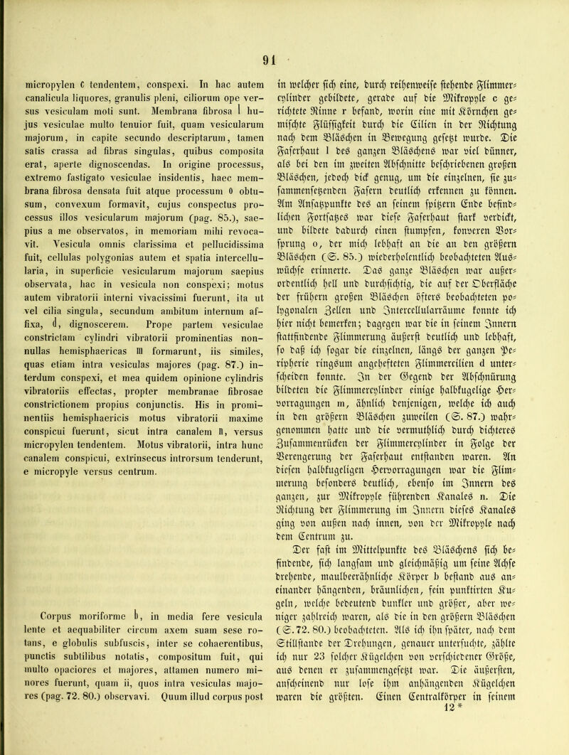 micropylen C tendentem, conspexi. In hac autem canalicula liquores, granulis pleni, ciliorum ope ver- sus vesiculam moti sunt. Membrana fibrosa 1 hu- jus vesiculae multo tenuior fuit, quam vesicularum majorum, in capite secundo descriptarum, tarnen satis crassa ad fibras singulas, quibus composita erat, aperte dignoscendas. In origine processus, extremo fastigato vesiculae insidentis, haec mem- brana fibrosa densata fuit atque processum 0 obtu- sum, convexum formavit, cujus conspectus pro- cessus illos vesicularum majorum (pag. 85.), sae- pius a me observatos, in memoriam mihi revoca- vit. Vesicula omnis clarissima et pellucidissima fuit, cellulas polygonias autem et spatia intercellu- laria, in superficie vesicularum majorum saepius observata, hac in vesicula non conspexi; motus autem vibratorii interni vivacissimi fuerunt, ita ut vel cilia singula, secundum ambitum internum af- fixa, (1, dignoscerem. Prope partem vesiculae constrictam cylindri vibratorii prominentias non- nullas hemisphaericas 111 formarunt, iis similes, quas etiam intra vesiculas majores Cpag- 87.) in- terdum conspexi, et mea quidem opinione cylindris vibratoriis effectas, propter membranae fibrosae constrictionem propius conjunclis. His in promi- nentiis hemisphaericis motus vibratorii maxime conspicui fuerunt, sicut intra canalem II, versus micropylen tendentem. Motus vibratorii, intra hunc canalem conspicui, extrinsecus introrsum tenderunt, e micropyle versus centrum. Corpus moriforme 1), in media fere vesicula lente et aequabiliter circum axem suam sese ro- tans, e globulis subfuscis, inter se cohaerentibus, punctis subtilibus notatis, compositum fuit, qui multo opaciores et majores, attamen numero mi- nores fuerunt, quam ii, quos intra vesiculas majo- res (pag. 72. 80.) observavi. Ouum illud corpus post tn tttelc^ev eine, burcf) rei^enhjeife fte^enbe gUnmter# ciplinber gebilbete, gerabe auf bie SJHfroppIe c ge^ riditete Siinne r Befanb, tt^ortn eine mit ^örnc^en ge# mif(|te glüffigfeit burc^ bie ©lien in ber 3iicf)tung nat^ bem ©lageren in SSemegung gefegt mürbe. 2)ie gafer^aut 1 beö önn^en 58iäöci)enö mar siel bünner, als bei ben im ;^meiten Slbfdmitte befcfiriebenen grofen IBIäs^en, jeboc^ bief genug, um bie einzelnen, fie ju# fammenfe^enben gafern beutlid) erfennen ju fönnen. Slm 51nfa$punfte beS an feinem fpi^ern ßnbe beftnb# Iid)en gortfa^eS mar biefe gaferltaut ftarf perbidt, unb bilbete baburcf) einen ftumpfen, fonperen SSor# fprung o, ber mid^ lebfiaft an bie an ben grbfern SSKiSiften (®. 85.) mieber^olcntlid) beoba^teten SluS# mücbfe erinnerte. SaS ganje ^läSdten mar aufer# orbentlid) l)cl[ unb burd^fictjtig, bie auf ber C-berflädte ber frühem grofen SläSdien öfters beobad;teten po# Ipgonalen 3eüen unb 3nlerccllularräume fonnte id> !^ier nic^t bemerfen; bagegen mar bie in feinem 3nnern ftattfinbenbe glimmerung äuperft beutUc^ unb lebhaft, fo baf id) fogar bie cinjelnen, längs ber ganzen 'j)e# rip^^erie ringsum angc!^efteten glimmercilien d unter# fd;eiben fonnte. 3n ber ©egenb ber Slbfdtnürung bilbeten bie glimmercplinber einige ftalbfugelige |)er# porragungen m, äftnlic^ benjenigen, meld^e id) auc^ in ben gröfern SSläSdien ^umcilen (©. 87.) malir# genommen i^atte unb bie permut|)lic| burcf) bid)tereS 3ufammenrüden ber glimmercplinber in golge ber SSerengerung ber gaferliaut entftanben maren. 51n biefen ftalbfugeligen ^erporragungen mar bie glim# merung befonberS beutliif), ebenfo im 3nnern beS ganzen, jur 9JHfropple fü^renben JfanaleS n. 2)ie 3iid)tung ber glimmerung im 3nncrn biefeS j?analeS ging pon aufen nac^ innen, pon brr ÜUifropple nac^ bem Zentrum ju. Der faft im 9)iittelpunfte beS SlaScf)enS fief) be# ftnbenbe, ftc^ langfam unb glcid)mäfig um feine 5l(f)fe brelienbe, maulbeeräl^nlid)e J?örper b beftanb auS an# einanber liängenben, bräunlichen, fein punftirten j?u# geln, mcld)e bebcutenb bunflcr unb gröfer, aber me# niger jal)lreid) maren, als bie in ben gröjjern ®läSd;en (0.72. 80.) beobachteten. 3llS id) ihnfpäter, nad; bem 0tiÜftanbe ber Drehungen, genauer unterfud;te, jählte id) nur 23 fold)er iUtgeld)en pou perfd)iebener ®röfe, aus benen er jufammengefept mar. Die äuferften, anfd)cinenb nur lofe il)m anhängenben jfügcld)en maren bie größten, ßinen Sentralförper in feinem