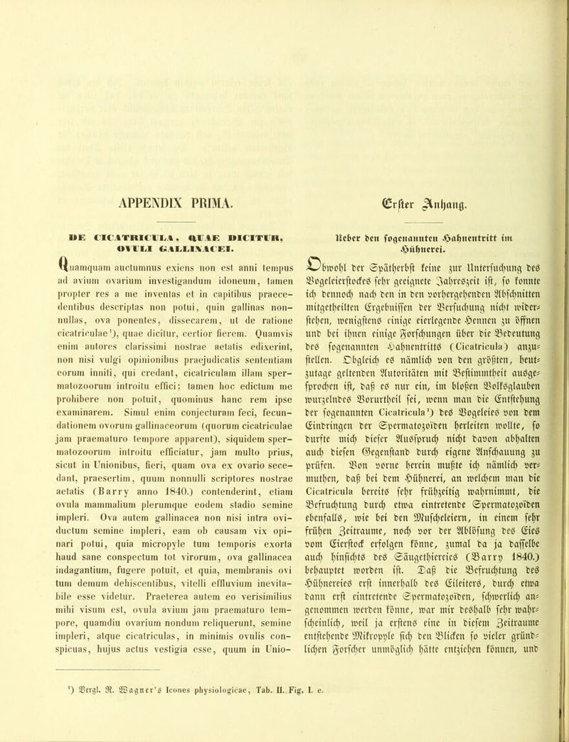 APPENDIX PRIMA. ME CICATRICEEA, REAE MICITIJR, OTIXI GAEE1.VACEI. Qiiaiiiquam auctumnus exiens non est anni tempus ad avium ovarium investi^anduin idoneum, tarnen propter res a me invenlas et in capitibus pracce- denfibus descriptas non potni, quin gallinas non- nullas, ova ponentes, dissecarem, ut de ralione cicalrieulae'), dicillir, certior fierem. Quamvis enim aiitores clarissimi nostrae aetalis edixerint, non nisi vulgi opinionibus praejudicatis sententiam eornni inniti, qui credant, cicatriculam illam sper- matozoornm introitu effici; tarnen hoc ediclum me proliibere non potuit, quominus baue rem ipse examinarem. Simul enim conjecluram feci, fecun- dationem ovornm gallinaceorum (quorum cicatriculae jam praematnro tempore apparent), siquidem sper- malozoorum introitu efficiatur, jam multo prius, sicut in Unionibus, fieri, quam ova ex ovario sece- dant, praesertim, quum nonnulli scriptores nostrae aetatis (Barry anno 1840.) contenderint, etiam ovnla mammalium plerumque eodem stadio semine impleri. Ova autem gallinacea non nisi intra ovi- ductum semine impleri, eam ob causam vix opi- nari potui, quia micropyle tum temporis exorta haud sane conspectum tot virorum, ova gallinacea indagantium, fugere potuit, et quia, membranis ovi tum demum deliiscentibus, vitelli effluvium inevita- bile esse videtur. Praeterea autem eo verisimilius mihi Visum est, ovula avium jam praematuro tem- pore, quamdiu ovarium nondum reliquerunt, semine impleri, atque cicatriculas, in minimis ovulis con- spicuas, hujus actus vestigia esse, quum in Unio- Hcbcr ten fogciKumtcu .^ttbnctitdtt im .^ubttcrci. Obtt'cl)! ber 0pätl)crbft feine jur Unterfudjung beö SBogeleievftocfeö fe^v qeeipetc 3al)ve^jeit ift, fo fonnte td) bennod) nad) ben in ben öori)ergeI)enben 51bfd)nitten niitget^eilten (Srgebniffen ber 2Serfnd)ung nid)t anber^ fte()en, aenigftenö einige eierlegenbc -^^ennen jit bjfnen itnb bei i()nen einige j5t>Tfd)ungen über bie SSebeutung beö fogenannten 4)a!^nentrittö (Cicatricula) anju# [teilen. Obgleid; eg nämlid) üon ben grbjitcn, beut# jutage geltenben §intovitäten mit tBeftimmtbeit audge# fprod)en ift, baf eg nur ein, im bloßen 3?oIfgglauben murjelnbeg SSorurtbeil fei, wenn man bie (fntftebung ber fogenannten Cicatricula') beg SSogeleieg »on bem (Einbringen ber 0permatojoiben betdeiten mollte, fo burfte mich biefer Slugfprud) nid^t baoon abbalten auci) biefen dJegenftanb burd) eigene 3lnfd)auung ju prüfen. Son oorne herein muhte id; nämlich ber# mutben, bah bem >^übnerei, an meid)em man bie Cicatricula bereitg febr frübjeitig mabrnimmt, bie ^efruebtung burd) etma eintretenbe ©permatOj^oiben ebenfalig, mie bet ben SD^uf^eleiern, in einem febr frühen Beitraume, noch oor ber Siblbfung beg ©eg bom ©erftoef erfolgen fbnne, jumal ba ja baffelbe auch bittfiebtö beg ©äugetbiereieg (SSarrp 1840.) behauptet morben ift. 3)ah bie SSefruebtung beg .Öübnereieg erft innerhalb beg (Eileiterg, bureb ettoa bann erft eintretenbe ©permatojoiben, fd)merli(b an# genommen werben fönne, war mir begl)alb febr wahr# fd)einlicb, weil ja erfteng eine in biefem Beitraume entftebenbe 50^ifropple fttb ben tBlicfen fo bieler grünb# lid;en gorfd;er unmbglid) hätte entziehen fönnen, unb