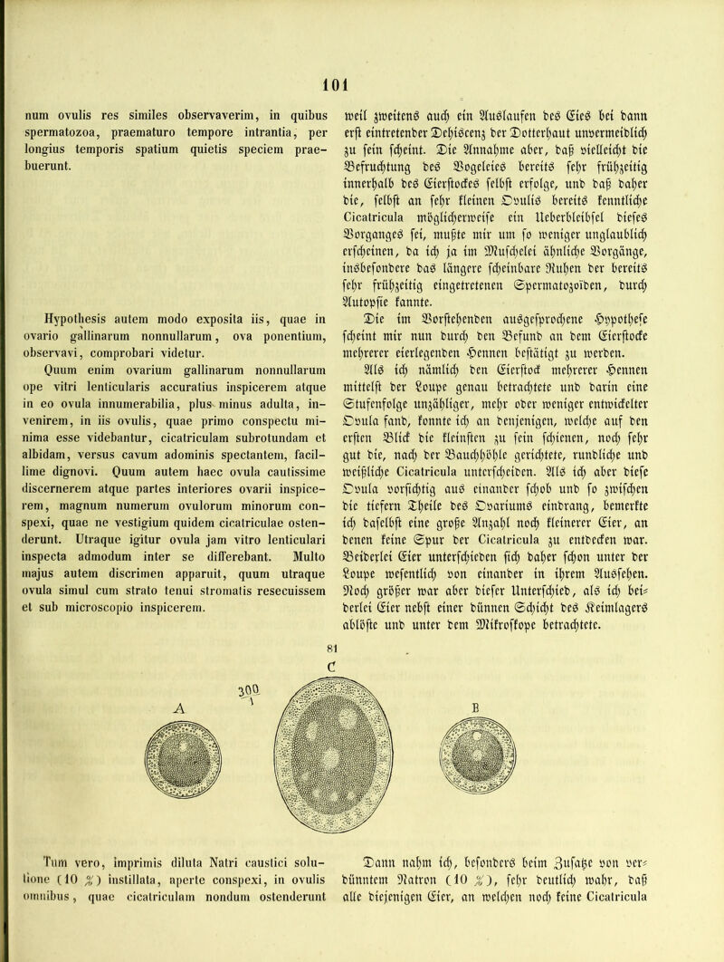 num ovulis res similes observaverim, in quibus spermatozoa, praematuro tempore intrantia, per longius temporis Spatium quietis speciem prae- buerunt. Hypotliesis autem modo exposita iis, quae in ovario gallinarum nonnullarum, ova ponentium, observavi, comprobari videtur. Ouum enim ovarium gallinarum nonnullarum ope vitri lenticularis accuratius inspicerem atque in eo ovula innumerabilia, plus-minus adulta, in- venirem, in iis ovulis, quae primo conspectu mi- nima esse videbantur, cicatriculam subrotundam et albidam, versus cavum adominis spectantem, facil- lime dignovi. Quum autem haec ovula cautissime discernerem atque partes interiores ovarii inspice- rem, magnum numerum ovulorum minorum con- spexi, quae ne vestigium quidem cicatriculae osten- derunt. Utraque igitur ovula jam vitro lenticulari inspecta admodum inter se differebant. Multo majus autem discrimen apparuit, quum utraque ovula simul cum Strato tenui stromatis resecuissem et sub microscopio inspicerem. tueil jtt)eiten0 auc^ ein Slu^laufen beg Sieg bet bann erji emtretenber 2)el^t^cenj ber !Dotterl)aut unnermeibltc^ ju fein [(^eint. ®ie 5tnnal)me aber, baf »ielletc^t bte ^Befruchtung be^ SSogeleie^ bereite fe^r frühjeittg innerhalb beö ©erftocfeö felbft erfolge, unb baf ba^er bie, felbft an fe^r fleinen Doultö bereite fenntlidte Cicatricula ntöglichenoetfe ein Ueberbleibfel btefe^ SSorgange^ fei, ntufte mir um fo mentger unglaublich erfchcinen, ba ich SWufchelei ähnliche SSorgänge, in^befonbere baö längere fcheinbare Diuhen ber bereits fehr frühzeitig eingetretenen ©permatojoiben, burd; ^utopfte fannte. Die im SZorftehenben auSgefprochene |)ppothefe fcheint mir nun burch ben SSefunb an bem Sierftocfe mehrerer eierlegenben -Rennen beftätigt jit merben. 2llS ich nämlich ben ßierftod mehrerer Isennen mittelft ber ?oupe genau betrachtete unb barin eine ©tufenfolge unzähliger, mehr ober weniger entmicfelter ©oula fanb, fonnte ich an benfenigen, meldje auf ben erftcn S3lid bie fleinften z« fein fchtenen, noch fehr gut bie, nach ber SSau^h^h^e gerichtete, runbli(he unb mei^liihe Cicatricula untcrfchciben. 2llS ich aber biefe Coula oorftihttg auS etnanber fchob unb fo zmtfdten bie tiefem Xheile beS OoariumS einbrang, bemerfte ich bafelbft eine grofe Stnzahl noch fleinerer ©er, an benen feine ©pur ber Cicatricula zu entbeden mar. ^eiberlei ©er unterfchieben ftd) baher fchon unter ber Soupe mefentlich oon einanber in ihrem SluSfehen. 9io(h gröfer mar aber biefer Unterfchieb, als id; bei# berlei ©er nebft einer bünnen ©chicht beS ^leimlagerS ablöfte unb unter bem SJJifroffope betrachtete. Tum vero, imprimis diluta Natri caustici solu- Dann nahm ich, befonberS beim Bufa^e üon oer# Hone (10 %~) instillata, nperte conspexi, in ovulis bünntem 9iatron (10 fehr beutlid; mahr, ba§ Omnibus, quae cicatriculam nondum ostenderunt alle biejentgen ßier, an meld;en nod; feine Cicatricula