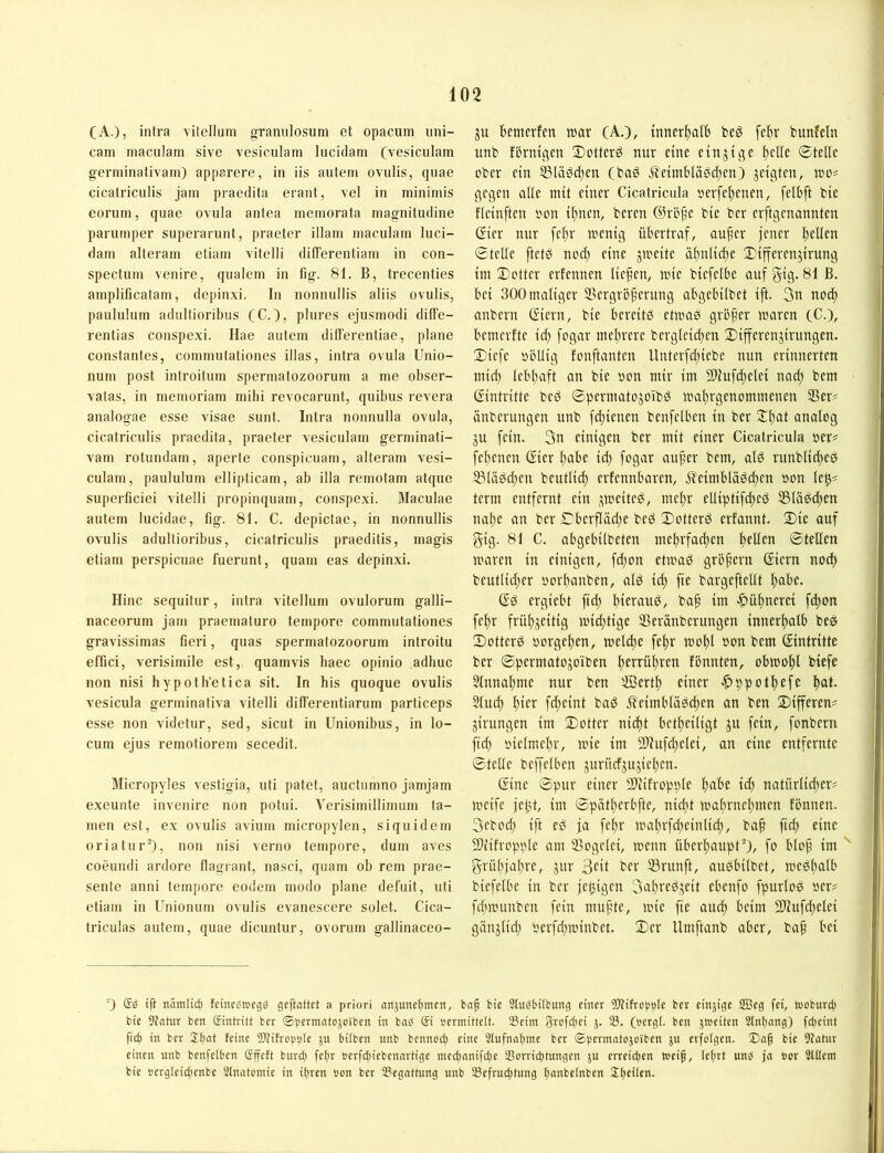 (A.), intra vitellum granulosum et opacum uni- cam maculam sive vesiculatn lucidam (vesiculam germinativani) apparere, in iis autem ovulis, qiiae cicalriciilis jam praedila erant, vel in niinimis eoruin, quae ovula antea inemorata inagnitudine pariunper superariint, praeter illain maculam luci- dam alteram eliam vifelli dilTerentiam in con- spectum venire, qualem in fig. 81. B, trecenties amplificatam, depinxi. In nonnullis aliis ovulis, paululnm adiiltioribus (C.), plures ejusmodi diffe- rentias conspexi. Hae autem dilTerentiae, plane constantes, commutaliones illas, intra ovula Unio- num post inlroitum spermatozoorum a me obser- vatas, in memoriam mibi revocarunt, quibus revera analogae esse visae sunt. Intra nonnulla ovula, cicatriculis praedita, praeter vesiculam germinati- vam rotundam, aperle conspicuam, alteram vesi- culam, paululum ellipticam, ab illa remotam atque superficiei vitelli propinquam, conspexi. Maculae autem lucidae, fig. 81. C. depictac, in nonnullis ovulis adullioribus, cicatriculis praeditis, magis etiam perspicuae fuerunt, quam eas depinxi. Hinc sequitur, intra vitellum ovulorum galli- naceorum jam praematuro tempore commutaliones gravissimas fieri, quas spermalozoorum inlroitu effici, verisimile est, quamvis haec opinio adhuc non nisi hypotb’etica sit. In bis quoque ovulis vesicula germinativa vitelli difTerentiarum particeps esse non videtur, sed, sicut in Unionibus, in lo- cum ejus remofiorem secedit. Micropyles vestigia, uti patet, auctumno jamjam exeunte invenire non potui. Verisimilliminn ta- rnen est, ex ovulis avium micropylen, siquidem oriatur’), nou nisi verno tempore, dum aves coeundi ardore flagrant, nasci, quam ob rem prae- sente anni tempore eodem modo plane defuit, uti etiam in Unionum ovulis evanescere solet. Cica- triculas autem, quae dicuntur, ovorum gallinaceo- bemerfen war (Ä.), tnncr^alb beö fe^r bunfeln unb fbrntqen 2)cttcrö nur eine einzige ^elle ©teile ober ein S3lä0d;en (baö .5?eimb[ä0d}en) jeigten, wo# gegen alle mit einer Cicatricula »erfel^enen, [elbft bic fleinften oon il)nen, bereu ©röpe bie ber erftgenannten ©ier nur fel;r wenig nbertraf, auper jener b^Uen ©teile ftet0 nod; eine jweite äbnlid^e ©ifferenjirung im ©Otter ertennen liepen, wie biefelbc aufgig-81 B. bei 300 maliger 3?ergröperung abgebilbet ift. 3n nod) anbern ©ern, bie bereite etwaö gröper waren CC.), bemerfte id) fogar melntre bergleid}en ©ijfereuMrungen. ©icfe »öUig fonftanten Unterfd;iebe mm erinnerten mid) lebhaft an bie oon mir im 9Diufd)elei nad) bem Eintritte bed ©permatojoibd wabrgenommenen SSer# änberungen unb fd;ienen benfelben in ber analog ju fein. 3n einigen ber mit einer Cicatricula oer# febenen ©er l>ibe icb fogar auper bem, al0 runblid)e0 23lä0d;en beutlid; erfennbaren, Meimblä0d;en »on le^# term entfernt ein j^weiteö, mehr elliptifcbed 55lä0d;en nabe an ber ©berfläd^e bed ©otterd erfannt. ©ie auf gig. 81 C. abgebilbeten mebrfad;en bfUf” ©teilen waren in einigen, fd)on etwad gröpern Giern nod) beutlid;er oorbanben, ald id) fie bargeftellt b^ibe. Gd ergiebt fid) bap im -^übnerei fd)on febr früb^eitig wid;tige Seränberungen innerhalb bed ©otterd oorgeben, welche febr wohl »on bem Gintritte ber ©permatojoiben bfffübven fönnten, obwohl biefe Slnnabme nur ben ffiertb einer ^ppotbefc böl- Slinh bifi^ fd)eint bad jteimblädcben an ben ©ifferen# jirungen im ©otter nidbt betbeiligt ju fein, fonbern ftcf) öielmebr, wie im 91hifd)elei, an eine entfernte ©teile beffelben jurücfjujieben. Gine ©pur einer 9}iifropple höbe id) natürlid)er# weife jebt, im ©pätberbfte, nidit wabrnebmen fbnnen. 3ebod) ift ed ja febr wabrfd)einlicb, bap fid) eine 9)iifropple am IBogelei, wenn überhaupt), fo blop im grübjabre, jur ber 53runft, audbilbet, wedbalb biefelbe in ber jebigen 3abred^eit ebenfo fpurlod »er# fthwunben fein mupte, wie fie aucp beim 2)lufd)elei gänjlid) »erfd)winbet. ©er Umftanb aber, bap bei 0 ift namlic^ feincswcgg gcftattct a priori atijuttc^mcn, bap bic 2tu^btlbung einer iOtifrotJ^Ic ber cinjige 3Bcg fei, tvoburcij bie 9tatur ben ßintritt ber ©)>crmat050ibcn in ba^ Si öcrmittcit. 23eim 5roft|ci j. 33. (oergt. ben jH'eücn Stnpang) fcpcint ficb in ber 2pat feine 3)?ifrop?)(e jit bilben unb bcnnoc^ eine 2tufnaf)nte ber ©permntojoiben ju erfolgen. !Dap bie Statur einen unb benfelben Sffeft burcb fcpr öerfddcbcnartige niecponifcl)e 33orricf)tungcn ju erreichen weip, Icprt unb ja »or Stilent bie ocrgleicpenbe Stnatomie in ipren öon ber 33egattung unb 33cfruthlung panbelnbcn 3:i)cilen.