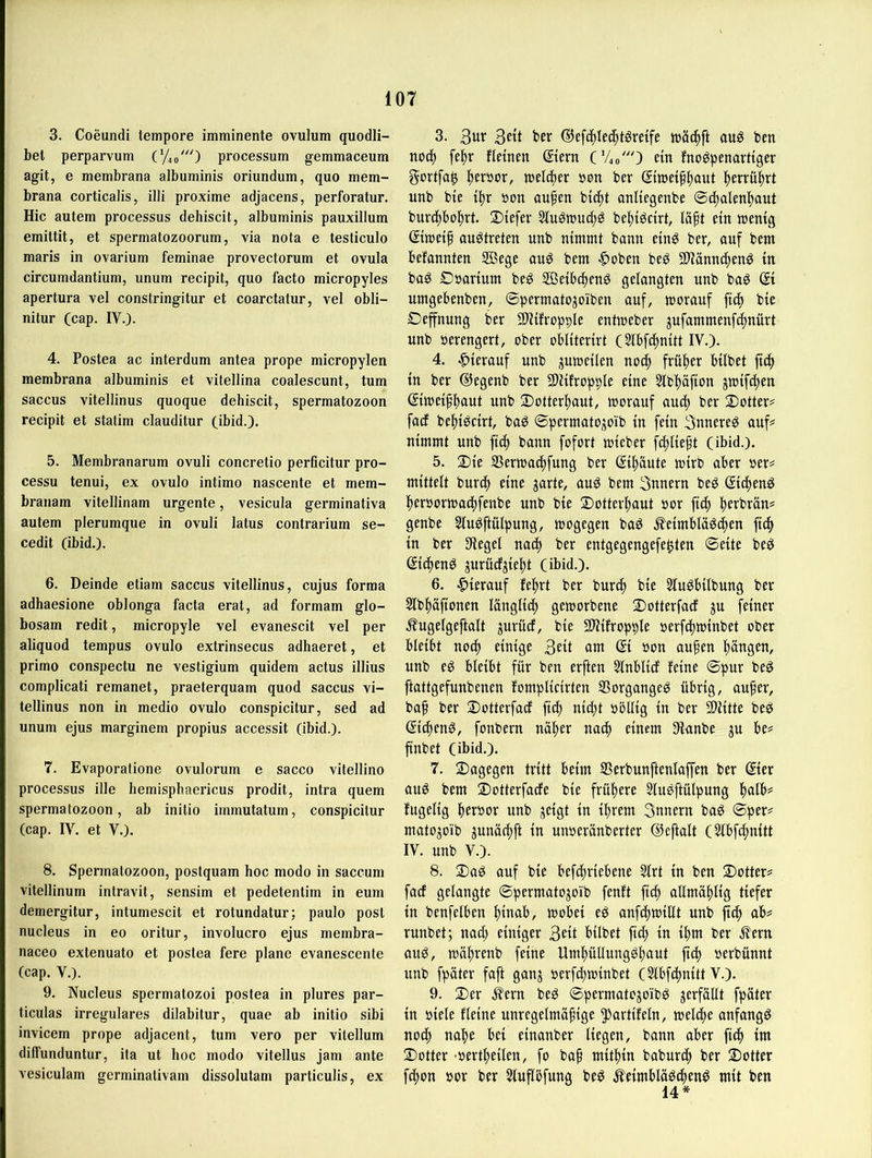 3. Coeundi tempore imminente ovuIum quodli- bel perparvum processum gemmaceum agit, e membrana albuminis oriundum, quo mem- brana corticalis, illi proxime adjacens, perforatur. Hic autem processus dehiscit, albuminis pauxillum emittit, et spermatozoorum, via nota e testiculo maris in ovarium feminae provectorum et ovula circumdantium, unum recipit, quo facto micropyles apertura vel constringitur et coarctatur, vel obli- nitur (cap. IV.). 4. Postea ac interdum antea prope micropylen membrana albuminis et vitellina coalescunt, tum saccus vitellinus quoque dehiscit, Spermatozoon recipit et statim clauditur (ibid.). 5. Membranarum ovuli concretio perficitur pro- cessu tenui, ex ovulo intimo nascente et mem- branam vitellinam urgente, vesicula germinativa autem plerumque in ovuli latus contrarium se- cedit (ibid.). 6. Deinde etiam saccus vitellinus, cujus forma adhaesione oblonga facta erat, ad formam glo- bosam redit, micropyle vel evanescit vel per aliquod tempus ovulo extrinsecus adhaeret, et primo conspectu ne vestigium quidem actus illius complicati remanet, praeterquam quod saccus vi- tellinus non in medio ovulo conspicitur, sed ad unum ejus marginem propius accessit (ibid.). 7. Evaporatione ovulorum e sacco vitellino processus ille hemispbaericus prodit, intra quem Spermatozoon, ab initio immutatum, conspicitur (cap. IV. et V.). 8. Spermatozoon, postquam hoc modo in saccum vitellinum intravit, sensim et pedetentim in eum demergitur, intumescit et rotundatur; paulo post nucleus in eo oritur, involucro ejus membra- naceo extenuato et postea fere plane evanescente (cap. V.). 9. Nucleus spermatozoi postea in plures par- ticulas irreguläres dilabitur, quae ab initio sibi invicem prope adjacent, tum vero per vitellum diffunduntur, ita ut hoc modo vitellus jam ante vesiculam germinativam dissolutam particulis, ex 3. (Sefc^Iec^tSretfe tpäi^ft auö ben no(| fe^r fletnen Stern ('/.o^'O ein fnc^penartiger gortfa^ ^eröor, welcher bon ber Siweif^aut l^errü^rt unb bte tl^r bon aupen btc^t anltegenbe ©c^alenl^aut bur4)hol^rt. 2)iefer bel^tgctrt, tä^t ein wenig Siweif augtreten unb nimmt bann einö ber, auf bem befannten SBegc au^ bem «^oben beg 5iUannd)enö in baö Dbarium be^ SBeibd^enö gelangten unb ba^ Si nmgebenben, ©permatojoiben auf, worauf ficb bie Dehnung ber SIHfroppIe entweber ^ufammenfd^nürt unb berengert, ober obliterirt (Slbfcftnitt IV.). 4. hierauf unb j^uweilen noc| früher hübet ftc^ in ber (Segenb ber SDlüropple eine 3lbl)äf{on jwifc^en Siweif^^aut unb Dotter^aut, worauf aucfi ber 2)otter# fad bel^i^cirt, baö ©permatojoib in fein 3nnereg auf= nimmt unb fic^ bann fofort wieber fcltlie^t (ibid.). 5. 2)ie SSerwac^fung ber Si^)äute wirb aber ber= mittelt burcf) eine jarte, auö bem Innern beö Sielten^ l^erborwac^fenbe unb bie 2)otterI)aut bor fic^ l^erbrän^ genbe Sluöftülpung, wogegen baö .^eimblaöc^en jtef) in ber Siegel nac^ ber entgegengefe^ten ©eite be^ Sieftenö jurüdjiel^t (ibid.). 6. |)ierauf fe|)rt ber burc^ bie 5lugbübung ber Slbftäfionen länglicl) geworbene 2)otterfad ju feiner Äugelgeftalt jurücf, bie SOiifropple berfdtwinbet ober bleibt noc^ einige 3eü am Si bon au§en f)ängen, unb eö bleibt für ben erften Slnblid feine ©pur be§ ftattgefunbenen fomplicirten SSorgangeg übrig, auf er, bap ber 2)otterfacf ftc^ niept böllig in ber SDiitte be^ Siefenö, fonbern na^ter naef einem Sianbe ju be^ finbet (ibid.). 7. dagegen tritt beim SSerbunftenlaffen ber Sier au^ bem Sotterfade bie frühere SluPftülpung !falb# fugelig beröor unb jeigt in ifrem 3nnern bag ©per# mato^oib junäefft in uiiberänberter (SJeftalt (Slbfcfnitt IV. unb V.). 8. Sag auf bie befif)riebene Slrt in ben 2)otter# fad gelangte ©permatojoib fenft fiel) allmaflig tiefer in benfelben ifinab, wobei eö anfcfwillt unb ftc^f ab# runbet; nach einiger 3eit hübet füf in ifm ber .^ern au^, wä^renb feine Um^üUung^faut jtd) oerbünnt unb fpäter faft ganj oerfcl)winbet (Slbfdjnitt V.). 9. Der ^ern be^ ©permatojoibg verfällt fpäter in biele fleine unregelmäfige 5)artifeln, welche anfangs nodf na^e bei einanber liegen, bann aber fic^ im Dotter Wertteilen, fo baf mittin baburct ber Dotter feton »or ber 5luflbfung be^ ^eimblo^cten^ mit ben 14*