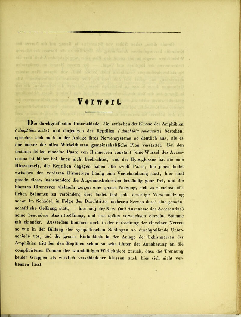 Vorwort. Die durchgreifenden Unterschiede, die zwischen der Klasse der Amphibien (Amphibia nuda) und derjenigen der Reptilien (Amphibia squamata) bestehen, sprechen sich auch in der Anlage ihres Nervensystems so deutlich aus, als es nur immer der allen Wirbelthieren gemeinschaftliche Plan verstattet. Bei den ersteren fehlen einzelne Paare von Hirnnerven constant (eine Wurzel des Acces- sorius ist bisher bei ihnen nicht beobachtet, und der Hypoglossus hat nie eine Hirnwurzel), die Reptilien dagegen haben alle zwölf Paare; bei jenen findet zwischen den vorderen Hirnnerven häufig eine Verschmelzung statt, hier sind gerade diese, insbesondere die Augenmuskelnerven beständig ganz frei, und die hinteren Hirnnerven vielmehr zeigen eine grosse Neigung, sich zu gemeinschaft- lichen Stämmen zu verbinden; dort findet fast jede derartige Verschmelzung schon im Schädel, in Folge des Durchtrittes mehrerer Nerven durch eine gemein- schaftliche Oeffnung statt, — hier hat jeder Nerv (mit Ausnahme des Aecessorius) seine besondere AustrittsöfFnung, und erst später verwachsen einzelne Stämme mit einander. Ausserdem kommen noch in der Verbreitung der einzelnen Nerven so wie in der Bildung der sympathischen Schlingen so durchgreifende Unter- schiede vor, und die grosse Einfachheit in der Anlage der Gehirnnerven der Amphibien tritt bei den Reptilien schon so sehr hinter der Annäherung an die complicirteren Formen der warmblütigen Wirbelthiere zurück, dass die Trennung beider Gruppen als wirklich verschiedener Klassen auch hier sich nicht ver- kennen lässt.