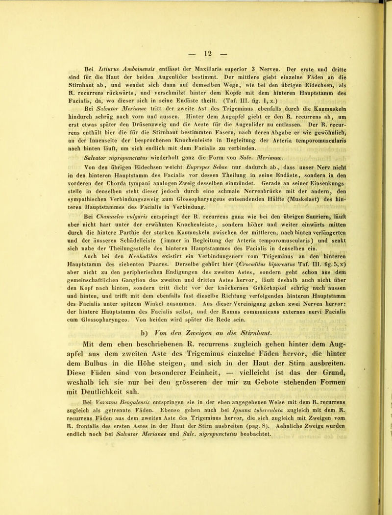 Bei Istiurus Amboinensis entlässt der Maxillaris superior 3 Nerven. Der erste und dritte sind für die Haut der beiden Augenlider bestimmt. Der mittlere giebt einzelne Fäden an die Stirnhaut ab, und wendet sich dann auf demselben Wege, wie bei den übrigen Eidechsen, als R. recurrens rückwärts, und verschmilzt hinter dem Kopfe mit dem hinteren Hauptstamm des Facialis, da, wo dieser sich in seine Endäste theilt. (Taf. III. fig. l,x.) Bei Salvator Merianae tritt der zweite Ast des Trigeminus ebenfalls durch die Kaumuskeln hindurch schräg nach vorn und aussen. Hinter dem Augapfel giebt er den R. recurrens ab, um erst etwas später den Drüsenzweig und die Aeste für die Augenlider zu entlassen. Der R. recur- rens enthält hier die für die Stirnhaut bestimmten Fasern, nach deren Abgabe er wie gewöhnlich, an der Innenseite der besprochenen Knochenleiste in Begleitung der Arteria temporomuscuiaris nach hinten läuft, um sich endlich mit dem Facialis zu verbinden. Salvator nigropunctatus wiederholt ganz die Form von Sah. Merianae. Von den übrigen Eidechsen weicht Euprepes Sebae nur dadurch ab, dass unser Nerv nicht in den hinteren Hauptstamm des Facialis vor dessen Theilung in seine Endäste, sondern in den vorderen der Chorda tympani analogen Zweig desselben einmündet. Gerade an seiner Einsenkungs- stelle in denselben steht dieser jedoch durch eine schmale Nervenbrücke mit der andern, den sympathischen Verbindungszweig zum Glossopharyngeus entsendenden Hälfte (Muskelast) des hin- teren Hauptstammes des Facialis in Verbindung. Bei Chamaeleo vulgaris entspringt der R. recurrens ganz wie bei den übrigen Sauriern, läuft aber nicht hart unter der erwähnten Knochenleiste, sondern höher und weiter einwärts mitten durch die hintere Parthie der starken Kaumuskeln zwischen der mittleren, nach hinten verlängerten und der äusseren Schädelleiste (immer in Begleitung der Arteria temporomuscuiaris) und senkt sich nahe der Theilungsstelle des hinteren Hauptstammes des Facialis in denselben ein. Auch bei den Krokodilen existirt ein Verbindungsnerv vom Trigeminus an den hinteren Hauptstamm des siebenten Paares. Derselbe gehört hier (Crocodilus biporcatus Taf. III. fig. 5, x) aber nicht zu den peripherischen Endigungen des zweiten Astes, sondern geht schon aus dem gemeinschaftlichen Ganglion des zweiten und dritten Astes hervor, läuft deshalb auch nicht über den Kopf nach hinten, sondern tritt dicht vor der knöchernen Gehörkapsel schräg nech aussen und hinten, und trifft mit dem ebenfalls fast dieselbe Richtung verfolgenden hinteren Hauptstamm des Facialis unter spitzem Winkel zusammen. Aus dieser Vereinigung gehen zwei Nerven hervor: der hintere Hauptstamm des Facialis selbst, und der Ramus communicans externus nervi Facialis cum Glossopharyngeo. Von beiden wird später die Rede sein. b) Von den Zweigen an die Stimhaut. Mit dem eben beschriebenen R. recurrens zugleich gehen hinter dem Aug- apfel aus dem zweiten Aste des Trigeminus einzelne Fäden hervor, die hinter dem Bulbus in die Höhe steigen, und sich in der Haut der Stirn ausbreiten. Diese Fäden sind von besonderer Feinheit, — vielleicht ist das der Grund, weshalb ich sie nur bei den grösseren der mir zu Gebote stehenden Formen mit Deutlichkeit sah. Bei Varanus Bmgulensis entspringen sie in der eben angegebenen Weise mit dem R. recurrens zugleich als getrennte Fäden. Ebenso gehen auch bei Iguana tuberculata zugleich mit dem R. recurrens Fäden aus dem zweiten Aste des Trigeminus hervor, die sich zugleich mit Zweigen vom R. frontalis des ersten Astes in der Haut der Stirn ausbreiten (pag. 8). Aehnliche Zweige wurden endlich noch bei Salvator Merianae und Salv. nigropunctatus beobachtet.
